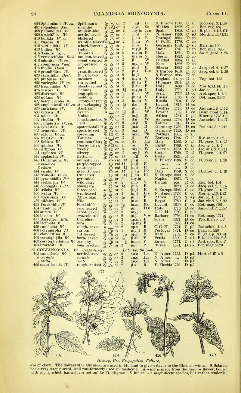 406 Spielmanni W. en. 407 splendens Ker. 408 phlomoides W. 409 urticifolia W. 410 bullata IV. en. 411 rugosa IV. 412 verticillata W. 413 indica W. 414 Tenorii Spr. Spielman's ^ A or splendid £ lAJ or mullein-like ^ A or nettle-leaved ^ A or blistered J A »' wrinkle-leaved.** i | or whorl-flower'd^ A or Indian ^ A or Tenore's ^ A or 415 verbascifolia Bieb. mullein-leaved^ A or 416 odorata W. en. 417 compressa Vahl. 418 mollis Donn. 419 grandiflora W. 420 crassifolia Desf. 421 pratensis W. 422 variegata IV. en. 425 ha?matodes IV. 424 viscosa W. 425 disermas W. 426 nutans W. 427 betonica?folia W. sweet-scented j* i_J or compressed ^ A or soft ^ A or great-flowered ^ A or thick-leaved ^ A or meadow ^ A M variegated ^ A or bloody-veined ^ A or clammy ^ A or long-spiked ^ A or nodding ^ A »' betony-leaved ^ A or 428 amplexicaulis IV. en. stem-clasping 3l A or 429austriaca W. 430 syriaca W. 431 nubia W. 432virgata W 433 campestris IV. en. 434 sylvestris IV. 435 nemorosa tV. 436 patula W. en. 437 tingitana W. 4.38 Sclarea W. 439 spinosa IK 440 Eethiopis W. 441 argentea W. 442 applanata W. 443 Horminum W. a. violacea (3 r&bra 444 viridis IV. 445 truncata W. en. 446 pyramidalis Pet. 447 verbenaca W. 448 oblongata Vahl. 449 triloba W. 4r;01yrata W. 451 abysslnica W. 452 nilotica W. 453 Forskohlii W. 454 napifolia W. 455 aurita IV. 456 bicolor JF. 457 Barrelieri Ettl. 458 laciniata W. 459 runcinata W. 460 polymorpha Lk. 461 clandestlna W. 462 ceratophylla W. 463 ceratophylloides W. branchy long-bracted Austrian ^ A or Syrian JHe [ or Nubian iAJ or long-branched ^ A or field ^ A or spotted-stalk'd^ A °r spear-leaved k. A or spreading Q> or Tangier Ja i | or common Clary ^ Q) cul thorny-calyx ^ OJ or woolly ^ Q) or silvery ^ A or flattened ^ Q) or annual clary O cul purple-topped red-topped green-topped truncated 464 bracteata W. 63 COLLINSO'NIA 465 canadensis W. j3 corddta •y ovdta 466 scabriilscula W. O cul O cul O or O or k A or £i A w O or .1* O or ^ A or ^ lAI or O or k A or i A of ju • | or i A of i A or k A or ja i I or k Q) or k O) or k CD or k Q) or i A or IV. COLLINSONIA. nettle-leaved A or cordate ^ A or ovate 5( A or rough-stalked ^ lAJ or pyramidal wild-clary oblongate three-lobed lyre-leaved Abyssinian Nile Forskohl's rape-leaved eared-leaved two-coloured Barreliers torn rough-leaved various cut-leaved horn-leaved 2 jn.jl B S. Europe 1813. 3 o.ja Sc Mexico 1822. 2 my.jn L.b Spain 1805. 3 jn.jl B N. Amer. 1799. 2 jl.au R Portugal 1804. 2 jl.au W C. G. H. 1775. 3 jn.n B Germany 1658. 3 my.ji B India 1731. 2 myjn B Italy 1821. 3 my.jn Y Iberia 1823. 3 jl W Bagdad 1804. 2 my.jn W East 1822. 2 jn.jl R Siberia 182a 2 jn.s L.b S. Europe 1616. 2 jn.jl S. Europe 1804 4 my.n V England dr. pa 2 jn.au P Hungary 1814. 2 jl.au P Italy 1699. 14 my.jn C Italy 1773. 2 jl W Syria 1773. 3 jn.au V Russia 1780. 3 jn.au V Russia 1804. 1| jLs B Levant 1813. 1 jn.jl L.Y Austria 1776. 1| jl W Levant 1759. 2 jn.jl B Africa 1784. 4 jl.n W Armenia 1758. 2 jn.jl B Tauria 1813. 2 jn.o B Germany 1759 3 jn.s B Germany 1728. 3 my.jl Pk Portugal 1805. 3 jl W Barbary 1796. 4 jl.s Lb Italy 1562. 1 jn W Egypt 1789. 3 my.jn W Austria 1570. 3 my.jl W Crete 1759. 1| jn.jl W Crete 1821. 1| jn.jl S. Europe 1596. 1* jn.jl P I| jn.jl R 1± jl.au Pk Italy 1759. li jl.au Pk S. Europe 1800. 6 my.jn Naples 1823. 2 jn.o V Britain pas. 1| jn.o B 1820. 2 jn.jl R S. Europe 1596. 1 jn.jl L.b N. Amer. 1728. 1| jn.jl P Africa 1775. 1 jn.au B Egypt 1780. 1| jn.au Bk Levant 1800. 2 jn.jl D.p Italy 1776. 2 my.jn C. G. H. 1795. 2 jn.jl V.w Barbary 1793. 3 ap.my B Spain 1821. 2 ap.my B 1822. 2 ap.s B C. G. H. 1774. 1 my.jl B Portugal 1821. ]i ap.jl B Italy 1739. li jl.au V Persia 1699. i jn.au V Egypt 1771. 3 jn.jl P Russia 1821. Labiates, Sp. 5—6. 3 au.o L.b N. Amer. 1735. D p.l 3 au.o L.B N. Amer. ... D p.l 3 au.o L.B N. Amer. ... D p.l 2 jl.s R E. Florida 1776. D p.l C s.l C s.l C co C p.l D co C co D s.l D co D co D co C s.l D co D co D co D co D co D co D co C p.1 D co C co C co D co D co C co C p.l D co D co D co D co C s.l C s.l S s.I C s.l s.l D s.l D co S co S co S co S co S co D co R co D co C co C co S s.p C Lp C co D co C p.l D co D co D co C p.l D co S co C s.l C 6.1 D co Scop. del. 3.1.15 Bot. reg. 687 R.pl. h. 1. t.l. f.l Mor.h.3.t.l3.f.31 Barr. ic. 199 Bot. mag. 395 Sw. fl. gard. t. 26 Jacq. eel. 4. t. 37 Jacq. eel. 4. t. 36 Eng. bot. 153 Mor.h.3.t.l4.f.l5 Jac. ic. 1. t. 5 Ard. spec. 1. 1.1 Bot. mag. 2436 Jac. aust. 2. t.l 12 Bauh. prod.t.114 Murray. 1778. t.3 Jac. schon.l. t.37 Jac. aus. 3. t. 212 Riv. mon. t. 62 FL grasc. 1. t. 25 Jac. ic. 1. t. 7 Jac. aus. 3. t. 211 Fl. gra:c. 1. t. 27 Fl. gra;c. 1. t. 20 Fl. graec. 1. 1.19 Eng. bot. 154 Jacq. eel. 2. t. 14 Fl. grsec. 1. 117 Mor.3. t.13. £27 Jac. ic. 1. t. 6 Jac. vind. 3. t. 92 Bot. mag. 988 Jac.vind. 2. t.152 Bot. mag. 1774 Ten. fl. nap. t. 2 Jac. schrtn. 1.1.8 Barr. ic. 220 Fl.gr.l.p.l8.t.24 Plk. al. 1.124. f. 5 Ard. spec. 2. t. 2 Bot. mag. 2320 Hort. cliff LS History, Use, Propagation, Culture, eye or clary. The flowers of S. glutinosa are used in Holland to give a flavor to the Rhenish wines. S. Sclarea has a very strong scent, and was formerly used in medicine. A wine is made from the herb or flower, boiled witli sugar, which has a flavor not unlike' Frontignac. S. indica is a magnificent species, but rather tender in