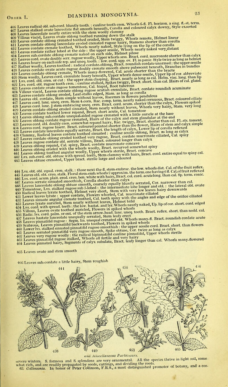 409 ™1 «SSS^ —, B~ Hnear si ?ss sss «3SM5g ?^i^sIH4rrly naked very-distant 4M Leaves sub-cordate oblong erenate naked on 'tnori^ Bract, cord, mucronateshorter than calyx s & ss: 5a sssss; ^^un9igpSSact- sU-than cal-Hairs of caL gland- tl^ouTvis^ |=s^»« 432 Leaves oblong cordate rugose crenated Hirs of the <-alyx and stem gw. han ca] p, _sts toment. 43.3 Leaves cord. obi. doubly cren somewhat repandlha,ry, Kac. wm ^ Hairs of stem and calyx simple 434 Leaves cord, rugose biserr. Bract. co2?™^Pf^'Sj.*/°aw| Lower lip of corolla reflexed' 435 Leaves cordate lanceolate equally ^ate Bract the >aeth BrPact. as long as calyx i S £l SgSSS%JS r4^oXt=»=nat spiny 443 Leaves ottuse crenated, Upper bract, sterile large and coloured 444 Lvs. obt. obi equal, cren stall, : ^^l^^^^^^^^^S^ t^c^'ac^ 447 Leaves serrate sinuated smoothish, CorpUa shorteJ^Xttulvtlv serrated, Cor. narrower than cal. 448 Leaves lanceolate oblong obtuse smoothcoarsely.X™LiLtelobe tonger and obi.: the lateral obt. ovate ^5aScL\TaVeYl^a\ftooS «f ^orifice  | EM. S3£ o^ofXlSSS.toot, Bract, reflex, short, than nod, cal. tf8 £SS Sfn^rSose? sl^l wL many , Bract, roundish cordate acute £ K Tffi^^^e«^»&- whorls sUle 465 Leaves ovate and stem smooth