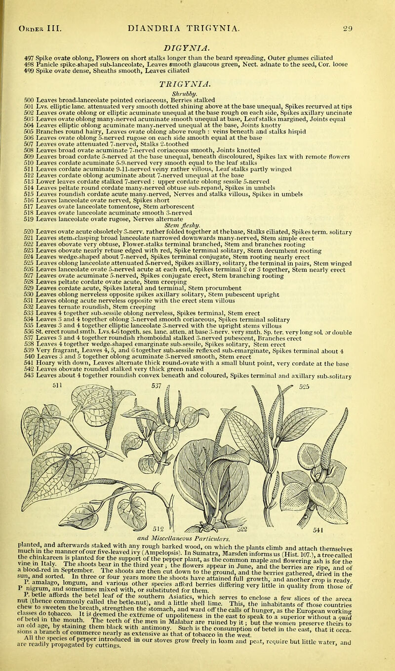 DIGYNIA. 497 Spike ovate oblong, Flowers on short stalks longer than the beard spreading, Outer glumes ciliated 498 Panicle spike-shaped sub-lanceolate, Leaves smooth glaucous green, Nect. adnate to the seed, Cor. loose 499 Spike ovate dense, Sheaths smooth, Leaves ciliated TRIG YNIA. Shrubby. 500 Leaves broad-lanceolate pointed coriaceous, Berries stalked 501 Lvs. elliptic lane, attenuated very smooth dotted shining above at the base unequal, Spikes recurved at tips 502 Leaves ovate oblong or elliptic acuminate unequal at the base rough on each side, Spikes axillary uncinate 503 Leaves ovate oblong many-nerved acuminate smooth unequal at base, Leaf stalks margined, Joints equal 504 Leaves elliptic oblong acuminate many-nerved unequal at the base, Joints knotty 505 Branches round hairy, Leaves ovate oblong above rough : veins beneath and stalks hispid 506 Leaves ovate oblong 5-nerved rugose on each side smooth equal at the base 507 Leaves ovate attenuated 7-nerved, Stalks 2-toothed 508 Leaves broad ovate acuminate 7-nerved coriaceous smooth, Joints knotted 509 Leaves broad cordate 5-nerved at the base unequal, beneath discoloured, Spikes lax with remote flowers 510 Leaves cordate acuminate 5-9-nerved very smooth equal to the leaf stalks 511 Leaves cordate acuminate 9-11-nerved veiny rather villous, Leaf stalks partly winged 512 Leaves cordate oblong acuminate about 7-nerved unequal at the base 513 Lower leaves cordate stalked 7-nerved : upper cordate oblong sessile 5-nerved 514 Leaves peltate round cordate many-nerved obtuse sub-repand, Spikes in umbels 515 Leaves roundish cordate acute many-nerved, Nerves and stalks villous, Spikes in umbels 516 Leaves lanceolate ovate nerved, Spikes short 517 Leaves ovate lanceolate tomentose, Stem arborescent 518 Leaves ovate lanceolate acuminate smooth 3-nerved 519 Leaves lanceolate ovate rugose, Nerves alternate Stem fleshy. 520 Leaves ovate acute obsoletely 3-nerv. rather folded together at thebase, Stalks ciliated, Spikes term, solitary 521 Leaves stem-clasping broad lanceolate narrowed downwards many-nerved, Stem simple erect 522 Leaves obovate very obtuse, Flower-stalks terminal branched, Stem and branches rooting 523 Leaves obovate nearly refuse edged with red, Spike terminal solitary, Stem decumbent rooting 524 Leaves wedge-shaped about 7-nerved, Spikes terminal conjugate, Stem rooting nearly erect 525 Leaves oblong lanceolate attenuated 5-nerved, Spikes axillary, solitary, the terminal in pairs, Stem winged 526 Leaves lanceolate ovate 5-nerved acute at each end, Spikes terminal 2 or 3 together, Stem nearly erect 527 Leaves ovate acuminate 5-nerved, Spikes conjugate erect, Stem branching rooting 528 Leaves peltate cordate ovate acute, Stem creeping 529 Leaves cordate acute, Spikes lateral and terminal, Stem procumbent 530 Leaves oblong nerveless opposite spikes axillary solitary, Stem pubescent upright 531 Leaves oblong acute nerveless opposite with the erect stem villous 532 Leaves ternate roundish, Stem creeping 533 Leaves 4 together sub-sessile oblong nerveless, Spikes terminal, Stem erect 534 Leaves 3 and 4 together oblong 3-nerved smooth coriaceous, Spikes terminal solitary 535 Leaves 3 and 4 together elliptic lanceolate 3-nerved with the upright stems villous 536 St. erect round smth. Lvs.4-6 togeth. ses. lane, atten. at base 3-nerv. very smth. Sp. ter. very long soL ar double 537 Leaves 3 and 4 together roundish rhomboidal stalked 3-nerved pubescent, Branches erect 538 Leaves 4 together wedge-shaped emarginate sub-sessile, Spikes solitary, Stem erect 539 Very fragrant, Leaves 4,5, and 6 together sub-sessile reflexed sub-emarginate, Spikes terminal about 4 540 Leaves 3 and 5 together oblong acuminate 3-nerved smooth, Stem erect 541 Hoary with down, Leaves alternate thick round-ovate with a small blunt point, very cordate at the base 542 Leaves obovate rounded stalked very thick green naked 543 Leaves about 4 together roundish convex beneath and coloured, Spikes terminal and axillary sub-solitary and Miscellaneous Particulars. planted, and afterwards staked with any rough barked wood, on which the plants climb and attach themselves much,in the manner of our five-leaved ivy (Ampelopsis). In Sumatra, Marsderi[informs us (H™ 107) atreTcaUed t ^een is planted for the support of the pepper plant, as the common maple and flowering 'ashiffor the vine in Italy. The shoots bear m the third year ; the flowers appear in June, and the berries are ripe and of M,n anH»tVnJept,em^er- ^ sh°°ts are then,cut down to the ground, and the berries gathered, dded In the sun, and sorted In three or four years more the shoots have attained full growth, and inother crm is ready P. amalago, longurn, and various other species afford berries differing very lit tie in qua yfrom those of P nigrum, and sometimes mixed with, or substituted for them quality irom tnose ot „„wV!;Ue aff0rds th? bet^ ,'e¥ of the s°ut«ern Asiatics, which serves to enclose a few slices of the areca nut (thence commonly called the betle-nut), and a little shell lime. This, the inhabitants of those countries cisle doTobacm^ SS?™ Jhe St°TCh' a,d Ward the calls of hunger, as the European work ng of berel in theTonth li'd«eIed the extreme of unpohteness in the east to speak to a superior without a qukl an old aS by ISStt. J™ nf \ °f-ihe !? ,n Malaba.r are ruined ^  > but the women preserve theirs to sions arfraJE nf i^8 ^ Wlth antimony. Such is the consumption of betel in the east, that it occa- sions a branch of commerce nearly as extensive as that of tobacco in the west. ■« S^^SSiS^cSSSSr1 in our stoves erow freely in loam and peat'rcquire but littlc water- ;,,id