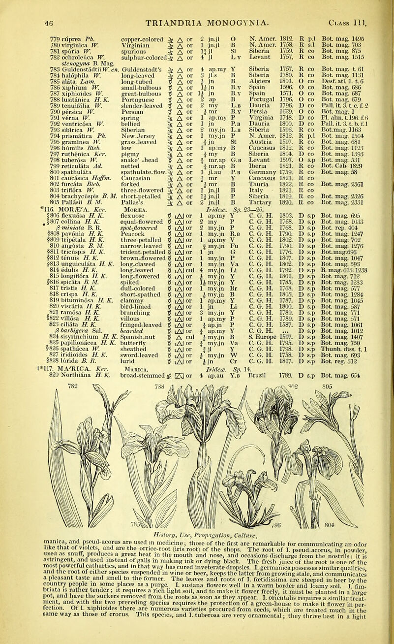 779 cuprea Ph. 780 virg'mica TV. 781 sp6ria TV. 782 ochrolefica TV. stenogyna B. Mag. 783 Guldenstadtii TV. en. 784hal6phila TV. 785 alata ham. 786xiphium TV. 787 xiphioides TV. 788 lusitanica H. K. 789 tenuifolia TV. 790 persica TV. 791 verna TV. 792 ventricosa TV. 793siblrica TV. 794 prismatica Ph. 795 graminea TV. 796 humilis Bieb. 797 ruthenica Ker. 798tuber6sa TV. 799 reticulata Ad. 800 spathulata 801 caucasica Hoffm. 802furcata Bieb. 803 triflora TV. 804 brachyciispis B. M. 805 Pallasii 27. M. *116. MORffi'A. A>r. §806 flexuosa H. K. , §807 collina H.K. {! miniata B. R. 5808 pav6nia H. K. §809 tripetala H. K. 810 angusta B. M. §811 tricflspis //. A'. §812 tenuis H. K. 5813 unguiculata H. K. 814edulis H.K. 815 longiflora K. §816 spicata B. M. 817 tristis H. K 818crispa H.K. 819 bituminosa H. K. 820 viscaria H. K. 821 ramosa H. K. §822vill6sa H.K. 823 ciliata H. K. 0 barbigera Sal. 824 sisyrlnchium H.K. 825 papilionacea H. K. §826 spathacea TV. 827 iridioides H. K. §828 lurida B. B. +*117. MA'RICA. Ker. 829 Northiana H. K. copper-colored ^ A or Virginian ^ A or spurious ^ A or sulphur-colored ^ A or Guldenstadt's ^ long-leaved long-tubed 5 small-bulbous great-bulbous 5 Portuguese 5 slender-leaved Persian ^ spring ^ bellied & Siberian £t New-Jersey ^ grass-leaved 3t low ^[ pigmy 3t snake' -head netted ^ spathulate-flovv. ^ Caucasian ^ forked ^ three-flowered ^ short-petalled ^ PaUas's ^ MoRiEA. flexuose tf equal-flowered S spot-flowered tf Peacock 5 three-petalled 5 narrow-leaved ^ trident-petalled S brown-flowered ^ long-clawed 5 long-leaved 5 long-flowered 5 spiked dull-colored tf short-spathed 5f clammy bird-limed tf branching tf villous S fringed-Ieaved tf bearded 1$ Spanish-nut 5 butterfly tf sheathed sword-leaved S lurid 5 Marica. broad-stemmed £ A or A or A or A or A or A or A or A or A or A or A or A or A or A or A or A or A or A or A or A or A or A or A or lAJ or i Al or i Al or iAI or i Al or i Al or i Al or i Al or i Al or i Al cul iAI or i Al or i Al or iAI or iAI or i Al or i Al or i Al or i Al or i Al or A cul i Al or i Al or lAJ or i Al or ESor 2 jn.jl 1 jn.jl If jl 4 jl 4 ap.my 3 jLs f l'n H in 2 ap 2 my i mr 1 ap.my 1 jn 2 my.jn 1 my.jn i jn 1 ap.my i my f mr.ap \ mr.ap 1 jl.au i mr i mr 1 jn.jl U jn.jl 2 jn.jl Iridere. 1 ap.my 2 my 2 my.jn 1 my.jn 1 ap.my i my.jn 1 jn 1 my.jn 1 my.jn 4 my.jn i my jn li my.jn 1 my.jn i my.jn 1 ap.my 1 jn 3 my.jn 1 ap.my i ap.jn \ ap.my i my.jn J my.jn i jl i my.jn I jn Irldece. 4 ap.au o N. Amer. 1812. R p.l B N. Amer. 1758. R s.l SI Siberia 1759. R CO L.Y Levant 1757. R CO Y Siberia 1757. R CO B Siberia 1780. R CO B Algiers 1801. () CO B.Y Spain 1596. O CO B.Y Spain 1571. O CO B Portugal 1796. o CO L.B Dauria 1796. 1) CO B.Y Persia 1629. <) CO P Virginia 1748. D CO P.B Dauria 1800. D CO L.B Siberia 1596. I! CO p N. Amer. 1812. R p.l St Austria 1597. R CO B Caucasus 1812. R CO B Siberia 1804. I) CO G.B Levant 15!)7. o s.p B Iberia 1821. R CO P.B Germany 1759. Ii CO Y Caucasus 1821. R CO B Tauria 1822. R CO B Italy 1821. R CO P Siberia 181Q R CO B Tartary 1826! R CO So. 23—26. Y C. G. H. 1803. D s.p P C. G. H. 1768. D s.p P c. G. H. 1768. D s.p R.B c. G. H. 1790. I) s.p V c. G. H. 1802. 1) s.p Fu c. G. H. 1790. D s.p G c. G. H. 1776. I) s.p P c. G. H. 1807. D s.p Va c. G. H. 1802. I) s.p Li c. G. H. 1792. D s.p Y c. G. H. 1801. D s.p Y c. G. H. 1785. D s.p Br c. G. H. 1768. 1) s.p B c. G. H. 1803. D s.p Y c. G. H. 1787. D s.p Li c. G. H. 1800. D s.p Y c. G. H. 1789. D s.p P c. G. H. 1789. D s.p P c. G. H. 1587. D s.p Y c. G. H. D s.p B S. Europe 1597. I) s.p Va c. G. H. 1795. D s.p Y c. G. H. 1798. D s.p W c. G. H. 1758. D s.p Cr c. G. H. 1817. 1) s.p So. 14. Y.B Brazil 1789. D s.p t. 61 1131 1. t.6 686 687 679 t. c. f. 2 1 196. f.6 t.b. f.l 1163 1504 681 1123 1393 531 1829 58 Bot. mag. 1496 Bot. mag. 703 Bot. mag. 875 Bot. mag. 1515 Bot. ma0. Bot. mag. Desf. atl. Bot. mag. Bot. mag, Bot. mag. Pall, it 3. Bot. mag. PI. aim. t. Pall. it. 3. Botmag. Bot. mag. Bot. mag. Bot. mag. Bot. mag. Bot. mag. Bot. Cab- Bot mag. Bot. mag. 2361 Bot. mag. 2326 Bot. mag. 2331 Bot. mag. 695 Bot. mag. 1033 Bot. rep. 404 Bot. mag. 1247 Bot. mag. 702 Bot. mag. 1276 Bot.mag.696 Bot. mag. 1047 Bot. mag. 593 B. mag. 613.1238 Bot. mag. 712 Bot. mag. 1283 Bot. mag. 577 Bot. mag. 1284 Bot. mag. 1045 Bot. mag. 587 Bot. mag. 771 Bot. mag. 571 Bot. mag. 1061 Bot. mag. 1012 Bot. mag. 1407 Bot. mag. 750 Thunb. diss. 1.1 Bot. mag. 693 Bot. reg. 312 D s.p Bot. mag. 654 History, Use, Propagation, Culture, manica, and pseud-acorus are used in medicine; those of the first are remarkable for communicating an odor like that of violets and are the orrice-root (iris-root) of the shops. The root of I. pseud-acorus, in powder, used as snuif produces a great heat in the mouth and nose, and occasions discharge from the nostrils • it is astringent, and used instead of galls in making ink or dying black. The fresh juice of the root is one of the most powerful cathartics, and in that way has cured inveterate dropsies. I. germanica possesses similar qualities and the root of either species suspended in wine or beer, keeps the latter from growing stale, and communicates a pleasant taste and smell to the former. The leaves and roots of I. fcetidissima are steeped in beer by the country people in some places as a purge. I. susiana flowers well in a warm border and loamy soil I fim briata is rather tender; it requires a rich light soil, and to make it flower freely, it must be planted in a large pot, and have the suckers removed from the roots as soon as they appear. I. orientalis requires a similar treat- ment, and wjth the two preceding species requires the protection of a green-house to make it flower in per- fection. Of 1. xipnioides there are numerous varieties procured from seeds, which are treated much in the same way as those of crocus. This species, and I. tuberosa are very ornamental; they thrive best in a light