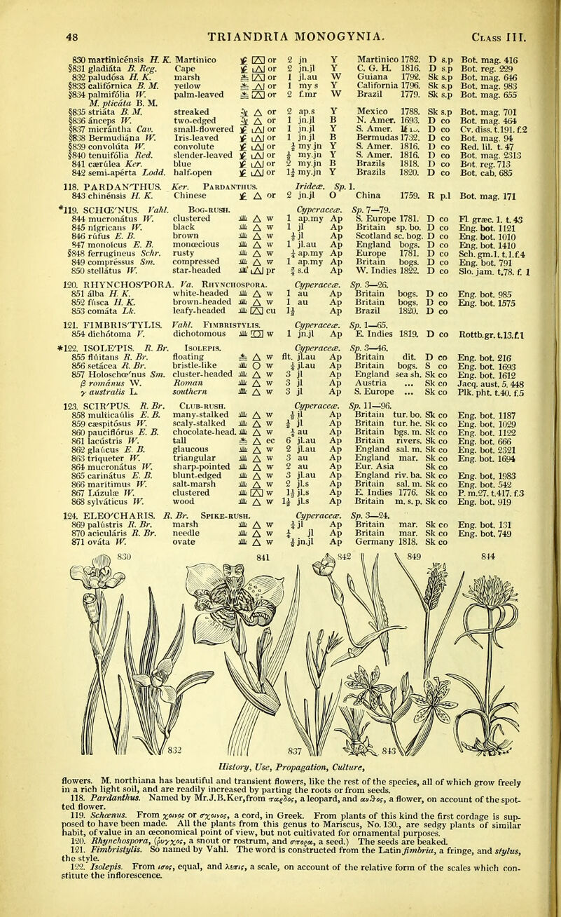 830 martinicensis H. K. §831 gladiata B. Reg. 832 paludosa H. K. §833 California B. M. $834 palmifolia W. M. plicata B. M. §835 striata B. M. §836 anceps W. §837 micrantha Can. §838 Bermudiana W. §839 convoluta W. §840 tenuifolia Red. 841 ca>r6Iea Ker. 842 semi-aperta Lodd. 118. PARDAN'THUS. 843 chinensis H. K. *119. SCHCE'NUS. Vahl. 844 mueronatus IK 845 nigricans IV. 846 rufus E. B. 847 monoicus £. B. §848 ferruglneus ScAr. 849 compressus Sm. 850stellatus W. Martinico Cape marsh yellow palm-leaved streaked two-edged small-flowered Iris-leaved convolute slender-leaved blue half-open £ IAI or £ lAJ or iElor *A|or jfe E] or ^ A or 3t A or If iAI or i Al or iAI or l£ LAJor iAI or i Al or 2 jn 2 jn.jl 1 jl.au 1 my s 2 f.mr 2 ap.s 1 jn.jl 1 jn.jl 1 jn.jl I my jn 1 my.jn 2 my.jn 1| my.jn Y Y W Y W Y B Y B Y Y B Y Martinico 1782. D s.p Bot. mag. 416 C. G. H. 1816. D s.p Bot. reg. 229 Guiana 1792. Sk s.p Bot. mag. 646 California 1796. Sk s.p Bot. mag. 983 Brazil 1779. Sk s.p Bot. mag. 655 Mexico 1788. N. Amer. 1693. S. Amer. tt i^. Bermudas 1732. S. Amer. 1816. S. Amer. 1816. Brazils 1818. Brazils 1820. Sk s.p D co D co D co D co D co n co D co Bot. mag. 701 Bot. mag. 464 Cv. diss. 1.191. f.2 Bot. mag. 94 Red. 1U. t. 47 Bot. mag. 2313 Bot. reg. 713 Bot. cab. 685 Ker. Pardanthus. Chinese Bog-rush. clustered black brown monoecious rusty compressed star-headed l£ A or juii A w jim a w m a w M A w * A w A w llil lAJpr 120. RHYNCHOS'PORA. Va. Rhynchospora. 851 alba H. K. 852 ffisca H. K. 853 comata Lk. 121. FIMBRIS'TYLIS. 854 dichotoma V. white-headed Jllli A brown-headed Jllli A w leafy-headed M [23 cu Vahl. Fimbristylis. dichotomous JUL [Q] w *122. ISOLE'PIS. R. Br. Isolepis. 855 flilitans R. Br. 856 setacea R. Br. 857 Holoschce'nus Sm. [i romanus W. y australis L. 123. SCIR'PUS. R.Br. 858 multicadlis E. B. 859 casspitosus W. 860 pauciflorus E. B. 861 lacustris W. 862 gladcus E. B. 863 triqueter W. 864 mueronatus IV. 865 carinatus E. B. 866 maritimus W. 867 Luzula? W. 868 sylvaticus IV. floating =fc A W bristle-like mil O w cluster-headed M A w Roman M A w southern, jJIi A w Club-rush. many-stalked scaly-stalked chocolate-head. taU glaucous triangular sharp-pointed blunt-edged salt-marsh clustered wood Iridece. Sp. 2 jn.jl O Cypcracece. 1 ap.my Ap 1 jl Ap ijl Ap 1 jl.au Ap \ ap.my Ap 1 ap.my Ap j s.d Ap Cyperacete. Sp. 3—26. 1 au Ap Britain bogs. D co 1 au Ap Britain bogs. D co 1| Ap Brazil 1820. D co Cyperacete. Sp. 1—65. 1 jn.jl Ap E. Indies 1819. D co Sp. 3—46. Britain dit. D co Britain bogs. S co England sea sh. Sk co Austria ... Sk co S. Europe ... Sk co 1. China 1759. R p.l Bot. mag. 171 Sp. 7—79. S. Europe 1781. D co Fl. gra=c. 1. t. 4o Britain sp. bo. D co Eng. bot. 1121 Scotland sc. bog. D co Eng. bot. 1010 England bogs. D co Eng. bot. 1410 Europe 1781. D co Sch. gm.l. t.l.f.4 Britain bogs. D co Eng. bot. 791 W. Indies 1822. D co Slo. jam. t.78. f. 1 Eng. bot. 985 Eng. bot. 1575 Cyperacece. fit. jl.au Ap i jl au 3 jl 3 jl 3 jl Ap Ap Ap Ap jiui A w jffli a w jllli a w * A ec jilt A w jlll a w jiii A w jin a w jin A w M C3 w jin a w Cyperacete. 1 jl 4 au 6 jl.au 2 jLau 3 au 2 au 3 jl.au 2 jLs Ujl.s H~ jl-s Ap Ap Ap Ap Ap Ap Ap Ap Ap Ap Ap Sp. 11—96. Britain tur. bo. Britain tur. he. Britain bgs. m. Britain rivers. England sal. m. England mar. Eur. Asia England riv. ba. Britain sal. m. E Indies 1776. Britain m. s. p. Sk co Sk co Sk co Skco Sk co Sk co Sk co Skco Sk co Sk co Sk co 124. ELEO'CHARIS. R. Br. Spike-rush. 869palflstris R. Br. marsh Jllli A 870 acicularis R. Br. needle Jin A 871 ovata W. ovate Jllli A Cyperacete. Sp. 3—24. \ jl Ap Britain mar. Sk co \ jl Ap Britain mar. Sk co \ jn.jl Ap Germany 1818. Sk co Rottb.gr. U3.f.t Eng. bot. 216 Eng. bot. 1693 Eng. bot. 1612 Jacq. aust. 5. 448 Plk. pht. t.40. f.5 Eng. bot. 1187 Eng. bot. 1029 Eng. bot. 1122 Eng. bot. 666 Eng. bot. 2321 Eng. bot. 1694 Eng. bot. 1983 Eng. bot. 542 P. m.27. t.417. f.3 Eng. bot. 919 Eng. bot. 131 Eng. bot. 749 History, Use, Propagation, Culture, flowers. M. northiana has beautiful and transient flowers, like the rest of the species, all of which grow freely in a rich light soil, and are readily increased by parting the roots or from seeds. 118. Pardanthus. Named by Mr.J.B.Ker.from ot^&jj, a leopard, and av&os, a flower, on account of the spot- ted flower. 119. Schcenus. From j;««os or cr^mves, a cord, in Greek. From plants of this kind the first cordage is sup- posed to have been made. All the plants from this genus to Mariscus, No. 130., are sedgy plants of similar habit, of value in an ceconomical point of view, but not cultivated for ornamental purposes. 120. Rhynchospora, (pvyxof, a snout or rostrum, and mo^x., a seed.) The seeds are beaked. 121. Fimbristylis. So named by Vahl. The word is constructed from the Latin fimbria, a fringe, and stylus, the style. 122. Isolepis. From uroc, equal, and tens, a scale, on account of the relative form of the scales which con- stitute the inflorescence.