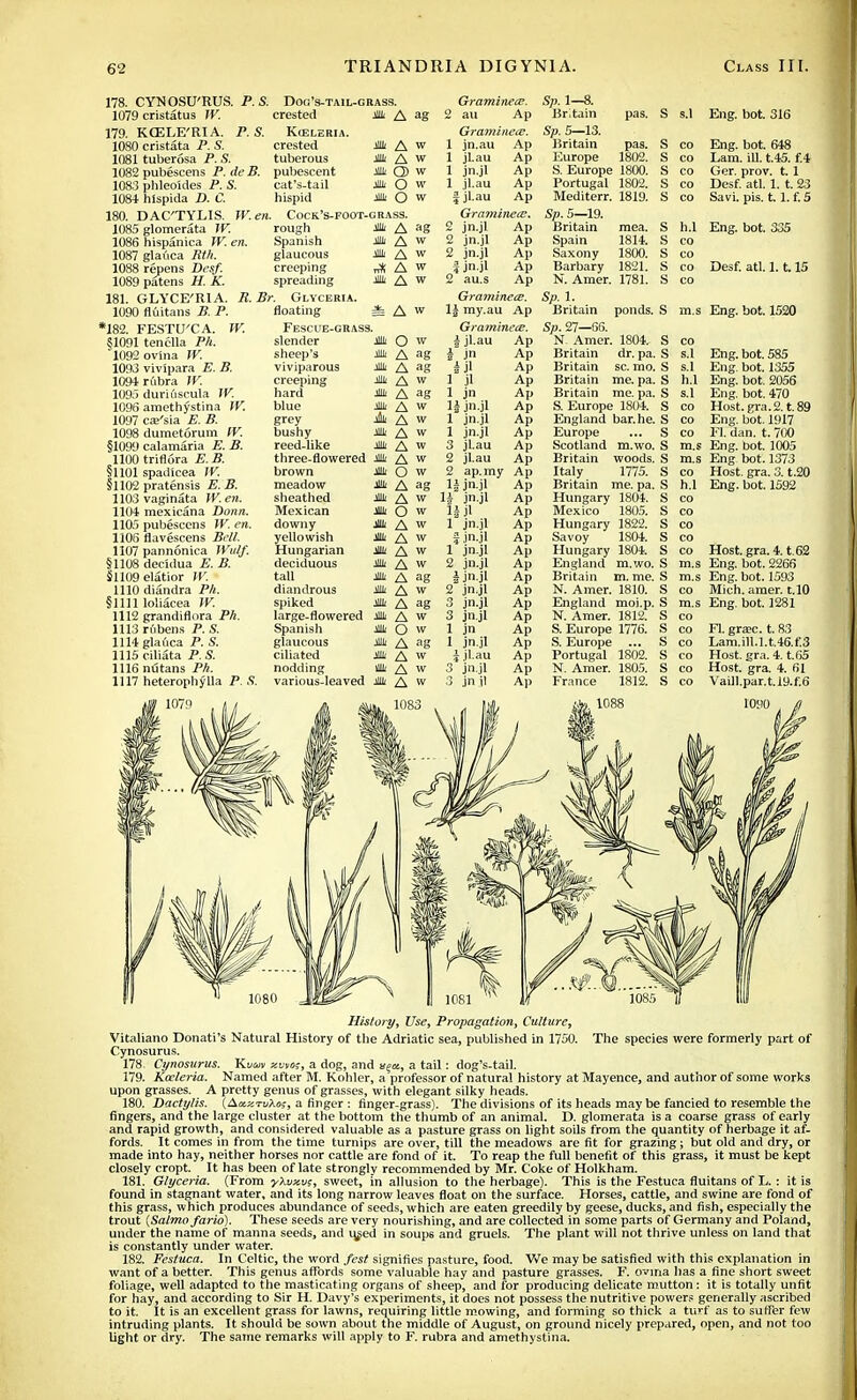 178. CYNOSU'RUS. P. S. 1079 cristatus W. 179. KCELE'RI A. P. S. 1080 cristata P. S. 1081 tuberosa P. S. 1082 pubescens P. de B. 1083 phleoides P. S. 1084 hlspida D. C. 180. DAC'TYLIS. W.en. Dog's-tail-grass. crested Kceleria. crested tuberous pubescent cat's-tail hispid A ag m. A w * a w * Q) w jiui O w * O w Graminece. 2 au Ap Grcnninete. 1 jn.au Ap 1 jl.au 1 jn.jl 1 jl.au f jl.au Ap Ap Ap Ap Cock's-foot-grass. Graminece. 1085 glomerata IV. 1086 hispanica IK en. 1087 gladca PW. 1088 repens Desf. 1089 patens K. 181. GLYCE'RIA. 1090 fluitans B. P. *182. FESTU'CA. §1091 tenclla Ph. 1092 ovina W. 1093 vivipara P. 5. 1091 rubra W. 1095 duriuscula IV. 1096 amethystina IK 1097 ca;'sia E. B. 1098 dumetorum W. §1099 calamaria P. 5. 1100 triflora E. B. §1101 spadicea W. §1102 pratensis P. B. 1103vaginata W.en. 1104 mexicana Donn. 1105 pubescens W. ere. 1106 flavescens Bc/l. 1107 pannonica IVulf. §1108 decidua P. A §1109elatior W. 1110 diandra Pre. §1111 loliacea W. 1112 grandiflora Ph. 1113 riibens P. S. 1114 glauca P. S. 1115 ciliata P. S. 1116 nutans Ph. 1117 heterophylla P. S. rough Spanish glaucous creeping spreading R. Br. Glyceria floating Fescue-grass, slender sheep's viviparous creeping hard blue grey bushy reed-like » A ag * A » jut A w A w JUL A W = A w jlll O w * A ag * A ig * A w jllli A ag * A w A A w itt a w * a w 2 jn.jl 2 jn.jl 2 jn.jl I jn.jl 2 au.s three-flowered JUl/ A w brown * O w meadow sheathed Mexican downy yellowish Hungarian deciduous tall diandrous spiked » A ag juii A w Jllli o w jtt A w Hid A w jlu, A w » A w * A ag jllli A w m A ag Ap Ap Ap Ap Ap Graminece. \\ my.au Ap GraminecE. i jl.au Ap i jn i ji i jl 1 jn 1J jn-jl 1 jn.jl 1 jnjl 3 jl.au 2 jl.au 2 ap.my Ap If jn.jl Ap Sp. 1—8. Britain pas. g s 1 .eng. DOE. 010 Sp. 5—13. Britain pas. s CO Eng. bot. 648 Europe 1802. s CO Lam. ill. t.45. f.4 S. Europe 1800. s CO Ger. prov. t. 1 Portugal 1802. s CO Desf. atl. 1. t. 23 Mediterr. 1819. s CO oavi. pis. t. 1.1. 0 Sp. 5—19. Britain mea. s h.l Eng. bot. 335 Spain 1814. s CO Saxony 1800. 8 CO Barbary 1821. s CO Desf. atl. 1.1.15 N. Amer. 1781. S CO Ap Ap Ap Ap Ap Ap Ap Ap Ap large-flowered jllli A w Spanish 31k O w glaucous Jllli A ag ciliated Jllli A w nodding all/ A w various-leaved Jill/ A w « jn.jl IJjl 1 jn.jl I jn.jl 1 jn.jl 2 jn.jl i jn.jl 2 jn.jl 3 jn.jl 3 jn.jl 1 jn 1 jn.jl i jl.au 3 jn jl 3 jn jl Ap Ap Ap Ap Ap Ap Ap Ap Ap Ap Ap Ap Ap Ap Ap Sp. 1. Britain ponds. Sp. 27—66. N. Amer. 1804. Britain dr. pa, Britain sc. mo, Britain me. pa. Britain me. pa. S. Europe 1804. England bar. he. Europe Scotland m.wo. Britain woods. Italy 1775. Britain me. pa. S Hungary 1804. S Mexico 1805. S Hungary 1822. S Savoy 1804. S Hungary 1804. S England m.wo. S Britain m. me. S N. Amer. 1810. England moi.p N. Amer. 1812. S. Europe 1776. S. Europe ... Portugal 1802. N. Amer. 1805. France 1812. S m.s Eng. bot. 1520 s.l Eng. bot. 585 s.l Eng. bot. 1355 h.l Eng. bot. 2056 s.l Eng. bot. 470 co Host.gra.2.t.89 co Eng. bot. 1917 co FI. dan. t. 700 m.s Eng. bot. 1005 m.s Eng bot. 1373 co Host. gra. 3. t.20 h.l Eng. bot. 1592 co Host. gra. 4.162 m.s Eng. bot. 2266 m.s Eng. bot. 1593 co Mich. amer. t.10 m.s Eng. bot. 1281 co co Fl. graic. t. 83 co Lam.ill.l.t.46.f.3 co Host. gra. 4. t.65 co Host. gra. 4. 61 co Vaill.par.t.l9.f.6 History, Use, Propagation, Culture, Vitaliano Donati's Natural History of the Adriatic sea, published in 1750. The species were formerly part of Cynosurus. 178. Cynosurus. Kvuv w, a dog, and vqa, a tail: dog's-tail. 179. Kceleria. Named after M. Kohler, a professor of natural history at Mayence, and author of some works upon grasses. A pretty genus of grasses, with elegant silky heads. 180. Dactylis. (Axy.ruXo;, a finger : finger-grass). The divisions of its heads may be fancied to resemble the fingers, and the large cluster at the bottom the thumb of an animal. D. glomerata is a coarse grass of early and rapid growth, and considered valuable as a pasture grass on light soils from the quantity of herbage it af- fords. It comes in from the time turnips are over, till the meadows are fit for grazing; but old and dry, or made into hay, neither horses nor cattle are fond of it. To reap the full benefit of this grass, it must be kept closely cropt. It has been of late strongly recommended by Mr. Coke of Holkham. 181. Glyceria. (From yXvy.v;, sweet, in allusion to the herbage). This is the Festuca fluitans of L. : it is found in stagnant water, and its long narrow leaves float on the surface. Horses, cattle, and swine are fond of this grass, which produces abundance of seeds, which are eaten greedily by geese, ducks, and fish, especially the trout (Salmo fario). These seeds are very nourishing, and are collected in some parts of Germany and Poland, under the name of manna seeds, and u^ed in soups and gruels. The plant will not thrive unless on land that is constantly under water. 182. Festuca. In Celtic, the word /est signifies pasture, food. We may be satisfied with this explanation in want of a better. This genus affords some valuable hay and pasture grasses. F. ovina has a fine short sweet foliage, well adapted to the masticating organs of sheep, and for producing delicate mutton : it is totally unfit for hay, and according to Sir H. Davy's experiments, it does not possess the nutritive powers generally ascribed to it. It is an excellent grass for lawns, requiring little mowing, and forming so thick a turf as to suffer few intruding plants. It should be sown about the middle of August, on ground nicely prepared, open, and not too light or dry. The same remarks will apply to F. rubra and amethystina.