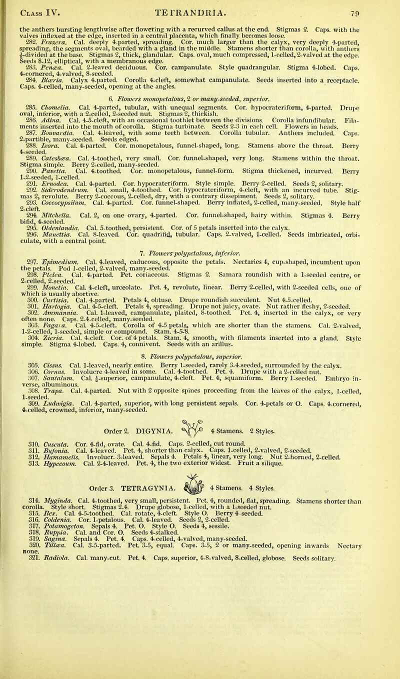 the anthers bursting lengthwise after flowering with a recurved callus at the end. Stigmas 2. Caps, with the valves inflexed at the edge, inserted in a central placenta, which finally becomes loose. 282. Frazera. Cal. deeply 4-parted, spreading. Cor. much larger than the calyx, very deeply 4-parted, spreading, the segments oval, bearded with a gland in the middle. Stamens shorter than corolla, with anthers 1- divided at the base. Stigmas 2, thick, glandular. Caps, oval, much compressed, 1-celled, 2-valved at the edge. Seeds 8-12, elliptical, with a membranous edge. 283. Pencea. Cal. 2-leaved deciduous. Cor. campanulate. Style quadrangular. Stigma 4-lobed. Caps. 4-comered, 4-valved, 8-seeded. 284. Blceria. Calyx 4-parted. Corolla 4-cleft, somewhat campanulate. Seeds inserted into a receptacle. Caps. 4-celled, many-seeded, opening at the angles. 6. Flowers monopetalous, 2 or many-seeded, superior. 285. Chomelia. Cal. 4-parted, tubular, with unequal segments. Cor. hypocrateriform, 4-parted. Drupe oval, inferior, with a 2-celled, 2-seeded nut. Stigmas 2, thickish. 286. Adina. Cal. 4-5-cleft, with an occasional toothlet between the divisions Corolla infundibular. Fila- ments inserted into the mouth of corolla. Stigma turbinate. Seeds 2-3 in each cell. Flowers in heads. 287. Bouvardia. Cal. 4-leaved, with some teeth between. Corolla tubular. Anthers included. Caps. 2- partible, many-seeded. Seeds edged. 288. Ixora. Cal. 4-parted. Cor. monopetalous, funnel-shaped, long. Stamens above the throat. Berry 4-seeded. 289. Catesbcea. Cal. 4-toothed, very small. Cor. funnel-shaped, very long. Stamens within the throat. Stigma simple. Berry 2-celled, many-seeded. 290. Pavetta. Cal. 4-toothed. Cor. monopetalous, funnel-form. Stigma thickened, incurved. Berry 1- 2-seeded, 1-celled. 291. Ernodea. Cal. 4-parted. Cor. hypocrateriform. Style simple. Berry 2-celled. Seeds 2, solitary. 292. Side rode nd rum. Cal. small, 4-toothed. Cor. hypocrateriform, 4-cleft, with an incurved tube. Stig- mas 2, revolute. Berry 2-coccous, 2-celled, dry, with a contrary dissepiment. Seeds 2, solitary. 293. Coccocypsilum. Cal. 4-parted. Cor. funnel-shaped. Berry inflated, 2-celled, many-seeded. Style half 2- cIeft. 294. Mitchella. Cal. 2, on one ovary, 4-parted. Cor. funnel-shaped, hairy within. Stigmas 4. Berry bifid, 4-seeded. 295. Oldenlandia. Cal. 5-toothcd, persistent. Cor. of 5 petals inserted into the calyx. 296. Manettia. Cal. 8-leaved. Cor. quadrifisl, tubular. Caps. 2-valved, 1-celled. Seeds imbricated, orbi- culate, with a central point. 7. Flowerspolypetalous, inferior. 297. Epimedium. Cal. 4-leaved, caducous, opposite the petals. Nectaries 4, cup-shaped, incumbent upon the petals. Pod 1-celled, 2-valved, many-seeded. 298. Ptclea. Cal. 4-parted. Pet. coriaceous. Stigmas 2. Samara roundish with a 1-seeded centre, or 2-celled, 2-seeded. 299. Monetia. CaL 4-cleft, urceolate. Pet. 4, revolute, linear. Berry 2-celled, with 2-seeded cells, one of which is usually abortive. 300. Curtisia. Cal. 4-parted. Petals 4, obtuse. Drupe roundish succulent. Nut 4-5-celled. 301. Hartogia. Cal. 4-5-cleft. Petals 4, spreading. Drupe not juicy, ovate. Nut rather fleshy, 2-seeded. 302. Ammannia. Cal. 1-leaved, campanulate, plaited, 8-toothed. Pet. 4, inserted in the calyx, or very often none. Caps. 2-4-celled, many-seeded. 303. Fagaia. Cal. 4-5-cleft. Corolla of 4-5 petals, which are shorter than the stamens. Cal. 2-valved, 1.2-celled, 1-seeded, simple or compound. Stam. 4-5-8. 304. Zieria. Cal. 4-cleft. Cor. of 4 petals. Stam. 4, smooth, with filaments inserted into a gland. Style simple. Stigma 4-lobed. Caps. 4, connivent. Seeds with an arillus. 8. Flowers polypetalous, superior. 305. Cissus. Cal. 1-leaved, nearly entire. Berry 1-seeded, rarely 3-4-seeded, surrounded by the calyx. 306. Cornus. Involucre 4-leaved in some. Cal. 4-toothed. Pet. 4. Drupe with a 2-celled nut. 307. Santalum. CaL |-superior, campanulate, 4-cleft. Pet. 4, squamiform. Berry 1-seeded. Embryo in- verse, albuminous. 308. Trapa. Cal. 4-parted. Nut with 2 opposite spines proceeding from the leaves of the calyx, 1-celled, 1-seeded. 309. Ludwigia. Cal. 4-parted, superior, with long persistent sepals. Cor. 4-petals or O. Caps. 4-comered, 4-celled, crowned, inferior, many-seeded. Order 2. DIGYNIA. ^^Jf 4 Stamens. 2 Styles. 310. Cuscuta. Cor. 4-fid, ovate. Cal. 4-fid. Caps. 2-celled, cut round. 311. Bufonia. Cal. 4-leaved. Pet. 4, shorter than calyx. Caps. 1-celled, 2-valved, 2-seeded. 312. Hamamclis. Involucr. 3-leaved. Sepals 4. Petals 4, linear, very long. Nut 2-horned, 2-celled. 313. Hypecoum. Cal. 2-4-leaved. Pet. 4, the two exterior widest. Fruit a silique. Order 3. TETRAGYNIA. t^ff 4 Stamens. 4 Styles. 314. Myginda. Cal. 4-toothed, very small, persistent. Pet. 4, rounded, flat, spreading. Stamens shorter than corolla. Style short. Stigmas 2-4. Drupe globose, 1-celled, with a 1-seeded nut. 315. Ilex. Cal. 4-5-toothed. Cal. rotate, 4-cleft. Style O. Berry 4 seeded. 316. Coldenia. Cor. 1-petalous. Cal. 4-leaved. Seeds 2, 2-celled. 317. Potamogeton. Sepals 4. Pet. O. Style O. Seeds 4, sessile. 318. Ruppia. Cal. and Cor. O. Seeds 4-stalked. 319. Sagina. Sepals 4. Pet. 4. Caps. 4-celled, 4-valved, many-seeded. 320. Tilltea. Cal. 3-5-partcd. Pet. 3-5, equal. Caps. 3-5, 2 or many-seeded, opening inwards Nectary none. 321. Badiola. Cal. many-cut. Pet. 4. Caps, superior, 4-8-valved, 8-celled, globose. Seeds solitary.