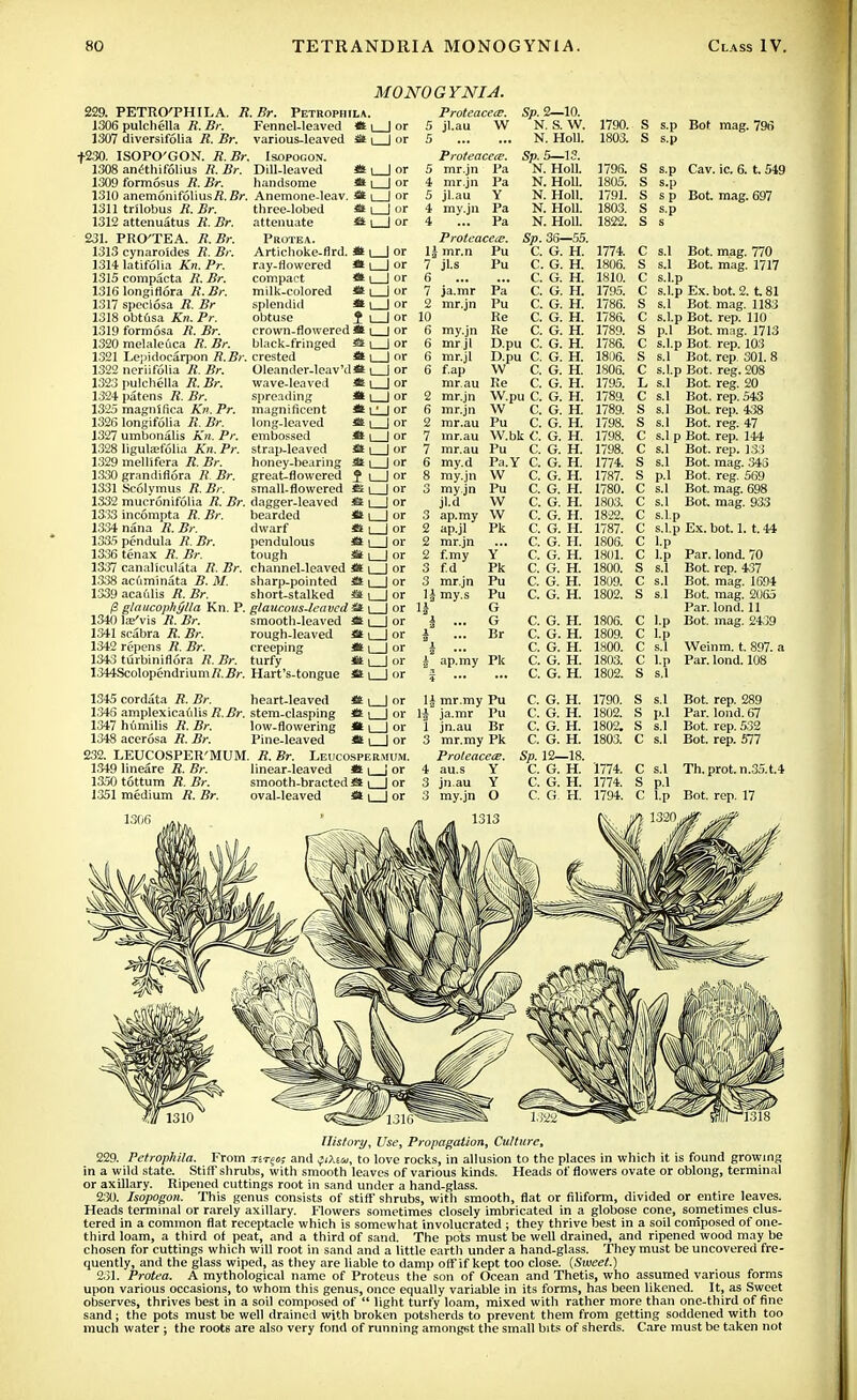 MONOGYNIA. 229. PETRO'PHILA. R.Br. Petrophila 1306 pulchella R. Br. Fennel-leaved « 1307 diversifolia R. Br. various-leaved St f230. ISOPO'GON. R.Br. Isopogon. 1308 aneihifolius R. Br. 1309 formosus if. Br. 1310 anemonifoliusTi.Br 1311 trilobus R. Br. 1312 attenuatus R. Br. 231. PRO'TEA. R.Br. 1313 cynaroides R. Br. 1314 latifolia Kn. Pr. 1315 compacta R. Br. 1316 longiflora R.Br. 1317 speclosa R. Br 1318 obtusa Kn. Pr. 1319 formosa R. Br. 1320 melaleuca R. Br. 1321 Lepidocarpon R.Br 1322 neriifolia R. Br. 1323 pulchella R.Br. 1324- patens R. Br. 1325 magnifica Kn. Pr. 1326 longifolia R. Br. 1327 umbonalis Kn. Pr. 1328 Iigutefolia A'n. Pr. 1329 mellifera 77. .Br. 1330 grandifiora 7? 75V. 1331 Scolvmus R. Br. 1332 mucronifolia R. Br 13.33 incompta 77. Br. 1334 nana 77. 5c. 1335pendula R.Br. 1336 tenax A Br. 1337 canaliculata 7?. 1338 acfiminata B. M. 1339 acatilis R. Br. /3 glaucophylla Kn. P 1340 la/vis 7?. Br. 1341 scabra 72. Sr. 1342 repens R. Br. 1343 turbiniflora 77. Br. 1344Scolopendrium 77. Br. Hart's-tongue 1345 cordata R. Br. heart-leaved * i | or 1346 amplexica<dis77.i?r. stem-clasping *t | | or 1347 humilis 77. Br. low-flowering St 1348 acerosa R. Br. Pine-leaved * 232. LEUCOSPER'MUM. 77. Br. Leucospermum, 1.349 lineare R. Br. 1350 tottum 77. Br. 1351 medium 77. Br. Proteacece. Sp. 2—10. il.au W N. S. W. N. Holl. Proteacece. Sp. 5—13. 1790. S s.p Bot mag. 796 1803. S s.p Dill-leaved m \ I or 5 mr.jn Pa N. Holl. handsome *L J or 4 mr.jn Pa N. Holl. Anemone-leav *L J or 5 jl.au Y N. Holl. three-lobed *tl_Jor 4 my.jn Pa N. Holl. attenuate *L J or i Pa N. Holl. Protea. Protcaceaz. Sp. 36—55. Artichoke-flrd. *iJor U Pu C. G. H. ray-flowered *l_ J or 7 JI.S Pu C. G. H. compact *l_ J or 6 C. G. H. milk-colored «ti 1 or 7 ja.mr Pa C. G. H. splendid * 1 I or 2 mr.jn Pu C. G. H. obtuse i L J or 10 Re C. G. H. crown-floweret *l_ J or 6 Re C. G. H. black-fringed £aL J or 6 mr'jl11 D.pu C. G. H. crested *» L J or 6 mr.jl D.pu C. G. H. Oleander-leav'dSfc l J or 6 f.ap W C. G. H. wave-leaved St 1 1 or mr.au Re C. G. H. spreading magnificent «U J or S mr.jn W.pu C. G. H. *l_ J or 6 W C. G. H. long-leaved *l_ J or 2 mr.au Pu C. G. H. embossed *L J or 7 inr.au W.bk C. G. H. strap-leaved «l_ J or 7 mr.au Pu C. G. H. honey-bearing great-flowered a i_ J or 6 my.d Pa.Y C. G. H. ? i— J or 8 my.jn W C. G. H. small-flowered ££ | 1 or 3 my.jn Pu C. G. H. dagger-leaved *l_ J or jl-d W C. G. H. bearded *l_ J or 3 ap.my W C. G. H. dwarf *1_ J or 2 ap.jl Pk C. G. H. pendulous *L Jor 2 mr.jn C. G. H. tough *1_ J or 2 f.my y C. G. H. channel-leaved *U Jor 3 f.d Pk C. G. H. sharp-pointed **L_ Jor 3 mr.jn Pu C. G. H. short-stalked Jor H my.s Pu C. G. H. glaucous-leaved *l_ Jor G smooth-leaved *L_ Jor J G C. G. H. rough-leaved *l_ Jor l Br C. G. H. creeping *l_ Jor i C. G. H. turfy *t|_ Jor 1 ap.my Pk C. G. H. C. G. H. 1796. 1805. 1791. 1803. 1822. 1774. 1806. 1810. 1795. 1786. 1786. 1789. 1786. 18U6. 1806. 1795. 1789. 1789. 1798. 1798. 1798. 1774. 1787. 1780. 1803. 1822. 1787. 1806. 1801. 1800. 1809. 1802. 1806. 1809. 1800. 1803. 1802. s.p Cav. ic. 6. t. 549 s.p s p Bot. mag. 697 s.p s.l s.l s.l.p s.l.p S.1 s.l.p p.l s.l.p s.l s.l.p s.1 s.1 s.1 s.l s.l p s.1 s.1 pi s.l s.l s.l .p s.l.p l.p l.p s.l s.l s.l C l.p C l.p C s.1 C l.p S s.l Bot. mag. 770 Bot. mag. 1717 Ex. bot. 2.181 Bot. mag. 1183 Bot. rep. 110 Bot. mag. 1713 Bot. rep. 103 Bot. rep 301. 8 Bot. reg. 208 Bot. reg. 20 Bot. rep. 543 Bot. rep. 438 Bot. reg. 47 Bot. rep. 144 Bot. rep. 133 Bot. mag. 34S Bot. reg. 569 Bot. mag. 698 Bot. mag. 933 Ex. bot. 1. t. 44 Par. lond. 70 Bot. rep. 437 Bot. mag. 1694 Bot. mag. 2065 Par. lond. 11 Bot. mag. 2439 Weinm. t. 897. a Par. lond. 108 1| mr.my Pu 1^ ja.mr Pu jn.au Br mr.my Pk Protectees. au.s Y jn.au Y my.jn O History, Use, Propagation, Culture, 229. Petrophila. From nr^os and ;iJ.s«, to love rocks, in allusion to the places in which it is found growing in a wild state. Stiff shrubs, with smooth leaves of various kinds. Heads of flowers ovate or oblong, terminal or axillary. Ripened cuttings root in sand under a hand-glass. 230. Isopogon. This genus consists of stiff shrubs, with smooth, flat or filiform, divided or entire leaves. Heads terminal or rarely axillary. Flowers sometimes closely imbricated in a globose cone, sometimes clus- tered in a common flat receptacle which is somewhat involucrated ; they thrive best in a soil composed of one- third loam, a third of peat, and a third of sand. The pots must be well drained, and ripened wood may be chosen for cuttings which will root in sand and a little earth under a hand-glass. They must be uncovered fre- quently, and the glass wiped, as they are liable to damp off if kept too close. {Sweet.) 231. Protea. A mythological name of Proteus the son of Ocean and Thetis, who assumed various forms upon various occasions, to whom this genus, once equally variable in its forms, has been likened. It, as Sweet observes, thrives best in a soil composed of  light turfy loam, mixed with rather more than one-third of fine sand; the pots must be well drained with broken potsherds to prevent them from getting soddened with too much water j the roots are also very fond of running amongst the small bits of sherds. Care must be taken not