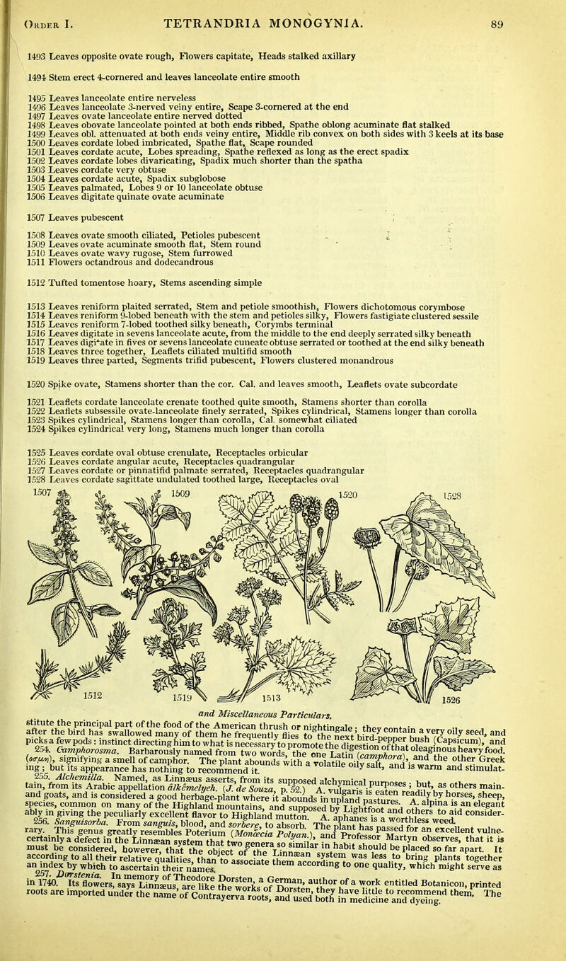 1493 Leaves opposite ovate rough, Flowers capitate, Heads stalked axillary 1494 Stem erect 4-cornered and leaves lanceolate entire smooth 1495 Leaves lanceolate entire nerveless 1496 Leaves lanceolate 3-nerved veiny entire, Scape 3-comered at the end 1497 Leaves ovate lanceolate entire nerved dotted 1498 Leaves obovate lanceolate pointed at both ends ribbed, Spathe oblong acuminate flat stalked 1499 Leaves obi. attenuated at both ends veiny entire, Middle rib convex on both sides with 3 keels at its base 1500 Leaves cordate lobed imbricated, Spathe flat, Scape rounded 1501 Leaves cordate acute, Lobes spreading, Spathe reflexed as long as the erect spadix 1502 Leaves cordate lobes divaricating, Spadix much shorter than the spatha 1503 Leaves cordate very obtuse 1504 Leaves cordate acute, Spadix subglobose 1505 Leaves palmated, Lobes 9 or 10 lanceolate obtuse 1506 Leaves digitate quinate ovate acuminate 1507 Leaves pubescent ] 1508 Leaves ovate smooth ciliated, Petioles pubescent . I 1509 Leaves ovate acuminate smooth flat, Stem round 1510 Leaves ovate wavy rugose, Stem furrowed 1511 Flowers octandrous and dodecandrous 1512 Tufted tomentose hoary, Stems ascending simple 1513 Leaves reniform plaited serrated, Stem and petiole smoothish, Flowers dichotomous corymbose 1514 Leaves reniform 9-lobed beneath with the stem and petioles silky, Flowers fastigiate clustered sessile 1515 Leaves reniform 7-lobed toothed silky beneath, Corymbs terminal 1516 Leaves digitate in sevens lanceolate acute, from the middle to the end deeply serrated silky beneath 1517 Leaves digitate in fives or sevens lanceolate cuneate obtuse serrated or toothed at the end silky beneath 1518 Leaves three together, Leaflets ciliated multifid smooth 1519 Leaves three parted, Segments trifid pubescent, Flowers clustered monandrous 1520 Spjke ovate, Stamens shorter than the cor. Cal. and leaves smooth, Leaflets ovate subcordate 1521 Leaflets cordate lanceolate crenate toothed quite smooth, Stamens shorter than corolla 1522 Leaflets subsessile ovate-lanceolate finely serrated, Spikes cylindrical, Stamens longer than corolla 1523 Spikes cylindrical, Stamens longer than corolla, Cal. somewhat ciliated 1524 Spikes cylindrical very long, Stamens much longer than corolla 1525 Leaves cordate oval obtuse crenulate, Receptacles orbicular 1526 Leaves cordate angular acute, Receptacles quadrangular 1527 Leaves cordate or pinnatifid palmate serrated, Receptacles quadrangular 1528 Leaves cordate sagittate undulated toothed large, Receptacles oval 1507 and Miscellaneous Particulars. stitute the principal part of the food of the American thrush or niehtinMle. tw «™t ,-„ after the bird has swallowed many of them he frequently flies to theSit wF ? 3ue,ry seeA> and picks a fewpods: instinct directing him to what fs necl^ 2^4 Oamphorosma. Barbarously named from two words, the one ^^camnhma^ IfF^^^^- {oem) sigmfymg a smell of camphor. The plant abounds witha Volatile oilv 3 and'u^,™6 ^H- Grfek ing; but its appearance has nothing to recommend it. 01ly salt> and 1S warm and stimulat- 255 Alchemilla. Named, as Linna;us asserts, from its supposed alchvmiral nnn™», w >k tain, from Us Arabic appellation alkemelyeh. {J.'de Sauza, p. 52°])AvuCrisisPeaten rV^Hv'h h°therS 1!ain- and goats, and is considered a good herbage.plant where it aboundsinuS nLtures a 'ilh-°rSes> ,sheeP> species, common on many of the Highland mountains and sunnier|3 t }5,S? ? j A alpina is an elegant ably in giving the peculiarly excellent ^yorTm^mu^l^r^^^^J^ consider 256. Sanguisorba. From sanguis, blood, and sorbere to absorb The r3,M , ™ wo.rt.nless weed- Sainl^dSin^'L^ must beY considered howeveHha the obfect ofThe Lmn^ V* Sh°,Uld be P,aced 50 far ^ » according^to all their\elative q'ualit^ than to assoc ate ^hem arlS ^ was less,.t0 ring plants together an index by which to ascertain their names associate according to one quality, which might serve as in Wix ufflowers!nSa~rL0usTa?: like t£™i, 9^ 'It!* I* a WOrk entitled Botanic°». Panted roots are imported unde^ the SF<£$£%g fig ^SS^SSSSSt ^ =