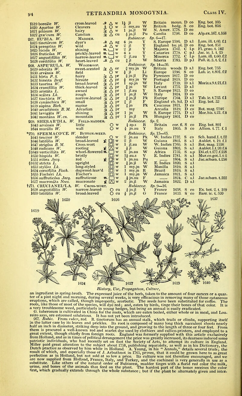 y4 11519 boreale W. cross-leaved -* 1620 Apartne W. Cleavers A 1621 pilosum W. hairy Jfc 1622 grae'cum W. Candian 3i 267. RU'BIA. W. Madder. 1623 tinctorum W. dyer's -* 1624 peregrina W. wild 1625 lucida W. shining H- 1626 fruticosa W. prickly-leaved tt- 1627 angustifolia IV. narrow-leaved tt. 1628 cordifolia W. heart-leaved £68. ASPE'RULA. W. Woodroof. 1629 odorata W. sweet-scented 1630 arvensis W. field 1631 hirta P. S. hairy 1632 hirsuta Desf. hirsute ^ 1633 taurlna W. broad-leaved & 1634 crassif61ia W. thick-leaved ^ 1635 aristSta L. awned £fc 1636 scabra Lk. rough ^ 1637 tinctoria W. narrow-leaved ifc 1638 cynanchica W. small £fc 1639 supina Bieb. supine ^ 1640 arcadiensis B. M. Arcadian & 1641 la?vigSta W. shining ^ 1642 montana VV. en. mountain 269. SHERAR'DIA. VV. Field-madder. 1643 arvensis VV. little 1644 muralis W. wall *270. SPERMACO'CE VV. Button-weed. li jl W 3 my.au W 1 jn.il W A cu J jn.jl Pu Rubiaccce. A w O w A A cu A or O w A 1* pr pr pr pr pr pr 1 pr pr pr I»r 1645 teiu'iior W. 1646 latifolia VV. 1647 strig6sa B. M. 1648 radicans VV. §1649 verticillata W. 1650 hispida VV. 1651 rubra Jacq. §1652 strlcta L. 1653 stylosa Lk. 1654 cornifolia Fisch. 1655 Fischeri Lk. 1656 suffruticosa Jacq. 1657 mucron^ta Nees. t271. CRUCI ANEL'LA. 1658 angustifolia W. 1659 latifolia VV. 1619 slender broad-leaved £ Cross-wort rooting j£ whorl-flowered a. bristly red upright long-styled dogwood-leav'd Fischer's suffVuticose It. mucronate £ W. Cross-wort. narrow-leaved broad-leaved O w O w O w PI w rm w 23 w □ w rm w OS w EE w rrn w ED w rm w □ w tza w 4 jn Y 2 jl Y 2 jl Y 4 s Y 2 jl.au Y | jl W Rubiacca;. J my.jn W \ jl i j jl I my.jn 1 ap.jn I jn 1 jl.au 1 jn.jl I jnjl I Jl fjn my 1 jn 1 jn.jl RubiacetE. i ap.s B \ jn.au Y Rubiacece. 2 jn.au Pk 2 jl 1 jl.au 2 jn.au 1| au.s 1 jn.au i jn.jl 1 my.jn 1 my.jn 1 my.jn W ijn.au F 2 jn.jl Rubiacete. I jn jl Y i jn.jl G 1779. 1772. 1783. W Britain moun. Britain hedg. N. Amer. 1778. Candia 1798. 5^. 6—17. S. Europe 1596. England bu. pi. Majorca 1762. Canaries Minorca Siberia Sp. 14—30. Britain woods. Europe 1596. Pyrenees 1817. Portugal 1819. Italy 1739. Levant 1775. S. Europe 1823. Italy 1824. Europe 1764. England ch. hi], Caucasus 1821. Arcadia 1819. S. Europe 1775. Hungary 1801. Sp. 2. Britain cor. fl, Italy 1805. Sp. 13—65. W. Indies 1732. Guiana 1803. W. Indies 1760. Guiana 1803. Africa 1732. E. Indies 1781. 1804. E. Indies 1820. Manilla 1819. Brazil Jamaica D co S co D co D co D s.l D co C l.p C p.l C l.p D p.l D s.l S co D co D co D s.l D s.l D co D co D s.l D s.l D co D co D s.l D co Eng. bot. 105 Eng. bot. 816 AIp.ex.l67.t.l66 Lam. ill. t.60. f.l Eng. bot. 851 Fl. grasc. t. 142 Jac. ic. 1. t. 25 Lam. ill. t60. f.2 Pall. it. 3. t.2. f.l Eng. bot. 755 Lob. ic. t.801. f.2 Jamaica Sp. 9—16. France France 1819. 1821. 1824. 1822. co law. 1633. D s.l S co S co Moris.s.9.t.21.f.l Tab. ic. t.733. f.l Eng. bot. 33 Bot. mag. 2146 Mor.his. t.21. f.4 Eng. bot. 891 Allion. t. 77. f. 1 Sch. hand.l. t.22 Aublet. 1.19. f.l Bot. mag. 1558 Aublet.l.t.20.f.4 Dii.el.t.277.f.358 Mur.co.got.3.16 Jac.schcen. t.256 Jac.schcen. t.322 Ex. bot. 2. t. 109 Barr. ic. t. 520 1637 History, Use, Propagation, Culture, an ingredient in spring-broth. The expressed juice of the herb, taken to the amount of four ounces or a quar- ter of a pint night and morning, during several weeks, is very efficacious in removing many of those cutaneous eruptions, which are called, though improperly, scorbutic. The seeds have been substituted for coffee. The roots, like those of most of the species, will dye red; and, eaten by birds, tinge their bones of that color. It is a very troublesome weed, particularly in young hedges, but being an annual is easily eradicated. G. tuberosum is cultivated in China for the roots, which are eaten boiled, either whole or in meal, and Lou- reiro says, are esteemed salubrious. It has not yet been introduced. 267. Rubin. From ruber, red. R. tinctorum has an annual stalk, which trails or climbs, supporting itself m the latter case by its leaves and prickles. Its root is composed of many long thick succulent shoots nearly half an inch in diameter, striking deep into the ground, and growing to the length of three or four feet. From them is procured a well-known red and scarlet dye used by clothiers and callico-printers, and employed to a great extent, though chiefly from foreign roots. England was formerly supplied with this article exclusively from Holland, and as in times of political derangement the price was greatly increased, its dearness induced some patriotic individuals, who had recently set on foot the Society of Arts, to attempt its culture in England Miller paid great attention to the subject about 1758, publishing separately, as well as in his Dictionary, the Dutch practice as observed by him while in Holland. A. Young, in his  Annals, details several trials; the result of which, and especially those of J. Arbuthnot in 1765, proves, that it could be grown here to as great perfection as in Holland, but not sold at so low a price. Its culture was not therefore encouraged, and we are now supplied from Holland, France, Italy, and Turkey, and the cochineal is very generally in use as a substitute. Like others of the natural order of Rubiacea;, madder tinges with a florid red color the milk, urine, and bones of the animals that feed on the plant. The hardest part of the bones receives the color first, which gradually extends through the whole substance; but if the prant be alternately given and inter-