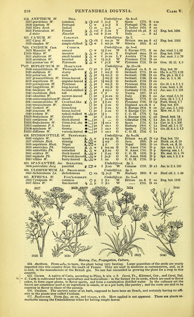 654. ANE'THUM. TV. 3623 graveolens TV. 3624 segetum TV. 3625 Sowa Roxb. 3626 Foeniculum TV. /3 dulce 655. CA'RUM. TV. 3627 Carui TV. 3628 simplex TV. *656. CNIDIUM. Cuss. 3629 Monnieri TV. §3630Silaus TV. 3631 alsaticum TV. 3632 aristatum TV. 3633 pyrenas'um TV. t*657. BUPLEU'RUM. TV. 3634 rotundifolium TV. 3635 stellatum TV. 3636 petree'um TV. Dill. common Portugal Indian Fennel ^ Finochio 3t Caraway. common ^ simple-stalked ^ Cnidium. annual meadow ^ small-headed 5 bearded 5 Pyrenean ^ Hare's-ear. Thorough-wax starry £ rock £ 3637 graminifolium TV. Grass-leaved ]£ 3638 angulosum TV. 3639 pyrenaicum TV. 3640 longifolium TV. 3641 falcatum TV. 3642 exaltatum Bleb. 3643 odontites TV. 3644 semicompositum TV. dwarf 364'j ranunculoides TV. Crowfoot-like 3646 tenuissimum TV. 3647 Gerardi TV. 3648junceum TV. 3649 nudum TV. §3650 fruticosum TV. §3651 coriaceum TV. §3652 fruticescens TV. §3653 canescens P. S. §3654 spinosum TV. §3655 difforme TV. 658. HYDROCO'TYLE. 3656 vulgaris TV. 3657 nitidula Rich. 3658 nepalensis Hook. 3659 americana Ph. 3660 umbellata PA. 3661 asiatica TV. 3662 repanda PA. 3663 vill6sa TV. 659. SPANAN'THE. Jac. Spananthe. 3664 paniculata Jacq. panicled £ 660. ULOSPER'MUM. Lk. Broad-seed. 3665 dichotoraum Lk. dichotomous 661. jETHU'SA. TV. 3666 Cynapium TV. 3667 fatua TV. angular-leaved )£ Pyrenean }£ long-leaved j£ twisted-stalked if tall £ narrow-leaved slender branching linear-leaved naked-stalked shrubby thick-leaved Grass-lvd.-shr. hoary thorny various-leaved TV. Pennywort. marsh shining Nepal tuberous umbelled thick-leaved Pilewort-leaveditli. hairy-leaved j„ Q) cul C w O m A cul A cul O) clt Q> w O w A w A w A w A w O pr A pr pr pr pr pr I>r Pr pr A A A A A A A O pr O pr A pr O pr O pr O pr lAJpr pr L_l pr l_l pr l_Jpr I I pr I I pr A w Umbellifera. 3 jn.jl Y i jn.jl Y ... jn.jl 6 jl.au Y 4 jl.au Y Vmbellifens. 2 my.jn W 1 my.jn W Umhelliferiz. U jl.au W 2 jn.au Y 6 jn.au L.Y li jn.jl W 1 jn.jl W Vmbelliferce. 2 jn.jl Y 1 my.jl \\ my.jl I my.jl 1£ my.jl 1 my.jl 3 my.jl I my-s 2 jl j jn.au } jn.au i jl.au 1 jl.au 1 jl.au IS o 3 jl.au l| au.s 5 au.s 1 au.s 1 au.s 1768. 1768. 1759. A w A w i Al w i Al w lAl w Umbelliferce. \ my.jn R tmy  G j jl O J my.au R i jl.au G 1 jl.au G 1 jn.jl G 1 au G Sp. 4—5. Spain 1570. Portugal 1796. E. Indies 1810. England ch. pi. Italy Sp. 2. Britain me. pa. Siberia 1816. Sp.5—6. S. Europe 1771. England mea. Austria 1774. Pyrenees 1739. Pyrenees 1731. Sp. 22—34. England co. fi. Switzerl. 1775. Switzerl. Switzerl. Switzerl. Pyrenees 1814. Switzerl. 1713. Germany 1739. Tauria 1807. Italy 1749. Spain 1778. Pyrenees 1790. England seash. S. Europe 1804. S. Europe 1722. C. G. H. 1778. S. Europe 1596. Gibraltar 1784. Spain 1752. Barbary 1809. Spain 1752. C. G. H. 1752. Sp. 8—54. Britain wa. pi Java 1820. Nepal 1820. N. Amer. 1790. N. Amer. 1795. C. G. H. 1690. N. Amer. 1806. C. G. H. 1795. Sp. 1. Caracas S s.l S 8.1 S co D co D co D co T> co S co D co D co D co D co D co D co D s.l D s.l S co S co D l.p S s Eng. bot 1208 Eng. bot. 1503 Jac. vind. 1.1.62 Eng. bot. 2142 Jac. aust. 1.1.70 Gou. ill. 11. t.5 Eng. bot. 99 Ha.h.n.771.t.l8 Plu. ph. t. 50. f. 5 Jac. ic. 1.1. 56 Go. ill. t. 4. f. 1.2 Cam. hort. t. 38 Jac. aus. 2.1.158 Jac. vind. 3. t. 91 Gou. ill. t. 7. f. 1 Park, theat. f. 7 Eng. bot 478 Jac. aus. 3. t. 256 Mor. ox. 9. 12 3 Dend. brit. 14 Jac. ic. 2. t. 351 Cav. ic. 2.1.106 Desf. atl. 1.1.57 Go. ill 8. t. 2. f.3 D c.p D co D co D p D p D p D p D p Eng. bot. 751 Hook. ex. fl. 29 Hook. ex. fl. 30 Spr. um. t. 2. f. 3 Spreng. um. 1.1 Rh. mal 10. t. 46 Spr. um. t. 2. f. 4 D s.l Jac. ic. 2. t. 350 Desf. atl. 1. t. 66 Eng. bot. 1192 3646 History, Use, Propagation, Culture, 654. Anethum. From euOu, to burn, the plant being very heating. Large quantities of the seeds are yearly imported into this country from the south of France. They are used in medicine as carminatives, and, as it is said, in the manufacture of the British gin. No one has succeeded in growing the plant for a crop in this country. 655. Carum. A native of Caria, according to Pliny, b. xix. c. 8. Carvi, Fr., Kummel, Ger., and Carvi, Ital. C. Carld is cultivated both in agriculture and horticulture : in the former for its seeds, which are used to flavor cakes, to form sugar plums, to flavor spirits, and form a carminative distilled water. In the culinary art the leaves are sometimes used as an ingredient in salads, or as a pot herb, like parsley; and the roots are said to be superior in flavor to those of the parsnip. 656. Cnidium. The ancient name of an herb, supposed to have been an Orach, and certainly having no affi- nity to the plants now called Cnidium. 657. Bupleurum. From j6»f, an ox, and TXtvqov, a rib. How applied is not apparent. These are plants re- markable among the Umbelliferous tribes for having simple leaves.