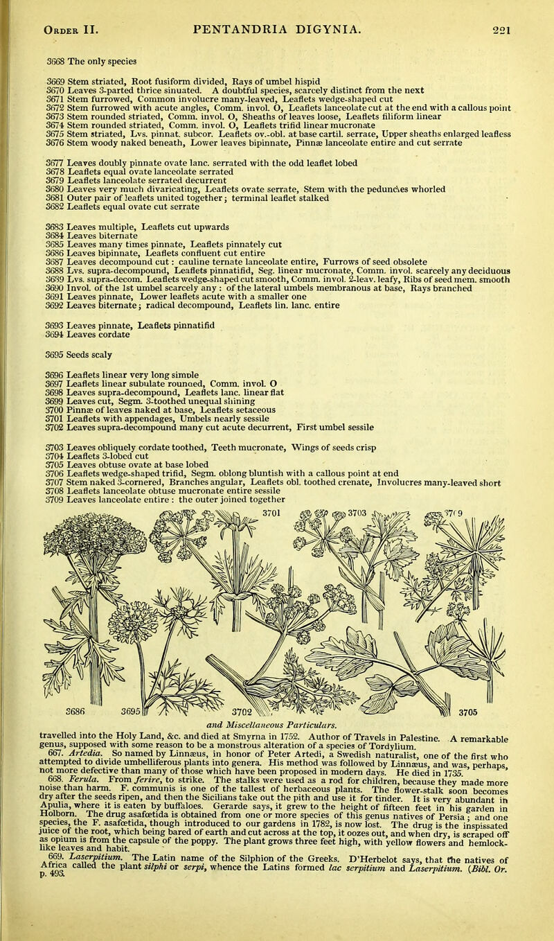 3668 The only species 3669 Stem striated, Root fusiform divided, Rays of umbel hispid 3670 Leaves 3-parted thrice sinuated. A doubtful species, scarcely distinct from the next 3671 Stem furrowed, Common involucre many-leaved, Leaflets wedge-shaped cut 3672 Stem furrowed with acute angles, Comm. invol. O, Leaflets lanceolate cut at the end with a callous point 3673 Stem rounded striated, Comm. invol. O, Sheaths of leaves loose, Leaflets filiform linear 3674 Stem rounded striated, Comm. invol. O, Leaflets trifid linear mucronate 3675 Stem striated, Lvs. pinnat. subcor. Leaflets ov.-obl. at base cartil. serrate, Leper sheaths enlarged leafless 3676 Stem woody naked beneath, Lower leaves bipinnate, Pinna; lanceolate entire and cut serrate 3677 Leaves doubly pinnate ovate lane, serrated with the odd leaflet lobed 3678 Leaflets equal ovate lanceolate serrated 3679 Leaflets lanceolate serrated decurrent 3680 Leaves very much divaricating, Leaflets ovate serrate, Stem with the pedunc\es whorled 3681 Outer pair of leaflets united together; terminal leaflet stalked 3682 Leaflets equal ovate cut serrate 3683 Leaves multiple, Leaflets cut upwards 3684 Leaves biternate 3685 Leaves many times pinnate, Leaflets pinnately cut 3686 Leaves bipinnate, Leaflets confluent cut entire 3687 Leaves decompound cut: cauline ternate lanceolate entire, Furrows of seed obsolete 3688 Lvs. supra-decompound, Leaflets pinnatifid, Seg. linear mucronate, Comm. invol. scarcely any deciduous 3639 Lvs. supra-decom. Leaflets wedge-shaped cut smooth, Comm. invol. 2-leav. leafy, Ribs of seed mem. smooth 3690 InvoL of the 1st umbel scarcely any : of the lateral umbels membranous at base, Rays branched 3691 Leaves pinnate, Lower leaflets acute with a smaller one 3692 Leaves biternate; radical decompound, Leaflets lin. lane, entire 3693 Leaves pinnate, Leaflets pinnatifid 3694 Leaves cordate 3695 Seeds scaly 3696 Leaflets linear very long simple 3697 Leaflets linear subulate rounoed, Comm. invol. O 3698 Leaves supra-decompound, Leaflets lane, linear flat 3699 Leaves cut, Segm. 3-toothed unequal shining 3700 Pinna; of leaves naked at base, Leaflets setaceous 3701 Leaflets with appendages, Umbels nearly sessile 3702 Leaves supra-decompound many cut acute decurrent, First umbel sessile 3703 Leaves obliquely cordate toothed, Teeth mucronate, Wings of seeds crisp 3704 Leaflets 3-Iobcd cut 3705 Leaves obtuse ovate at base lobed 3706 Leaflets wedge-shaped trifid, Segm. oblong bluntish with a callous point at end 3707 Stem naked 3-cornered, Branches angular, Leaflets obi. toothed crenate, Involucres many-leaved short 3708 Leaflets lanceolate obtuse mucronate entire sessile 3709 Leaves lanceolate entire : the outer joined together and Miscellaneous Particulars. travelled into the Holy Land, &c. and died at Smyrna in 1752. Author of Travels in Palestine. A remarkable genus, supposed with some reason to be a monstrous alteration of a species of Tordylium. 667. Artedia. So named by Linneeus, in honor of Peter Artedi, a Swedish naturalist, one of the first who attempted to divide umbelliferous plants into genera. His method was followed by LinnEeus, and was perhaps not more defective than many of those which have been proposed in modern days. He died in 1735 668. Ferula. From ferire, to strike. The stalks were used as a rod for children, because they made more noise than harm. F. communis is one of the tallest of herbaceous plants. The flower-stalk soon becomes dry after the seeds ripen, and then the Sicilians take out the pith and use it for tinder. It is very abundant in Apulia, where it is eaten by buffaloes. Gerarde says, it grew to the height of fifteen feet in his garden in Holborn. The drug asafoetida is obtained from one or more species of this genus natives of Persia • and one species, the F. asafoetida, though introduced to our gardens in 1782, is now lost. The drug is the inspissated juice of the root, which being bared of earth and cut across at the top, it oozes out, and when dry is scraped off as opium !s from the capsule of the poppy. The plant grows three feet high, with yellow flowers and hemlock- like leaves and habit. 659. Laserpilium. The Latin name of the Silphion of the Greeks. D'Herbelot says, that the natives of Africa called the plant silphi or serpi, whence the Latins formed lac serpitium and Laserpitium. (Bibl. Or.