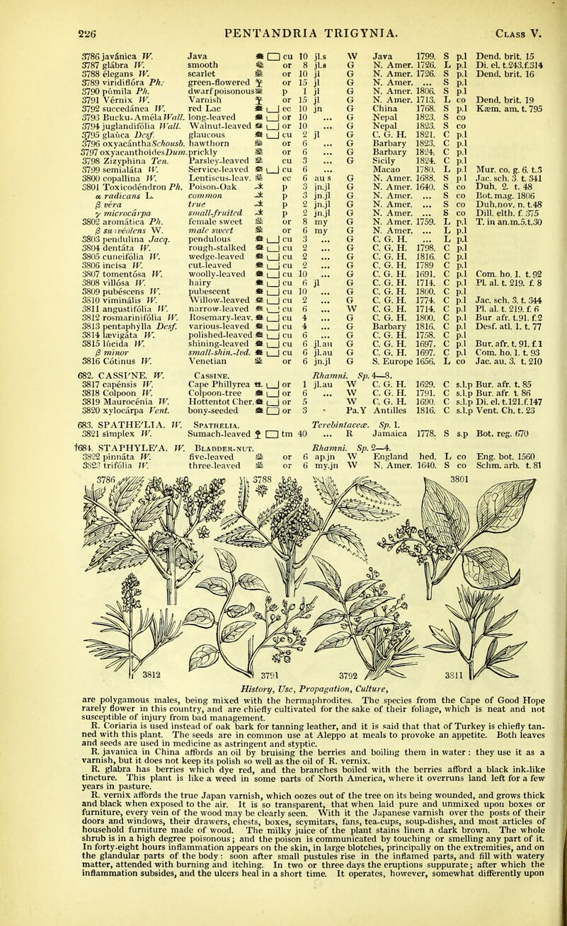 3786javSnica W. Java m 1 1 cu 10 jl.s jl.8 W Java 1799. S pi Dend. brit. 15 SI'S! glabra JV. smooth * or 8 G N. Amer. 1726. L pi Di. el. t.243.f.314 3788 elegans W. scarlet & or l(i jl G N. Amer. 1726. S pi Dend. brit. 16 3789 viridiflora Ph: green-flowered j or 15 jl jl G N. Amer. S pi 3790 pumila Ph. dwarf poisonousSlfc P 1 G N. Amer. 1806. S pi 3791 Vernix JV. Varnish J or 15 jl G N. Amer. 1713. L CO Dend. brit. 19 3792 succedanea JV. red Lac * I I ec 10 jn G China 1768. S pi KaDm. am. t. 795 3793 Bucku-Amela Wall, long-leaved *t 1 I or 1(1 G Nepal 1823. S CO 3794 juglandifolia Wall. Walnut-leaved Si I 1 or 1(1 G Nepal 1823. s CO 3795 glauca Desf. glaucous * I I cu 2 jl G C. G. H. 1821. c P-l 3796 oxyacanthaSfAousi. hawthorn St or 6 G Barbary 1823. c P-l 3797 oxyacanthoides2)UOT.prickly or 6 G Barbary 1824. c P-l 3798 Zizyphina Ten. Parsley-leaved SE cu 3 G Sicily 1824. c P 3799 semialata IK. Service-leaved tft 1 | cu 6 Macao 1780. L P-I Mur. co. g. 6. t.3 3800 copallma W. Lentiscus-leav. 3£ ec 6 au.s G N. Amer. 1688. s P-l Jac. sch. 3. t. 341 3801 Toxicodendron PA. Poison-Oak P jn.jl G N. Amer. 1640. s CO Duh. 2. t. 48 a. radicans L. common -2fc P 3 jn.jl G N. Amer. s CO Bot. mag. 1806 /3 vera rrwe P 2 jn-jl G N. Amer. s CO Duh.nov. n. t.48 <y microcdrpa small-fruited -A P 2 jn.jl G N. Amer. s CO Dill. elth. f. 375 3802 aromatica P//. female sweet or 8 my G N. Amer. 1759. L p-l T. in an.m.5.t.30 /3 su iveolens W. mate sweet or 6 my G N. Amer. L p.l 3803 pendulina Jaca. pendulous * 1 I cu 3 G C. G. H. L p-l 3804 dentata IK rough-stalked *t 1 1 cu 2 G C. G. H. 1798. C p-l 3805 cuneifolia If. wedge-leaved * 1 1 cu 2 G C. G. H. 1816. C p-l 3806 incisa /K cut-leaved Ht \ 1 cu g G C. G. H. 1789 C p-l 3807 tomentosa W. woolly-leaved * 1 1 cu 10 G C. G. H. 1691. C p-l Com. ho. 1. t. 92 3808 villosa W. hairy *t 1 1 cu 6 jl G C. G. H. 1714. c p-l PI al. t. 219. f. 8 3809pubescens W. pubescent * 1 I cu 10 G C. G. H. 1800. c p-l 3810 viminalis W. Willow-leaved JS 1 I cu 2 G C. G. H. 1774. c p-l Jac. sch. 3. t. 344 3811 angustifolia IF. narrow-leaved ** \ I cu 6 W C. G. H. 1714. c p-l PI. al. t. 219. f. 6 3812 rosmarinifolia W. Iiosemary-leav. * 1 1 cu a Q C. G. H. 1800. Q n 1 P'1 UUl .11! 1 '1 I - 3813 pentaphylla .Dc.«/. various-leaved \ | cu 4 G Barbary 1816. c p-l Desf. atl. 1.1. 77 3814 laevigata W. polished-leaved <t I | cu 6 G C. G. H. 1758. c p-l 3815 1ucida W~. shining-leaved it 1 1 cu 6 jl.au G C. G. H. 1697. c p-l Bur. afr. t. 91. f.l 0 minor small-shin.-lvd. it I I cu 6 jl.au G C. G. H. 1697. c p-l Com. ho. 1.1. 93 3816C6tinus W. Venetian Sk or 6 jn.jl G S. Europe 1656. I, CO Jac. au. 3. t. 210 682. CASSI'NE. W. Cassive. Rhamni. Sp. 4—8. 3817 capensis W. Cape Phillyrea *L \ | or 1 jl.au W C. G. H. 1629. c s.l.p Bur. afr. t. 85 3818 Colpoon W. Colpoon-tree it I I or 6 W C. G. H. 1791. c s.l.p Bur. afr. t. 86 3819 Maurocenia W. Hottentot Cher.* I 1 or 5 W C. G. H. 1690. c s.l.p Di.el. t.l21.f,147 3820 xylocarpa Kent. bony-seeded it or 3 Pa.Y Antilles 1816. c s.l.p Vent. Ch. t. 23 683. SPATHE'LIA. W. Spathelia. Tercbintaceee. Sp. 1. 3821 simplex IT. Sumach-leaved 5 Z3 tm 40 R Jamaica 1778. s s.p Bot. reg. 670 t684. STAPHYLE'A. W. Bladder-nut. Rhamni. Sp.2—4. 3822 pinnata W. five-leaved 3£ or 6 ap.jn W England hed. L co Eng. bot. 1560 3S23 trifolia JV. three-leaved & or 6 my.jn \V N. Amer. 1640. S co Schm. arb. t. 81 History, Use, Propagation, Culture, are polygamous males, being mixed with the hermaphrodites. The species from the Cape of Good Hope rarely flower in this country, and are chiefly cultivated for the sake of their foliage, which is neat and not susceptible of injury from bad management. R. Coriaria is used instead of oak bark for tanning leather, and it is said that that of Turkey is chiefly tan- ned with this plant. The seeds are in common use at Aleppo at meals to provoke an appetite. Both leaves and seeds are used in medicine as astringent and styptic. R. javanica in China affords an oil by bruising the berries and boiling them in water: they use it as a varnish, but it does not keep its polish so well as the oil of R. vernix. R glabra has berries which dye red, and the branches boiled with the berries afford a black ink-like tincture. This plant is like a weed in some parts of North America, where it overruns land left for a few years in pasture. R. vernix affords the true Japan varnish, which oozes out of the tree on its being wounded, and grows thick and black when exposed to the air. It is so transparent, that when laid pure and unmixed upon boxes or furniture, every vein of the wood may be clearly seen. With it the Japanese varnish over the posts of their doors and windows, their drawers, chests, boxes, scymitars, fans, tea-cups, soup-dishes, and most articles of household furniture made of wood. The milky juice of the plant stains linen a dark brown. The whole shrub is in a high degree poisonous; and the poison is communicated by touching or smelling any part of it. In forty-eight hours inflammation appears on the skin, in large blotches, principally on the extremities, and on the glandular parts of the body: soon after small pustules rise in the inflamed parts, and fill with watery matter, attended with burning and itching. In two or three days the eruptions suppurate; after which the inflammation subsides, and the ulcers heal in a short time. It operates, however, somewhat differently upon