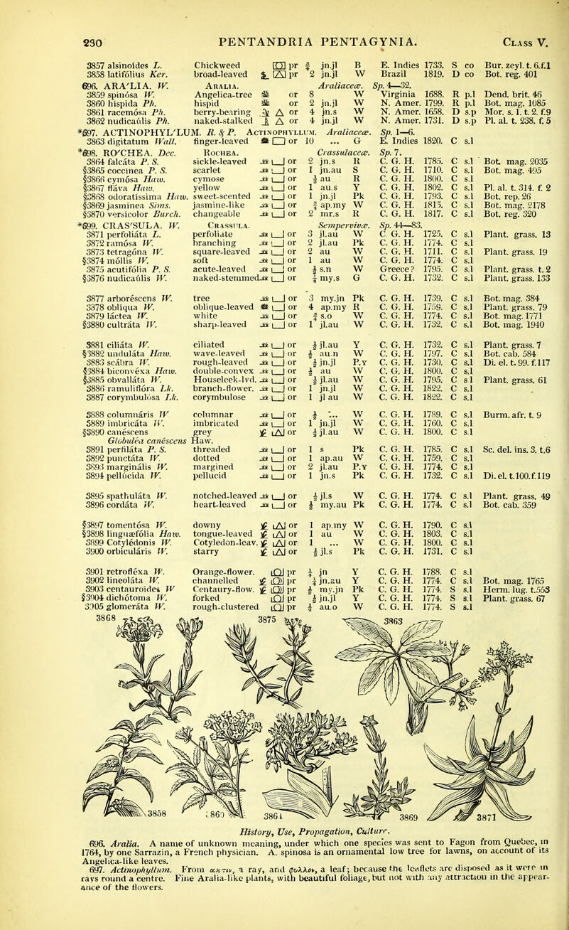 3857 alsinoides L. Chickweed EH pr 3858 latifolius Ker. broad-leaved %_ (23 P> 696. ARA'LIA. W. Aralia. 3859 spinosa W. Angelica-tree 3t 3860 hispida Ph. hispid 36s 3861 racemosa Ph. berry-bearing ^ 3862 nudicaulis Ph. naked-stalked _£ *697. ACTINOPHYL'LUM. R. % P. Actin 3863 digitatum Wall. *698. RO'CHEA. Dec. 3861 falcata P. S. §3865 coccinea P. S. §3866 cymosa Haw. §3867 fl'ava Haw. finger-leaved Rochea. sickle-leaved scarlet cymose yellow A or 4 A or 4 OPHVLLUM 1 □ or 10 Jt± i J or §3868 odoratissima Haw. sweet-scented §3869 jasminea Sims. §3870 versicolor Burch. *699. CRAS'SULA. IV. 3871 perfoliate L. 3872 ramosa W. 3873 tetragona W. §3874 mollis W. 3875 acutifolia P. S. §3876 nudicaulis W. 3877 arborescens IV. 3378 obliqua W. 38791actea W. §3880 cultrata W. jasmine-like changeable Jtk \ | or Crasshla. perfoliate Jtk t I or branching Jtk | 1 or square-leaved Jtk i \ or soft Jtk i | or acute-leaved Jtk \ | or naked-stemmed-i* | | or tree Jtk \ | or oblique-leaved at i | or white Jtk | | or sharp-leaved jtk i | or jn.jl B 2 jn.jl W Araliacece. 8 W 2 jn.jl W 4 jn.s W 4 jn.jl W Araliacece. ... G Crasstt/acece. 2 jn.s It 1 jn.au i au 1 au.s 1 jn.jl f ap.iny W 2 mr.s R Sempervivie. 3 jl.au W E. Indies 1733. Brazil 1819. Sp. 4—32. Virginia 1688. N. Amer. 1799. N. Amer. ia58. N. Amer. 1731. S co Bur.zeyl.t.6.f.l D co Bot. reg. 401 S R Y Pk 2 jl.au 2 au 1 au £ s.n i my.s Pk W W W G 3 my.jn Pk 4 ap.my R } s.o W 1 jl.au W R p.l R p.l D s.p D s.p C C c c c C. G. H. Sp. 44—83. C G. H. C. G. H. C. G. H. C. G. H. Greece ? C. G. H. C. G. H. C. G. H. C. G. H. C. G. H. 1785. 1710. 1800. 1802. 1793. 1815. 1817. 1725. 1774. 1711. 1774. 1795. 1732. Dend. brit. 46 Bot. mag. 1085 Mor. s. 1.1.2. f.9 PI. al. t. 238. f. 5 Sp. 1—6. E. Indies 1820. C s.l Sp.L C. G. H. G. H. G. H. G. H. G. H. G. H. C s.l  Bot. mag. 2035 C s.l Bot. mag. 495 C s.l C s.l PI. al. t. 314. f. 2 C s.l Bot. rep. 26 C s.l Bot. mag. 2178 C s.l Bot. reg. 320 1739. C s.l 1759. C s.l 1774. C s.l 1732. C s.l Plant. is. 13 Plant, grass. 19 Plant, grass, t. 2 Plant, grass. 133 Bot. mag. 384 Plant, grass. 79 Bot. mag. 1771 Bot. mag. 1940 3881 ciliata IV. §3882 undulata Haw. 3883scabra W. §3884 biconvexa Haw. §3885 obvallata W. 3886 ramuliflora Lh. 3887 corymbulusa IJc. ciliated j* i | or wave-leaved _aa i ] or rough-leaved jfck i | or double-convex j& \ | or Houseleek-lvd. Jck \ | or branch-flower. Jet \ | or corymbulose Jet \ J or 5XS!) 3891 3892 3893 3894 columnaris JV columnar j* | i or imbricata W. imbricated J* | i or canescens grey £ iA] or Globulea can6scens Haw. perfilata P. S. threaded Jtk \ | or punctata W. dotted ja \ | or marginalis W. margined -±t \ | or pellucida W. pellucid Jdt \ | or 4jl.au i au.n i jn.jl i au I jl.au 1 jn.jl 1 jl au 1 jn.jl \ jl.au Y W P.Y W W w w w w w 1 s Pk 1 ap.au W 2 jl.au P.Y 1 jn.s Pk C. G. H. C. G. H. C. G. H. C. G. H. C. G. H. C. G. H. C. G. H. C. G. H. C. G. H. C. G. H. C. G. H. C. G. H. C. G. H. C. G. H. 1732. C s.l 1797. C s.l 1730. C s.l 1800. C s.l 1795. C si 1822. C s.l 1822. C s.l 1789. C s.l 1760. C s.l 1800. C s.l 1785. C s.l 1759. C s.l 1774. C s.l 1732. C s.l Plant, grass. 7 Bot. cab. 584 Di. el. t.99.f.H7 Plant, grass. 61 Burm. afr. t 9 Sc. del. ins. 3. t.6 Di.el.t.l00.f.ll9 3895 spathulata W. notched-leaved jck \ | or 3896 cordata W. heart-leaved J* \ | or |jl.s W £ my.au Pk C. G. H. C. G. H. 1774. C s.l 1774. C s.l Plant, grass. 49 Bot. cab. 359 §3897 tomentosa JV. downy j£ lAI or 1 ap.my W C. G. H. 1790. C s.l §3898 linguaefolia Haw. tongue-leaved £ iAl or 1 au W C. G. H. 1803. C s.l 3R9y Cotyledonis IV. Cotyledon-leav. £ lAJ or 1 — W C. G. H. 1800. C s.l 3900 orbicularis IV. starry £ iAJ or i jl.s Pk C. G. H. 1731. C s.l 3901 retroflexa W. 3902 lineolata W. 3903 centauroides \V §3004 dichotoma W. 3905 glomerata W. 38G8 Orange-flower. iQJ pr channelled £ OJ pr Centaury-flow. £ Q] pr forked i£U pr rough-clustered |£}J pr J jn.au my.jn jn.jl au.o Y Y Pk Y W C. G. H. C. G. H. C. G. H. C. G. H. C. G. H. 1788. 1774. 1774. 1774. 1774. Bot. mag. 1765 Herm. lug. t.553 Plant, grass. 67 3864 v 3869 History, Use, Propagation, Culture. 696. Aralia. A name of unknown meaning, under which one species was sent to Fagon from Quebec, in 1764, by one Sarrazin, a French physician. A. spinosa U an ornamental low tree for lawns, on account of its Angelica-like leaves. 697. Actinophyilum. From a ray, anil snXXn, a leaf; because the leaflets arc disposed as it weic in rays round a centre. Fine Aralia.like plants, with beautiful foliage, but not with any attraction in Hie appear- ance of the flowers.