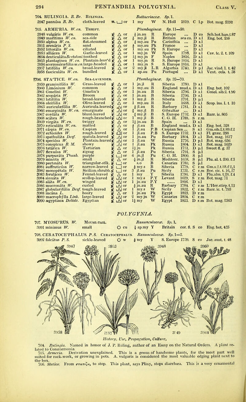 704. RULINGIA. R.Br. Rulingia. Buttneriacece. Sp. 1. 3947 pannosa R. Br. cloth-leaved L_J or 1 my W N. Holl 1819. C l.p 705. ARME'RIA. TV. en. Thrift. PlumbaginetE. Sp. 11—20. 3948 vulgaris TV. en. common If A or j jn.au R Europe ... D CO 3949 marltima TV. en. sea-side A or my.jl R t >i i i.iui sea co D s.l 3950alpina TV. en. flat-stemmed A or i my.au Pu Carinthia ... i) s.l 3951 arenaria P. S. sand A or X my.au Pk France D S.1 3952 littoralis TV. en. ciliated A or 1 my. au Pk S. Europe ... D S.1 3953alliacea TV. Garlic-leaved A or 1 my.jn W Spain 1798. D s.1 3954 denticulata/ft'rfa/un/. toothed if A or 1;| my.jn F Naples 1816. I) s.1 3955 plantaginea TV. en. Plantain-IeaVd £ A or 1 my.jn R S. Europe 1816. D s.1 3956 scorzonerEefolia mj.mi. large-headed A or 1 my.jn S S. Europe 1816. I) s.1 3957 latifolia TV. en. broad-leaved A or 2 my.jl L.R Algarbia 1740. D p.l 3958 fasciculata W. en. bundled A or 1 ap.au Pu Portugal D s.1 f706. STA'TICE. W.en. 3959 graminifolia TV. 3960 Limonium TV. 3961 Gmelini TV. 3962 scoparia TV. 3963 latifolia TV. 3964 oleifolia TV. 3965 auriculaefolia TV. 3966 emarginata W. en. 3967cordata TV. 3968scabra TV. 39S9 virgata TV. en. 3970 reticulata TV. en. 3971 caspia TV. en. 3972 echioides TV. 3973 spathulata Desf. 3974 speciosa TV. 3975 conspicua B. M. 3976 tatarica TV. 3977 flexuosa TV. 3978 purpurata Thunb. 3979minuta TV. 3980 pectinata TV. S981 suffruticosa TV. 3982 monopetala TV. 3983 ferulacea TV. 3984sinuata TV. 3985alata TV. en. 3986 mucronata TV. 3987 globularifolia Desf. 3988 incana L. 3989 macrophylla Link. 3990 aegyptiaca Delisle. Sea-lavender. Grass-leaved £ common ]£ Gmelin's £ Broom £ broad-leaved ]£ Olive-leaved j? Auricula-leaved^ emarginate )f blunt-leaved )£ rough-branched^ twiggy £ matted £ Caspian £ rough-leaved j£ spatula-leaved £ Plantain-leaved )£ showy j£ Tartarian £ zigzag £ purple H small £ triangular-stlk. £ narrow-leaved £ Sicilian-shrubb.£ Fennel-leaved £ scollop-leaved £ winged £ curled tough-leaved )£ hoary £ large-leaved £ Egyptian j£ A or A or A or A or A or A or /\ \ or _AJ or _AJ or lAl or A or A or A or OJ or jM or .A) or Al or A or A or L_J or A or I | or 1 I or I I or A or i Al or iAI or lAJ or i Al or A or iAI or i Al or Plumbaginets. 1 jn.jl R 1 my.au B 1 jn.au B 1 jn.au B 1 my.jl B 1 my.au R ijl.au R f my.jl B f my.jl B 1 my.jl B lijn.au B fjl.au B 1 jl.au P.B 1 jl.au P.B 1 jn.au Pu 1 jl.au W 1 jl.au Pk 1| jn Pk 1 jl.au Pu 6 jn.jl Pu i jn.jl R s.o B J my.s B 3 jl.au Pu 1 my Y 1 my.s P.Y 1 jn.au P.Y ljn.au R 1 my.s W 1 jn.au Pk 2 my.jn \V li my W 1796. 1791. 1688. 1781. Sp. 32—70. Siberia 1780. England mud.s. Siberia 1796. Siberia Siberia Italy Barbary Gibraltar S. Europe 1752. C. G. H. 1788. Spain England mud.s. Caspian Sea... S. Europe 1752. Barbary 1804. Russia Russia Russia Siberia C. G. H. Mediterr. Canaries Siberia Sicily Siberia Levant Barbary Sicily Egypt Canaries Egypt 1776. 1804. 1731. 1791. 1800. 1658. 1780. 1779. 1731. 1796. 1629. 1806. 1784. 1822. 1823. 1824. 1823. D s.1 D s.l D s.l D s.1 D p.l D s.1 D s.1 D s.1 D s.l S r.m D s.1 D s.1 S s.l D s.1 D s.1 D p.l D s.1 D p.l S p.l S p.l S p.l S p.l C r.m C r.m D s.l S r.m D s.l C r.m C r.m D r.m C r.m D r.m Sch.bot.han.t.87 Eng. bot. 2i!6 Cav. 1c. 2. 1.109 Jac. vind. 1. t. 42 Vent. eels, t.38 Eng. bot. 102 GmeL sib.2. t.90 Scop. ins. 1. t. 10 Barr. ic. 805 Eng. bot. 328 Gm.sib.2.t.89.f.2 Fl. gra;c. 298 Bot. mag. 1617 Bot. mag. 656 Bot. mag. 1629 Sweet fl. g. 37 Plu. al. t. 200. f.3 Gm.s.2.t.88.f.2,3 Boc. sic. 1.16,17 Plu.alm. t.28. f.4 Bot. mag. 71 L'Her.stirp. t.13 Barr.ic. t.793 Bot. mag. 2363 POLYGYNIA. 707. MYOSU'RUS. TV. 3991 minimus TV. Mouse-tail. Banunculacece. Sp. 1. small O cu i ap.my Y Britain cor. fi. S co Eng. bot. 435 708. CERATOCE'PHALUS. P.S. Ceratocephalus. Ranunculacece. Sp.1—2. 3992 falcatus P. S. sickle-leaved O w i my Y S. Europe 1739. S co Jac. aust t. 48 3947 Arfk >953 neum 3948 ruy 3.960 History, Use, Propagation, Culture, 704. Rulingia. Named in honor of J. P. Ruling, author of an Essay on the Natural Orders. A plant re- lated to Cominersonia. 705. Armeria. Derivation unexplained. This is a genus of handsome plants, for the most part well suited for rock-work, or growing in pots. A. vulgaris is considered the most valuable edging plant next to the box. 706. Statice. From rmrrtTfii, to stop. This plant, says Pliny, stops diarrhoea. This is a very ornamental