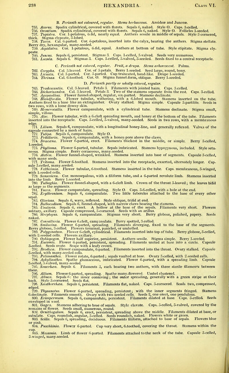 B. Perianth not coloured, regular. Stems herbaceous. Aroidese and Juncete. 755. Acorus. Spadix cylindrical, covered with florets. Sepals 6, naked. Style O. Caps. 3-celled. 756. Orontium. Spadix cylindrical, covered with florets. Sepals 6, naked. Style O. Follicles 1-seeded. 757. Tupistra. Cor. 1-petalous, 6-fid, nearly equal. Anthers sessile in middle of sepals. Style 3 cornered, thick. Stigma clypeate, 3-lobed. 758. Tacca. Cal. 6-parted. Cor. 6-petalous, inserted into the calyx, bearing the anthers. Stigma stellate. Berry dry, hexangular, many-seeded. 759. Aspidistra. Cor. 1-petalous, 6-fid, equal. Anthers at bottom of tube. Style stipitate. Stigma cly- peate. 760. Juncus. Sepals 6, persistent. Stigmas 3. Caps. 1-celled, 3-valved. Seeds very numerous. 761. Luzula. Sepals 6. Stigmas 3. Caps. 1-celled, 3-valved, 3-seeded. Seeds fixed to a central receptacle. C. Perianth not colored, regular. Fruit, a drupa. Stems arborescent. Palms. 762. Corypha. Cal. 3-leaved. Cor. of 3-petals. Berry 1-seeded. Seed large, round, bony. 763. Licuala. Cal. 3-parted. Cor. 3-parted. Cup truncated, band-like. Drupe 1-seeded. 764. Thrinax. Cal. 6-toothed. Cor. O. Stigma funnel-form, oblique. Berry 1-seeded. D. Perianth partly or wholly colored, regular. 765. Tradescantia. Cal. 3-leaved. Petals 3. Filaments with jointed hairs. Caps. 3-celled. 766. Dichorizandra. Cal 3-leaved. Petals 3. Two of the stamens separate from the rest. Caps. 3-celled. 767. Agapanthus. Flower funnel-shaped, regular, six-parted. Stamens declinate. 768. Ulandfo) dia. Flower tubular, withering, with a 6-lobed mouth. Stamens inserted on the tube. Anthers fixed to a base like an extinguisher. Ovary stalked. Stigma simple. Capsule 3-partible. Seeds in two rows, with a loose downy skin. 769. Hemerocallis. Flower campanulate, with a cylindrical tube. Stamens declinate. Stigma small, simple, villous. 770. Aloe. Flower tubular, with a 6-cleft spreading mouth, and honey at the bottom of the tube. Filaments inserted into the receptacle. Caps. 3-celled, 3-valved, many-seeded. Seeds in two rows, with a membranous edge. 771. Lilium. Sepals 6, campanulate, with a longitudinal honey-line, and generally reflexed. Valves of the capsule connected by a mesh of hairs. 772. Tulipa. Sepals 6, campanulate. Style O. 773. Fritillaria. Sepals 6, campanulate, with a honey-pore above the claws. 774. Dracaena. Flower P-parted, erect. Filaments thickest in the middle, or simple. Berry 3-celled, 1-seeded. 775. Phyltoma. Flower 6-parted, tubular. Sepals imbricated. Stamens hypogynous, included. Style seta- ceous. Stigma simple. Berry coriaceous, many-seeded. 776. Aletris. Flower funnel-shaped, wrinkled. Stamens inserted into base of segments. Capsule 3-celled, with many seeds. 777. Tritoma. Flower 6-toothed. Stamens inserted into the receptacle, exserted, alternately longer. Cap- sule 3-celled, many-seeded. 778. I'eltheirnia. Flower tubular, 6-toothed. Stamens inserted in the tube. Caps, membranous, 3-winged, with 1-seeded cells. 779. Sanseviera. Cor. monosepalous, with a filiform tube, and a 6-parted revolute limb. Stamens inserted into the limb. Berry 1-seeded. 780. Tulbaghia. Flower funnel-shaped, with a 6-cleft limb. Crown of the throat 3-leaved; the leaves bifid as large as the segments. 781. Yucca. Flower campanulate, spreading. Style O. Caps. 3-6-celled, with a hole at the end. 782. Erythronium. Sepals 6, campanulate. Two little tubercles attached to the base of every other sepal. 783. Gloriosa. Sepals 6, wavy, reflexed. Style oblique, trifid at end. 784. Bulbocodium. Sepals 6, funnel-shaped, with narrow claws bearing the stamens. 785. Uvularia. Sepals 6, erect. A hollow at the base of the sepals. Filaments very short. Flowers solitary, axillary. Capsule compressed, 3-cornered. Seeds with an arillus. 786. Streptopus. Sepals 6, campanulate. Stigmas very short. Berry globose, polished, papery. Seeds naked. 787. Convallaria. Flower 6-cleft, campanulate. Berry spotted, 3-celled. 788. Smilacina. Flower 6-parted, spreading. Filaments diverging, fixed to the base of the segments. Berry globose, 3-celled. Flowers terminal, panicled, or umbelled. 789. Polygonatum. Flower 6-cleft, cylindrical. Filaments inserted into top of tube. Berry globose, 3-celled, with 2-seeded cells. Flowers axillary. 790. Ophiopogon. Flower half superior, persistent. Anthers sessile. Stigma simple. Berry 1-seeded. 791. Eucomis. Flower 6-parted, persistent, spreading. Filaments united at base into a circle. Capsule 3-celled. Seeds ovate. Scape with a leafy crown. 792. Brodiica, Flower campanulate, 6-parted. Filaments inserted into the throat. Ovary stalked. Capsule 3-celled, with many-seeded cells. 793. Peliosanthes. Flower rotate, 6-parted ; sepals vaulted at base. Ovary 3-celled, with 2-seeded cells. 794. Aphyllanthes. Spathe glumaceous, imbricated. Flower 6-parted, with a spreading limb. Capsule 3-celled, 3-valved, many-seeded. 795. Sowerbcea. Sepals 6. Filaments 3, each bearing two anthers, with three sterile filaments between them. 796. Allium. Flower 6-parted, spreading. Spathe many-flowered. Umbel clustered. 797. Atbuca. Sepals 6: the inner conniving; the outer spreading, generally with a green stripe at their back. Style 3-cornered. Seeds flat. 798. Xanthorrhcea. Sepals G, persistent. Filaments flat, naked. Caps. 3-cornered. Seeds two, compressed, edged. 799. Thysanotus. Flower 6-parted, spreading, persistent; with the inner segments fringed. Stamens 6-declinate. Filaments smooth. Ovary with two seeded cells. Seeds 2, one erect, one pendulous. 800. Eriospcrmum. Sepals 6, campanulutc, persistent. Filaments dilated at base. Caps. 3-celled\ Seeds enveloped in wool. 801. Gagea. Stamens adhering to base of sepals. Style clavate. Caps. 3-celled, 3-valved, covered by the remains of flower. Seeds small, numerous, round. 892. Ornithogalum. Sepals 6, erect, persistent, spreading above the middle. Filaments dilated at base, or subulate. Caps, roundish, angular, 3-celled. Seeds roundish, naked. Flowers white or green. 803. Scilla. Sepals 6, spreading, deciduous. Filaments filiform, attached to base of sepals. Flowers blue or pink. 804. Puschkinia. Flownr 6-parted. Cup very short, 6-toothed, covering the throat. Stamens within the cup. 805. Massonia. Limb of flower 6-parted. Filaments attached to the neck of the tube. Capsule 3-celled, 3-winged, many-seeded.