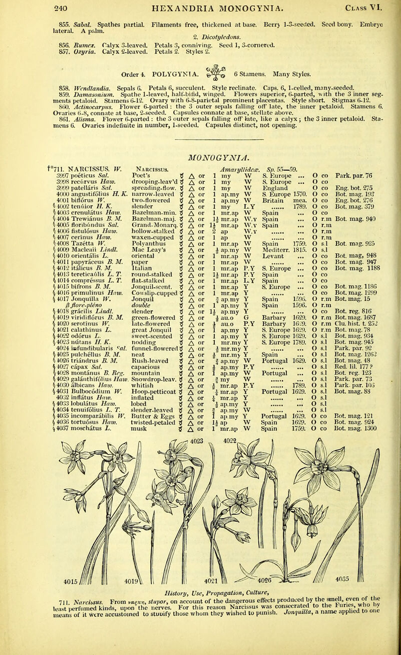 855. Sabal. Spathes partial. Filaments free, thickened at base. Berry 1-3-seeded. Seed bony. Embryo lateral. A palm. 2. Dicotyledons. 856. Rumex. Calyx 3-leaved. Petals 3, conniving. Seed 1, 3-cornered. 857. Oxyria. Calyx 2-leaved. Petals 2. Styles 2. Order i. POLYGYMI A. 6 Stamens. Many Styles. 858. Wcndlandia. Sepals G. Petals 6, succulent. Style reclinate. Caps. 6, 1-celled, many-seeded. 859. Damasonium. Spathe 1-leaved, half-bifid, winged. Flowers superior, 6-parted, with the 3 inner seg- ments petaloid. Stamens 6-12. Ovary with 6-8-parietal prominent placentas. Style short. Stigmas 6-12. 860. Actinocarpus. Flower 6-parted : the 3 outer sepals falling off late, the inner petaloid. Stamens 6. Ovaries 6-8, connate at base, 2-seeded. Capsules connate at base, stellate above. 861. Alisma. Flower 6-parted : the 3 outer sepals falling off late, like a calyx; the 3 inner petaloid. Sta- mens 6. Ovaries indefinite in number, 1-seeded. Capsules distinct, not opening. t*711. NARCISSUS. W. 3997 poeticus Sal. 3998 recurvus Haw. 3999 patellaris Sal. 4000 angustifolius H. K. 4001 biflorus W. 5 4002 tenuior H. K. 54003 crenulatus Haw. 5 4004 Trewianus B. M. 54005 floribundus Sal. 5 4006 fistulosus Haw. 5 4007 cerinus Haw. 54008 Tazetta W. 5 4009 Macleaii Lindl. 5 4010 orientalis L. 5 4011 papyraceus B. M. 54012 italicus B. M. 54013 tereticaolis L. T. 5 4014 comnressus L. T. 54015 bifrons B. M. 5 4016 primulinus Haw. 5 4017 Jonquilla IV. $ flore-pleno 54018 gracilis Lindl. 54019 viridiflorus B. M. 5 4020 serotinus W. 5 1021 calathinus L. 5 4022 odorus L. 54023 nutans //. K. 4024 iafundibularis al. 54025 pulchellus B. M. 5 4026 triandrus B. M. 5 4027 capax Sal. 54028 montanus B. Beg. 54029 galanthifolius Haw. 54030 albicans Haw. 54031 Bulbocodium W. 4032 in flatus Haw. 5 4033 lobulatus Haw. 5 4034 tenuifolius L. T. 5 4035 incomparabilis IV. § 4036 tortuosus Haw. % 4037 moschatus L. Na rcissus. Poet's ? drooping-leav'd spreading-flow. 5 narrow-leaved 5 two-flowered tf slender Bazelman-min. tf Bazelman-maj. 5 Grand-Monarq. 5 hollow-stalked waxen-cupped 5 Polyanthus Mac Leay's tf oriental paper 5 Italian $ round-stalked i flat-stalked tf Jonquil-scent. £f Cowslip-cupped Jonquil 5 double If slender green-flowered ?J late-flowered great Jonquil sweet-scented 5 nodding S funnel-flowered tf neat 5 Rush-leaved capacious 5 mountain 5 Snowdrop-leav. whitish Hoop-petticoat 5 inflated 5 lobed 5 slender-leaved Butter & Eggs tf twisted-petaled musk MONOGYNIA. Amaryllidece. A or 1 my W A or 1 my W A or 1 my w A or 1 ap.my w A or 1 ap.my w A or 1 my L.Y A or 1 mr.ap W A or 1| mr.ap W.Y A or \\ mr.ap W.Y A or 2 ap W.Y A or 1 ap w A or 1 mr.ap w A or \ ap.my w A or 1 mr.ap w ^ or 1 mr.ap vv A or 1 mr.ap P.Y A or 1| mr.ap PY A or 1 mr.ap L.Y A or 1 mr.ap Y A or 1 mr.ap Y A or f ap.my Y A or 1 ap.my Y A or H ap.my Y A or i au.o G A or J au.o P.Y A or 1 ap.my Y A or 1 ap.my Y A or 1 mr.my Y A or i mr.my Y A or | mr.my Y A or | ap.my W A or i ap.my P.Y A or 1 ap.my W A or f my W A or | mr.ap P.Y A or % mr.ap Y A or J mr.ap Y A or | ap.my Y A or | ap.my W A or 1 ap.my Y A or W A or 1 mr.ap W 1 4023 4022 Sp. 55—59. S. Europe ... S. Europe ... England S. Europe 1570. Britain mea. Spain Spain Spain 1789. 1759. Spain Mediterr. 181, Levant S. Europe ... Spain Spain S. Europe ... Spain Spain 1596. 1596. 162!). 16-9. Barbary Barbary S. Europe 1629. S. Europe 1629. S. Europe 1789. Spain Portugal 1629. Portugal Portugal 1789. 1629. Portugal 1629. Spain 1629. Spain 1759. O co O co O co O co O co O co O co O r.m O r.m O r.m O r.m O si O s.l O co O co O co O co O co O co O co O r.m O r.m O co O r.m O r.m O r.m O s.l O s.l O s.l O s.l O s.l O s.l O s.l O s.l O s.l O s.l O s.l O s.l O s.l O co O co O co Park. par. 76 Eng. bot. 275 Bot. mag. 193 Eng. bot. 276 Bot. mag. 379 Bot. mag. 940 Bot. mag. 925 Bot. mag, 948 Bot. mag. 947 Bot. mag. 1188 Bot. mag. 1186 Bot. mag. 1299 Bot. mag. 15 Bot. reg. 816 Bot. mag. 1687 Clu. hist. t. 252 Bot. mag. 78 Bot. mag. 934 Bot. mag. 945 Park. par. 92 Bot. mag. 1262 Bot. mag. 48 Red. lil. 177 ? Bot. reg. 123 Park. par. 73 Park. par. 106 Bot. mag. 83 Bot. mag. 121 Bot. mag. 924 Bot. mag. 1300 History, Use, Propagation, Culture, 711. Narcissus. From stujyor, on account of the dangerous effects produced by the ™el> fven, of the least perfumed kinds, upon the nerves. For this reason Narcissus was consecrated to the Furies, who by means of it were accustomed to stuoify those whom they wished to punish. Jonquilla, a name applied to one