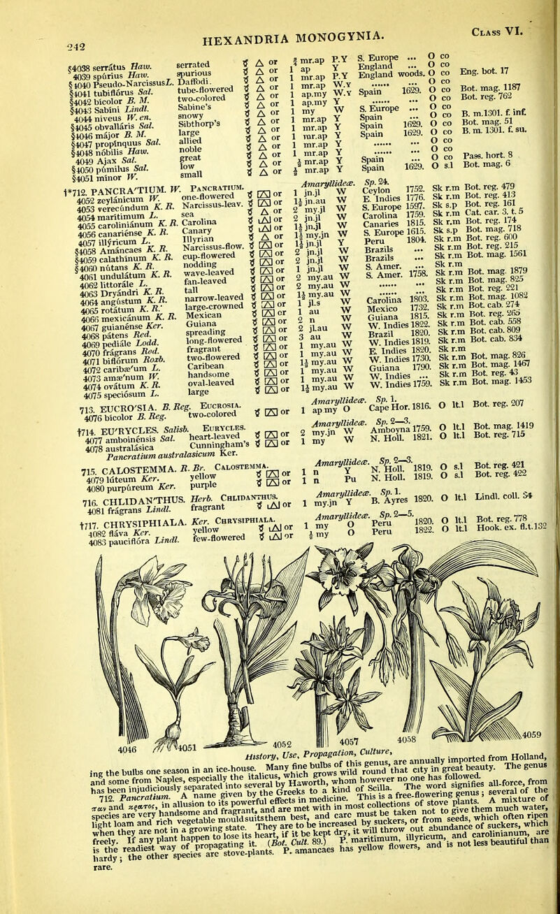 1242 54038 serratus, Haiv. serrated 4039 spurius Haw. ?PU°S §t040Pseudo-Narcissusi. Dattod- . cnt tiinp-n< HEXANDRIA MONOGYNIA. §4041 tubiflorus Sal. §4042 tricolor B. M. §404.3 Sab'ini Lindl. 4044niveus W. en. §4045 obvallaris Sal. §4046 major B. M. §4047 propinquus Sa(. §4048 nobilis Haw. 4049 Ajax Sa/. §4050 pumilus Sa/. §4051 minor IK tube-flowered two-colored Sabine's snowy Sibthorp'a large allied noble great low small A 01 A or A or A or A or A or A or A or A or A or A or A or A or A or I mr.ap P.Y 1 ap Y 1 mr.ap P.Y 1 mr.ap W.Y 1 ap.my W.Y 1 ap.my Y 1 my 1 mr.ap 1 mr.ap 1 mr.ap 1 mr.ap 1 mr.ap | mr.ap mr.ap W Y Y Y Y Y Y Y S. Europe ... England England woods, Spa'in 1629. S. Europe ... Spain Spain 1629. Spain 1629. Spain Spain 1629. O co O co O co O co O co O co O co O co O co O co O co O co O co O s.l Class VI. Eng. bot. 17 Bot. mag. 1187 Bot. reg. 762 B. m.1301. f. inf. Bot. mag. 51 B. m. 1301. f. su. Pass. hort. 8 Bot. mag. 6 ' « E)or 1*712 PANCRA'TIUM. TV. Pancratium, 4052 zeylanicum W. one-flowered . „ 405? verec6ndum K. B. NarcissusJeav. | E) or 4054 maritimum L. sea 4055 carolinianum K B. Carolina 4056 cananense A. H. b-.?nary 4057 illyricum L. §4058 Amancaes JUt Amaryttidece. 1 jn.jl W W W w §4059 calathinum K. H. 64060 nutans K. B. 4061 undulatum K. It. 4062 littorale L. 4063 Dryandn KB. 4064 angftstum A. U. 4065 rotatum K. B. 4066 mexicanum A. K. 4067 guianense Ker. 4068 patens Bed. 4069pediale Lodd. 4070 fragrans Bad. 4071 biflorum Boxb. 4072 caribas'um L. 4073 ama?'num W. 4074 ovatum K. B. 4075 speciosum L i lAI or Illyrian ? A or Narcissus-flow. 5 LAJ or cup-flowered tf L73 or nodding wave-leaved fan-leaved tall narrow-leaved large-crowned Mexican Guiana spreading long-flowered fragrant two-flowered Caribean handsome oval-leaved large 5 L?3 or S EH or tS 1A1 or 5 L73or 5 23 or tf L73er 5 (23 or S L73or S [23 or 5 123 or ? 123 or tf 173 or tf E3or tf L23or 5 [23 or 713 EUCRO'SIA. B. Beg. Eucrosia. 4076 bicolor B. Beg. two-colored 1} 173 or 1± jn/au 2 my.jl 2 jn.jl li jn.jl li my.jn W H jn.jl Y 2 jn.jl 2 jn.jl 1 jn.jl 2 my.au W 2 my.au W U my.au W 1 jl.s W 1 au 2 n 2 jlau 3 au 1 my.au W 1 my.au W 1| my.au W 1 my.au W 1 my.au W 1J my.au W Amaryllidece. 1 ap my O W W W w w w w w Sp. 24. Ceylon 1752. E. Indies 1776. S.Europe 1597. Carolina 1759. Canaries 1815. S. Europe 1615. Peru 1804. Brazils ... Brazils S. Amer. S. Amer. 1758. Carolina 1803. Mexico 1732. Guiana 1815. W. Indies 1822. Brazil 1820. W. Indies 1819. E. Indies 1820. W. Indies 1730. Guiana 1790. W. Indies ... W. Indies 1759. Sp.l Skr.m Sk r.m Sk s.p Sk r.m Sk r.m Sk s.p Sk r.m Sk r.m Sk r.m Sk r.m Sk r.m Sk r.m Sk r.m Sk r.m Sk r.m Sk r.m Sk r.m Skr.m Skr.m Sk r.m Sk r.m Sk r.m Sk r.m Sk r.m Bot. reg. 479 Bot. reg. 413 Bot. reg. 161 Cat. car. 3. t. 5 Bot. reg. 174 Bot. mag. 718 Bot. reg. 600 Bot. reg. 215 Bot. mag. 1561 Bot. mag. 1879 Bot. mag. 825 Bot. reg. 221 Bot. mag. 1082 Bot. cab. 274 Bot. reg. 265 Bot. cab. 558 Bot. cab. 809 Bot. cab. 834 Bot. mag. 826 Bot. mag. 1467 Bot. reg. 43 Bot. mag. 1453 Cape Hor. 1816. O lt.l Bot. reg. 207 ?! L73or t714. EU'RYCLES. Salisb. Eurycles. 4077 amboinensis Sal. heart-leaved v ^ Saustralasica Cunningham's * (23 or Pancratium australastcum Ker. 715. CALOSTEMMA. B. Br.<Calostemma 4079 Wteum Ker. yellow S^.or 4080purp6reum Ker. purple 5 IA) or 716. CHLIDAN:THUS. «»* 4081 fragrans Undl. tragrant w uii 1717. CHRYSIPHIAEA. J^O^nammx^ SgSSwSM lowered S^or Amaryllidete. 2 my.jn W 1 my W Sp. 2—3. n Amboynal759. O N. Holl. 1821. O Bot. mag. 1419 Bot. reg. 715 O s.l O s.l Bot. reg. 421 Bot. reg. 422 AmaryUidecB. Sp. 2—3. 1 n Y N. Holl. 1819. in Pu N. HoU. 1819. Amaryllidece. Sp. i. 1 my.jn Y B. Ayres 1820. AmaryUidece. Sp^-5 Bot. reg. 778 imy O Peru 1822. O 1U Lindl. coll. S* not. reg. / * c Hook. ex. fl.t.132 ,4059 mmmmmi rare.