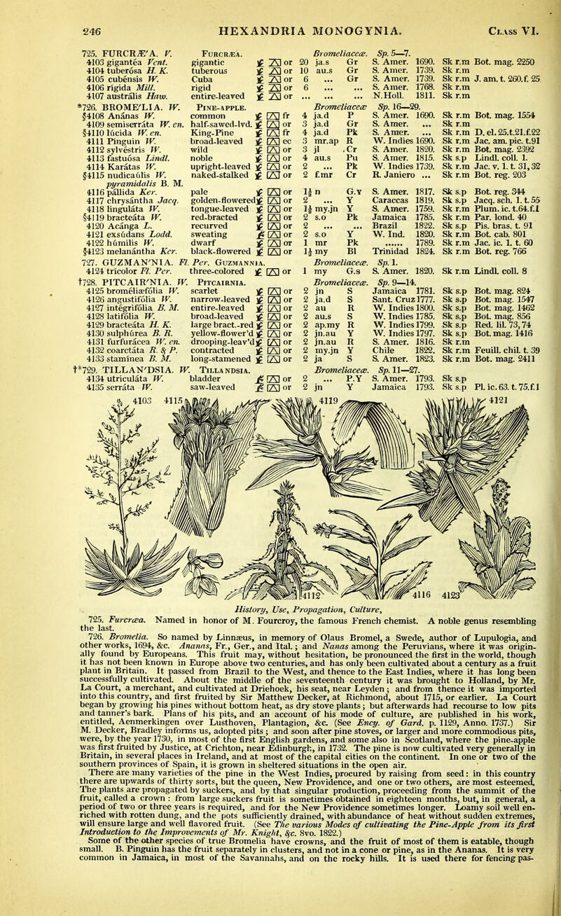 725. FURCRJE'A. V. 4103 gigantea Vent. 4104 tuberosa H. K. 4105 cubensis TV. 4106rigida Mill. 4107 australis Haw. *726. BROME'LIA §4108 Ananas IV. IK FURCR/EA. gigantic tuberous Cuba rigid entire-leaved Pine-apple. common £ 23 or £ 23 or £ 23 or £ SI or £ 23 or £ 23 fr 4109 semiserrata W. en. half-sawed-lvd. j£ [gn or §41101uxida W.en. 4111 Pinguin If: 4112 sylvestris IV. 4113 fastuosa I.indl. 4114 Karatas §4115 nudicautis W. pyramidalis B. M. 4116 pallida Ker. 4117 chrysantha Jrtcy. 4118 lingulata W. §4119bracteata W. 4120 Acanga L. 4121 exsfidans £<w/d. 4122 humilis W. §4123 melanantha Ker. 727. GUZMAN'NIA. 4124 tricolor Fl. Per. t728. PITCAIR'NIA. 4125 bromelia?folia IF. 4126 angustifolia IK 4127 integrifolia B. M. 4128 latifolia W. 4129 bracteata H. K. 4130 sulph6rea B. R. 4131 furfuracea W. en. 4132 coarctata R. & P. 4133 staminea B. M. t*729. TILLAN'DSIA. 4134 utriculata W. 4135serrata W. King-Pine ]£ (23 fr broad-leaved )£ [Z3 oc wild £ 1Z3 or noble £ 23 or upright-leaved £ 23 or naked-stalked ]£ 23 or pale <£ E] or golden-flowered^ 23 or tongue-leaved )£ 23 or red-bracted (23 or recurved ]f El or sweating ji El or dwarf ]£ 23 or black-flowered )£ 23 or £7. Per. Guzmannia. three-colored (23 or W. PlTCAIRNIA. scarlet £ (23 or narrow-leaved ]£ (23 or entire-leaved £ (23 or broad-leaved )£ (23 or large bract.-red )£ (23 or yellow-flower'd £ 23 or drooping-leav'd)£ 23 or contracted )£ [ZJ or long-stamened j£ 23 or W. TlLLANDSIA. bladder saw-leaved Bromeliacew. Sp. 5—7. 20 ja.s Gr S. Amer. 1690. 10 au.s Gr S. Amer. 1739. 6 Gr S. Amer. 1739. 6 S. Amer. 1768. N.Holl. 1811. Bromeliacetv qL i f* on op, lo—ay. 4 ja.d P ». Amer. loyu. 3 ja.d Gr S. Amer. ... 4 ja.d Pk S. Amer. 3 mr.ap R W. Indies 1690. 3 jl ,Cr o. Amer. loaU. 4 au.s Pu o. Amer. lola. 2 Pk vv. inaiesi/jy. 3 f.mr Cr K. Janiero ... »n G.Y c a ,v,AV ion o. Amer. loi/. 2 Y uaraccas loly. 1| my. in Y S. Amer. 1759. 2 s.o Pk Jamaica 1785. 2 Brazil 1822. 2 s.o Y  W. Ind. 1820. 1 mr Pk 1789. 1£ my Bl Trinidad 1824. Bromeliacete. Sp. 1. 1 my G.s & Amer. 1820. Bromeliacea?. Sp. 9—14. 2 jn S Jamaica 1781. 2 ja.d s Sant. Cruz 1777. 2 au R w. mcnes if5uu. 2 au.s S VY, IIIUK > J j1'.'. 2 ap.my R W. Indies 1799. 2 jn.au Y W. Indies 1797. 2 jn.au R S. Amer. 1816. 2 my.jn Y Chile 1822. 2 ja S & Amer. 1823. BromeltacecE. Sp. U—ZJ. 2 P.Y S. Amer. 1793. 2 jn Y Jamaica 1793. Sk r.m Bot. mag. 2250 Sk r.m Skr.m J.am.t. 260. f. 25 Sk r.m Sk r.m Sk r.m Bot. mag. 1554 Sk r.m Sk r.m D.el.2S.t.21.f.22 Sk r.m Jac. am. pic. t.9I Sk r.m Bot. mag. 2392 Sk s.p I,'null. coll. 1. Skr.m Jac. v. 1.1. 31,32 Sk r.m Bot. reg. 203 Sk s.p Bot. reg. 344 Sk s.p Jacq. sch. 1.155 Sk r.m Plum. ic. t.64.f.l Sk r.m Par. lond. 40 Sk s.p Pis. bras. t. 91 Sk r.m Bot. cab. 801 Sk r.m Jac. ic. 1. t. 60 Sk r.m Bot. reg. 766 Sk r.m LindL coll. 8 Sk s.p Bot. mag. 824 Sk s.p Bot. mag. 1547 Sk s.p Bot. mag. 1462 Sk sp Bot. mag. 856 Sks.p Red. lil. 73,74 Sk s.p Bot. mag. 1416 Sk r.m Sk r.m Feuill. chiL t. 39 Sk r.m Bot. mag. 2411 Sk s.p Sks.p Pl.ic.63.t.75.f.I History, Use, Propagation, Culture, 725. Furcrwa. Named in honor of M. Fourcroy, the famous French chemist. A noble genus resembling the last. 726. Bromelia. So named by Linnams, in memory of Olaus Bromel, a Swede, author of Lupulogia, and other works, 1694, &c. Ananas, Fr., Ger., and ItaL ; and Nanas among the Peruvians, where it was origin- ally found by Europeans. This fruit may, without hesitation, be pronounced the first in the world, though it has not been known in Europe above two centuries, and has only been cultivated about a century as a fruit plant in Britain. It passed from Brazil to the West, and thence to the East Indies, where it has long been successfully cultivated. About the middle of the seventeenth century it was brought to Holland, by Mr. La Court, a merchant, and cultivated at Driehoek, his seat, near Leyden ; and from thence it was imported into this country, and first fruited by Sir Matthew Decker, at Richmond, about 1715, or earlier. La Court began by growing his pines without bottom heat, as dry stove plants; but afterwards had recourse to low pits and tanner's bark. Plans of his pits, and an account of his mode of culture, are published in his work, entitled, Aenmerkingen over Lusthoven, Plantagion, &c. (See Ency. of Gard. p. 1129, Anno. 1737.) Sir M. Decker, Bradley informs us, adopted pits ; and soon after pine stoves, or larger and more commodious pits, were, by the year 1730, in most of the first English gardens, and some also in Scotland, where the pine-apple was first fruited by Justice, at Crichton, near Edinburgh, in 1732. The pine is now cultivated very generally in Britain, in several places in Ireland, and at most of the capital cities on the continent. In one or two of the southern provinces of Spain, it is grown in sheltered situations in the open air. There are many varieties of the pine in the West Indies, procured by raising from seed: in this country there are upwards of thirty sorts, but the queen, New Providence, and one or two others, are most esteemed. The plants are propagated by suckers, and by that singular production, proceeding from the summit of the fruit, called a crown : from large suckers fruit is sometimes obtained in eighteen months, but, in general, a period of two or three years is required, and for the New Providence sometimes longer. Loamy soil well en. riched with rotten dung, and the pots sufficiently drained, with abundance of heat without sudden extremes, will ensure large and well flavored fruit. (See The various Modes of cultivating the Pine-Apple from its first Introduction to the Improvements of Mr. Knight, $c. 8vo. 1822.) Some of the other species of true Bromelia have crowns, and the fruit of most of them is eatable, though small. B. Pinguin has the fruit separately in clusters, and not in a cone or pine, as in the Ananas. It is very common in Jamaica, in most of the Savannahs, and on the rocky hills. It is used there for fencing pas-