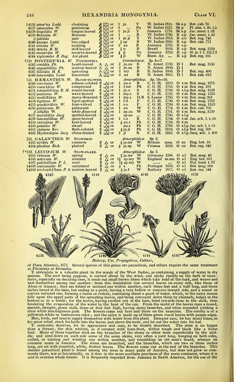 H136 amoe'na Lodd. 4137 usneoides W. §4138 lingulata W. 4139 flexuosa W. pallida 4140 anceps Lodd. 4141 nutans W. 4142 stricta B. M. 4143 recurvata W. 4144 xiphioides B. Reg. Air-plant t730. PONTEDE'RIA. W. Pontederu 4145 cordata Ph. 414fi angustifolia Ph. 4147 dilatata H, K. 4148 lanceolata Lodd. 731. HiEMANTHUS. W. Blood-floweh. 4149 eocclneus W. 8almon-colored tf 4150 coarctatus W. compressed 5 4151 rotundifolius B. M. round-leaved tf heart-leaved * A «' narrow-leaved A or spreading =fe 23 or lanceolate ^ 23 or i Al or i Al or i Al or wave-leaved S lAJ or many-flowered tf 23 or tiger-spotted i i Al or four-valved pubescent wh ite-Jlowcred spotted-leaved spear-leaved keel-leaved dwarf flesh-colored 4152 puniceus W. 4153 multiflorus W. 4154 tigrinus W. 4155 quadrivalvis W. 4156 pubescens W. palbiflos W. 4157 maculatus Jacq. 4158 lanceafolius IV. 4159 carinatus W. 4160pum'ilio W. 4161 carneus Ker. 4162 Hyalocarpus Jacq. china-fruited 732. GALAN'THUS. W. Snowdrop. 4163 nivalis W. 4164 plicatus Bieb. t*733. LEUCO'JUM. W. 4165 vernum W. 4166 ajst'ivum W. 4167 pulchellum P. L. ^4168 autumnale W. \4169 trkhophyllum P. S. narrow-leaved t i Al or 3 lAJor iAI or iAI or i Al or i Al or i Al or i Al or 5 iAI or 2 jn V W. Indies 181y. 6 Pu W. Indies 1823. 2 jn.jl Y Jamaica 1776. 1 B W. Indies 1790. 1 jn jl Y W. Indies 1815. ap B W. Indies 1820. 2* au B Jamaica 1793. n B Brazil 1810. i Jl Pu Jamaica 1793. iii W Buen. Ay Commelhieae. Sp. 4—7. 2 jn.au B N. Amer. 1759. 2 jn.au B N. Amer. 1806. 2 my B E. Indies 1806. 2 au B N. Amer. 1815. Amaryllidece. Sp. 14—16. 1 au.o R C. G. H. 162.'). 1 f.mr Pk C. G. H. 1795. 1 jn.o S C. G. H. 1790. 1 my.s s C. G. H. 1722. 1 my.s D.R S. Leone 1783. 1 f.d F C. G. H. 1790. 1 s.o F C. G. H. 1790. 1 au W C. G. H. 1774. 1 ap.au W C. G. H. 1791. ap.au C. G. H. 1790. 1 s.o R C. G. H. 1794. X au.s Pk C. G. H. 1759. au.s Pk C. G. H. 1789. j jn.jl Pk C. G. H. 1819. 1 jl R C. G. H. 1822. Sk s.p Bot. cab. 76 Sk p PI. aim. t. 26.1.5 Sk s.p Jac. amer. t. 62 R s.p Jac. amer. t. 63 R s.d Bot. reg. 749 R s.p Bot. cab. 771 R s.p R s.p Bot. mag. 1529 R s.p SI. ja. 1.1.121.f.I R s.p Bot. reg. 105 D 1 Bot. mag. 1156 D 1 D I Bot. rep. 490 D 1 Bot. cab. 613 common plaited Snow-flake, spring Amutryllidece. Sp. 2. | ja.mr W Britain \ ja.ap W Crimea mea. 1818. O r.m O r.m O s.Lp O r.m O r.m O r.m O r.m O r.m O r.m O s.l.p O r.m O r.m O s.l.p O s.Lp O s.l.p O co O co Bot. mag. 1075 Bot. reg. 181 Bot. mag. 1618 Bot. mag. 1315 Bot. mag. 961 Bot. mag. 1705 Bot. mag. 1523 Bot. cab. 702 Bot. mag. 1239 60 Jac. sen. 1.1. Jac. sch. 1.1.61 Bot. reg. 509 Jacq. sch. t. 409 Eng. bot. 19 Bot. reg. 545 Amaryllidete. Sp. 5. | ja.mr W Germany 1596. O s.l England m.me. O s.l O s.l Portugal 1629. O s.l Barbary 1812. O s.l 4136 ^WmBMr / ^^'4140^Hr^ X 4144^^^ i 142- History, Use, Propagation, Culture, of Flora Aboensis, 1673. Several species of this genus are parasitical, and others require the same treatment as Pitcairnia or Bromelia. T. utriculata is a valuable plant in the woods of the West Indies, as containing a supply of water in dry seasons. The seed being pappose, is carried about by the wind, and sticks readily on the bark of trees: there, especially on decaying ones, it sends out small brown fibres which take hold of the bark, and weave and mat themselves among one another: from this foundation rise several leaves on every side, like those of Aloes or Ananas; they are folded or inclosed one within another, each three feet and a half long, and three inches broad at the base, but ending in a point, having a very hollow or concave inward side, and a round or convex outward one, forming a bason or cistern, containing about a quart of water, which, in the rainy season falls upon the upper parts of the spreading leaves, and being conveyed down them by channels, lodges in the bottom as in a bottle; for the leaves, having swelled out at the base, bend inwards close to the stalk, thus hindering the evaporation of the water by the heat of the sun. From the midst of the leaves rises a round, smooth, straight, green stalk, three or four feet high, having many branches, and when wounded yielding a clear white mucilaginous gum. The flowers come out here and there on the branches. The corolla is of a yellowish-white or herbaceous color; and the calyx is made up of three green viscid leaves with purple edges. Men, birds, and insects supply themselves with water from this plant. Dampier says, he has many times, to his great relief, stuck his knife into the leaves just above the roots, and let out the water into his hat. T. usneoides deserves, for its appearance and uses, to be shortly described. The stem is no bigger than a thread; the skin whitish, as if covered with hoar-frost, within tough and black like a horse hair. Many of these together stick on the branches of the ebony or other trees superficially by the mid- dle, and send down on each side some of the same stems, very often a yard long, hanging on both sides, curled, or turning and winding one within another, and resembling an old man's beard, whence its common name in Jamaica. The stems are branched, and the branches, which are two or three inches long, are set with roundish, white, frosted leaves. The flowers come out at the end of the branches. This slender parasitical plant is found among the trees in many parts of Jamaica, but does not grow so com- monly there, nor so luxuriantly, as it does in the more northern provinces of the main continent, where it is said to overrun whole forests. It is frequently imported from Jamaica to North America, for the use of the