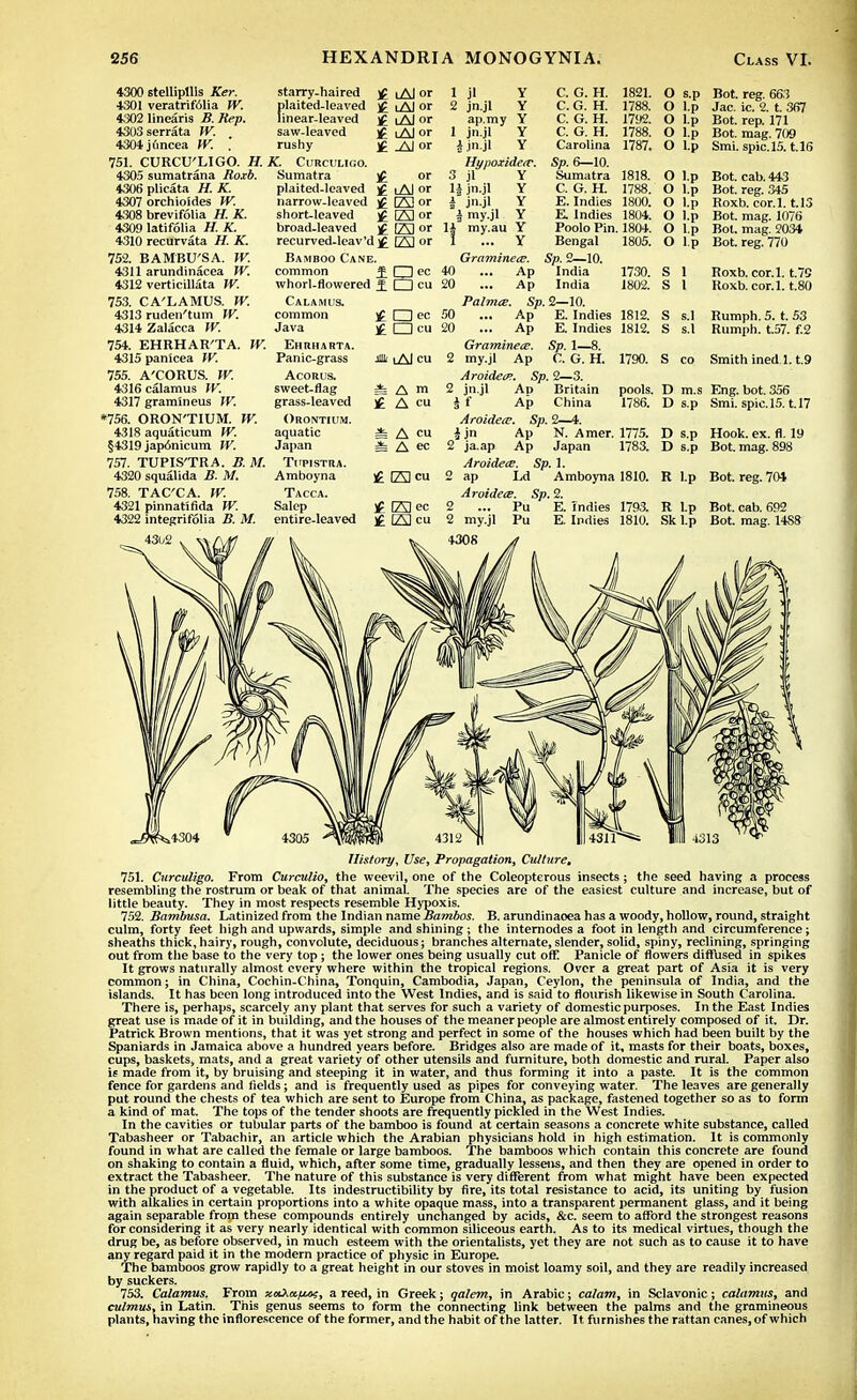 4300 stellipllis Ker. 4301 veratrif61ia W. 4302 linearis B. Rep. 4303serrata W. 4304juncea W. . 751. CURCU'LIGO. H. 4305 sumatrana Roxb. 4306 plicata H. K. 4307 orchioides W. 4308 brevifolia H. K. 4309 latifolia H. K. 4310 recurvata H. K. 752. BAMBU'SA. W. 4311 arundinacea W. 4312 verticillata W. 753. CA'LAMUS. W. 4313 ruden'tum W. 4314 Zalacca W. 754. EHRHAR'TA. W. 4315 panicea W. 755. A'CORUS. W. 4316 calamus W: 4317 gramineus IV. *756. ORON'TIUM. W. 4318 aquaticum W. §4319 japonicum W. 757. TUPIS'TRA. B. M. 4320 squalida B. M. 758. TAC'CA. W. 4321 pinnatifida fT. 4322 integrifolia B. M. 4302 starry.haired plaited-leaved linear-leaved saw-leaved rushy X. Curculigo. Sumatra plaited-leaved narrow-leaved short-leaved broad-leaved recurved-leav'd £ Bamboo Cane. common 5: whorl-flowered ^ Calamus. common £ Java £ Ehrharta. Panic-grass Acorus. sweet-flag grass-leaved Orontium. aquatic Japan Tl'PISTRA. Amboyna Tacca. Salop entire-leaved lAl or iAI or i Al or i Al or Al or or i Al or ESor US} or fAI or USI or CJcc □ cu Oec □ cu 1 ji y 2 jn.jl Y ap.my Y 1 jn.jl Y 4 jn.jl Y Hypoxidetv. 3 jl H jn.jl i jn.jl a my.jl 14 my.au Y Y Y Y Y Y Graminece. ... Ap ... Ap C. G. H. C. G. H. C. G. H. C. G. H. Carolina Sp. 6—10. Sumatra C. G. H. E. Indies E. Indies Poolo Pin. Bengal Sp. 2—10. India India Palmce. Sp. 2—10. 50 ... Ap E. Indies 20 ... Ap E. Indies Graminece. Sp. 1—8. my.jl Ap C. G. H. Aroidetn. Sp. 2—3. 2 jn.jl Ad Britain i I Ap China Aroidece. Sp. 2—1. i jn Ap N. Amer. 2 ja.ap Ap Japan Aroidece. Sp. 1. 2 ap Ld Amboyna Aroidece. Sp. 2. fAI ec 2 ... Pu E. indies 23 cu 2 my.jl Pu E. Indies 4308 1821. 1788. 1792. 1788. 1787. 1818. 1788. 1800. 1804. 1804. 1805. 1730. 1802. 1812. 1812. O s.p Bot. reg. 663 O l.p Jac. ic. 2. t. 367 O l.p Bot. rep. 171 O l.p Bot. mag. 709 O l.p Smi. spic.15.1.16 O l.p Bot. cab. 443 O l.p Bot. reg. 345 Roxb. cor.l. 1.13 Bot. mag. 1076 O l.p O l.p O l.p O l.p Bot. mag. 2034 BoL reg. 770 Roxb. cor.l. t.75 Roxb. cor.l. t.80 S s.l Rumph. 5. t. 53 S s.l Rumph. t.57. f.2 * iAI cu 2 * A m £ A cu i A cu == A ec £ Ea cu 1790. S co Smith ined l. t.9 pools. 1786. 1775. 1783. D m.s Eng. bot. 356 D s.p Smi. spic.15.1.17 D s.p Hook. ex. fl. 19 D s.p Bot. mag. 898 1810. R l.p Bot. reg. 704 1793. 1810. R l.p Bot. cab. 692 Sk l.p Bot. mag. 14S8 History, Use, Propagation, Culture, 751. Curculigo. From Curculio, the weevil, one of the Coleopterous insects; the seed having a process resembling the rostrum or beak of that animal. The species are of the easiest culture and increase, but of little beauty. They in most respects resemble Hypoxis. 752. Bambusa. Latinized from the Indian name Bambos. B. arundinaoea has a woody, hollow, round, straight culm, forty feet high and upwards, simple and shining ; the internodes a foot in length and circumference; sheaths thick, hairy, rough, convolute, deciduous; branches alternate, slender, solid, spiny, reclining, springing out from the ba6e to the very top; the lower ones being usually cut off! Panicle of flowers diffused in spikes It grows naturally almost every where within the tropical regions. Over a great part of Asia it is very common; in China, Cochin-China, Tonquin, Cambodia, Japan, Ceylon, the peninsula of India, and the islands. It has been long introduced into the West Indies, and is said to flourish likewise in South Carolina. There is, perhaps, scarcely any plant that serves for such a variety of domestic purposes. In the East Indies great use is made of it in building, and the houses of the meaner people are almost entirely composed of it. Dr. Patrick Brown mentions, that it was yet strong and perfect in some of the houses which had been built by the Spaniards in Jamaica above a hundred years before. Bridges also are made of it, masts for their boats, boxes, cups, baskets, mats, and a great variety of other utensils and furniture, both domestic and rural. Paper also is made from it, by bruising and steeping it in water, and thus forming it into a paste. It is the common fence for gardens and fields; and is frequently used as pipes for conveying water. The leaves are generally put round the chests of tea which are sent to Europe from China, as package, fastened together so as to form a kind of mat. The tops of the tender shoots are frequently pickled in the West Indies. In the cavities or tubular parts of the bamboo is found at certain seasons a concrete white substance, called Tabasheer or Tabachir, an article which the Arabian physicians hold in high estimation. It is commonly found in what are called the female or large bamboos. The bamboos which contain this concrete are found on shaking to contain a fluid, which, after some time, gradually lessens, and then they are opened in order to extract the Tabasheer. The nature of this substance is very different from what might have been expected in the product of a vegetable. Its indestructibility by fire, its total resistance to acid, its uniting by fusion with alkalies in certain proportions into a white opaque mass, into a transparent permanent glass, and it being again separable from these compounds entirely unchanged by acids, &c. seem to afford the strongest reasons for considering it as very nearly identical with common siliceous earth. As to its medical virtues, though the drug be, as before observed, in much esteem with the orientalists, yet they are not such as to cause it to have any regard paid it in the modern practice of physic in Europe. The bamboos grow rapidly to a great height in our stoves in moist loamy soil, and they are readily increased by suckers. 753. Calamus. From x<nXa/M;, a reed, in Greek; qalem, in Arabic; calam, in Sclavonic; calamus, and culmus, in Latin. This genus seems to form the connecting link between the palms and the gramineous plants, having the inflorescence of the former, and the habit of the latter. It. furnishes the rattan canes, of which