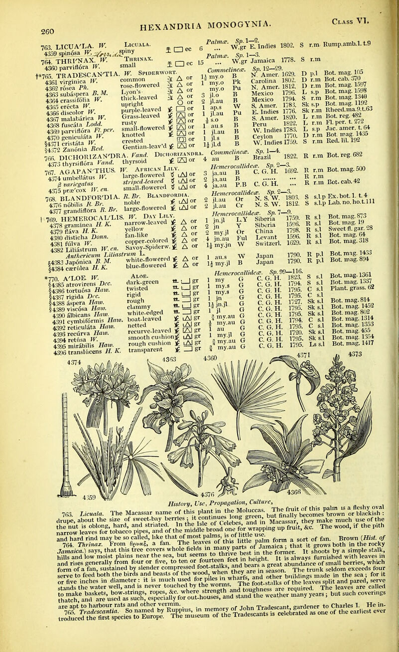 763 LICUA'LA. W. Licuala. 4359spin6sa V/,^u^spmy 764. THUI'NAX. W. Thrinax. 4360 parviflora W. HEXANDRIA MONOGYNIA. jnec 15 Palmce. Sp. 1—2. 6 ... W.gr E. Indies 1802. Palmce. Sp. 1-^3. t*7RT> TRADESCAN'TIA. W. Spiderwort. 4361 virginica W. common 4362 rosea Ph. 4363 subaspera 5. M. 4364 crassifolia W. 4365 erecta W. 4366 discolor W. 4367 malabarica IV. 4368 fuscata Lorfrf. 4360 parviflora F/.per. 4370 gcniculata W. §4371 cristata W. 54372 Zanonia Red. rose-flowered A Lyon's- 1 A or thick-leaved ^ A or upright O or purple-leaved £ L_J or Grass-leaved £ [A] or rusty £ Ej or small-flowered £ G3 or knotted £ ES or crested O or Gentian-leav'd £ [A] or H372 zanonia  766. DICHORIZAN'DRA. rand. D.chori^ndra 4373 thyrsiflora Vand. thyrsoid £ US or ipipAM'THUS IF. African Lily. 7S74Aumt^tus™ large-flowered | lAl or a „nriemtus striped-leaved S iAI or *3jf pSox ^ « sma'll-flowered 5 lAI or 768. BLANDFOR'DIA. R. Br. BLANDFORDIA jSSSSSSK* ^flowered i^or 4379fiava H.K. yellow £ A or 4380 disticha Donn. fan-hlf ,n , % % or A«i frilva W copper-colored A or U82 Lilllstrum TV. en. Sav'oy-Spiderw. £ A or JrtM; ^'^Xte-flowered £ A or blue-flowered £ A or Commelineaj. li my.o B 1 my.o my.o 3 jl.o 2 jl.au 1 ap.s 1 jl.au i so 1 au s 1 jl.au 1 jls Hjl-d W.gr Jamaica 1778. Class VT. S r.m Rump.amb.l. t.9 S r.m Pk Pu B B W Pu B B B B B Sp. 12—29. >T Amer. 1629. Carolina 1802. N. Amer. 1812. Mexico 1796. Mexico 1794. S. Amer. 178 3. E. Indies 1776. S. Amer. 1820. Peru 1822. W. Indies 1783. Ceylon 1770. W. Indies 1759. D p.l D r.m D r.m L s.p S r.m Sk s.p Sk r.m L r.m L r.m L s.p D r.m S r.m Bot. mag. 105 Bot. cab. 370 Bot. mag. 1597 Bot. mag. 1598 Bot. mag. 1340 Bot. mag. 1192 Rheed.ma.9.t.63 Bot. reg. 482 Fl. per. t. 272 Jac. amer. t. 64 Bot mag. 1435 Red. 111. 192 Sp. 1—4. Brazil 1822. Commelinece. 1 au B Hemerocallidece. Sp.2-3. 3 ja.au B C. G. H. 1692. 2 ja.au B • 4 ia.au P.B C. G. H. ... Hemerocallidece. Sp.S—3. 2 jl.au Or N. S. W. 1803. 2 jl.au Cr N. S. W. 1812. Hemerocallidece. Sp. 7—9. 1 jn.jl L.Y Siberia 1759. S4383 Japonica B. M. §4384 caerulea H. K. 2 jn 2 my.jl 4 jn.au 1£ my.jn 1 au.s li my.jl Y Or Ful \V W B Siberia China Levant Switzerl. Japan Japan 1506. 1798. 1596. 1629. 1790. 1790. R r.m Bot. reg 682 R r.m Bot. mag. 500 R r.m R r.m Bot. cab. 42 S s.l.p Ex. bot. 1. t.4 S s.l.p Lab. no. ho.t.lll R s.l Bot. mag. 873 R s.l Bot. mag. 19 R s.l Sweet fl. gar. 28 K s.l Bot. mag. 64 R s.l Bot. mag. 318 R p.l Bot. mag. 1433 R p.l Bot. mag. 894 *770. A'LOE W. §4385 atrovirens Dec §4386 tortuosa Haw. §4387 rigida Dec. §4388 aspera Haw. §4389 viscosa Haw. 4390 albicans Haw. 4391 cymbiformis Haw. boat-leaved 4392 reticulata Haw. netted 4393 recurva Haw. 4394 retiisa W. 4395 mirabilis Haw. 4396 transliicens H. A. Aloe. dark-green twisted rigid rough clammy white-edged «-!_|gr «-u_)gr «- l_J gr «- ZD gr «- L_l gr **- ZD gr £ lAlgr £ lAlgr recurve-leaved £ OS] gr smooth cushion^ iAI gr rough cushion £ iAI gr transparent ]£ ZD gr Hemerocallidece. Sp. 99—116.  G. H. 1823 1 my 1 my.s 1 my.s 1 jn H jn.jl 1 jl -J- my.au G a my.au G 1 au G 1 my.jl G 2 my.au G j my.au G C. G. H. C. G. H. C. G. H. C. G. H. C. G. H. C. G. H. C. G. H. C. G. H. C. G. H. C. G. H. C. G. H. 1794. 1795. 1795. 1727. 1795. 1795. 1794. 1795. 1720. 1795. 1795. S s.l S s.l C s.l C s.l Sk s.l Sk s.l Sk s.l C s.l C s.l Sk s.l Sks.l Ls s.l 4371 Bot. mag. 1361 Bot. mag. 1337 Plant, grass. 62 Bot. mag. 814 Bot. mag. 1452 Bot. mag. 802 Bot. mag. 1314 Bot. mag. 1353 Bot. mag. 455 Bot. mag. 1354 Bot. mag. 1417 4373 History, Use, Propagation, Culture, 763. Licuala. The Macassarnzrne of this plant to the ^^^^^J^^A^ drupe, about the size of sweet-bay berries: it contanlong they make much use of the «J^J&T3SMir'£ -p «*.&c- The wood-lf the pith and hard rind may be so called, like, that of most palms, of httae me rf ^ Brown (Hist, of 764. Thrinax. From a fan. The leaves ot tnK>'<- J , a . that it grows both in the rocky Jamaica.) says, that this tree covers whole fields in many parts ot J»™a^1 „ skhoots by a simple stalk, hills and low moist pla.ns near the sea, but seems to thrive nest in me ion furRlshed with leaves in and rises generally from four or five, to to|« «Sffii^Sffc5S? a great abundance of small berries which form of a fan, sustained by slender compresK^t-stalks, andl Dears a gre fe sddom exceeds four- serve to feed both the birds and beasts of the ^her buildings made in the sea ; for it ^^^^ are apt to harbour rats and other vermin. TrarWant eardener to Charles I. He in- jiSSSSSWfiSSS - one of the earliest ever