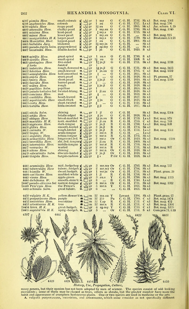 4397 4398 4399 4400 4401 4402 441)3 §4404 §441)5 §44015 §4407 pumila Haw. arachnoides Haw. radula Haw attenuata Haw. minima Haw. minor Haw. margaritifera H. K Haworthii Hort. bullulata Jacq. pseudo-rigida Salm. bicarinata Haw. small-cobweb cobweb raspy-pearl chalky-pearl least-pearl lesser-pearl larger-pearl largest-pearl blistered gunpowdered double-keeled £ LAJgr H LAlgr LAlgr LAlgr lAI gr LAlgr LAlgr lAJgr £ lAlgr 0-l_|gr §4408 spiralis Haw. §4409 spirella Haw. §4410 pentagona Haw. /3 torta §4411 imbricata Haw. §4412 foliolosa Haw. §4413 semiglabrata Haw. $4414 erecta Haw. §4415 brevis Haw. §4416 fasciata Ha w. 4417 scabra Haw. §4418 papillosa Salm. §4419 pseudo tortuosa Sal. §4420 conclnna Haw. §4421 cordifolia Haw. §4422 asperiuscula Haw. §4423 ciirta Haw. §4424 tortclla Haw. §4425 nltida Salm. §4426 setata Haw. §4427 obliqua Haw. §4428 maculata H. K. §4429 nigricans Haw. §4430 glabra Haw. §4431 carinata W. §4432 lingua W. §4433 angulata Haw. §4434 acinacifolia Haw. §4435 brevifolia Haw. §4436 intermedia Haw. §4437 verrucosa IV. §4458 nitens Haw. §4439 subcarinata i'nto. §4440 tftrgida Haw. 4441 acuminata Haw. 4442 tuberculata Haw 4443 humilis W. 4444 can'dicans Haw. 4445 vlrens Haw. 4446 dichotoma W. §4447 pseudo-afrieana Sal. §44-18 Prin'cipis Haw. 4449 echinata Sa/)«. great-spiral a. i small-spiral a.1 five-sided ml j twisted rough-flowered a.1 small-leaved a. 1 half-smoothed a_ \ erect-pearl a. i short-pearl a. i barred-pearl a. i rough tt. [ papillose a.1 twisted-triang. a.1 mat a. i heart-leaved a. i small-thick *1- i short-twisted a. i little-twisted a. i shining a. i bristle-edge<l a. broad-marbled a. narr.-marbled a. dark-tongue £ smooth-keeled ]£ rough-keeled ]g acute-tongue £ retuse-tongue £ longs word-lvd. a. sht.-lvd.-tonguej£ middle-tongue j£ warted j£ shining ]£ obscure-keeled )£ turgid-cushion £ 1 my 1 au 1| au 1 my.au f my.s 1 my.au 1 my.s 1 au U my.jn i ap.my I jn 1 au.s U au If jn.jl H jn jl 1 jn.au *j jl 1 1 jl.au i ... i □ gr Ogr lAI gr lAlgr lAJ gr LAJgr *I5 LAJgr lAgr tAlgr lAJ gr lAI gr LAJgr mid.-hedgehog tuberc.-hedgeh. dwarf'-hedgeh. marbled-white apple-green smooth-stem'd. narrow-tongue the Prince's great tuberc. £ lAI gr £ lAJ gr £ lAI gr H LAlgr £ lAJgr a.agr £ lAlgr £ lA gr a_Z]gr 4450 vulgaris H. K. yellow-flower'd a. | | m 4451 purpurascens Haw. purple J* i | m 4452 soccotrina Haw. soccotrine * i ] m 4453 arborescens H. K. tree * i | m §4454 ferox H. A'. great-hedgeh. a. | | gr §4455 suprala/vis HA', uprig.-hedgch. a. i | gr 4397 C. G. H. C. G. H. C. G. H. C. G. H. C. G. H. C. G. H. C. G. H. C. C. H. C. G. H. C. G. H. C. G. H. G C. G. H. G C. G. H. G C. G. H. ,gr 1 jl h jn l| jn.au 3 jl.au jn.jl 3 jn.jl 2 jn jl 3 mr.n 2 mr.n 3 mr.s 3 jl.au 2 mr.rr 2 mr.n 3 mr.n 2 jn.jl G G G G G G G G G G G G G G G G R R R R R R R Or R R R Or Or P.Gr C. G. H. C. G. H. C. G. H. C. G. H. C. G. H. C. G. H. C. G. H. C. G. H. C. G. H. C. G. H. C. G. H C. G. H. C. G. H. C. G. H. C. G. H. C. G. H. C. G. H. C. G. H. C. G. H. C. G. H. C. G. H. C. G. H. C. G. H. C. G. H. C. G. H. C. G. H. C. G. H. C. G. H. C. G. H. C. G. H. 1752. Sk s. 1727. Lss. 1805. Sks. 1790. Sks. 1725. Sks. ... Sk s. 1739. Sks. 1801. Sks. ... Sk s. ... Sk s. 1820. S s. 1790. S s. 1808. S s. 1731. Sks. 1731. Sk s. 1795. C s. 1811. Sk s. 1818. Sk s. 1810. Sks. 1818. Sks. 1818. Sks. 1820. Sks. 1818. Sks. 1818. Sk s. 1817. Sk s. 1818. Sks. 1816. Sks. 1817. Sks. Sks. 1818. Sks. 1759. Lss. 1759. C s. 1790. Lss. 17!'6. Sks. 1731. Ls s. Ls s. 1791. Sks. 1819. Sks. 1809. Sks. 1790. Sks. 1731. Sks. 1818. Sks. 1818. Sks. 1818. Sks. 3 mr.my Or C. G. H. 1795. Sks.] Bot. mag. 757 2 mr.my Or C. G. H. 1796. Sk s.l 1 mr.jn Or C. G. H. 1731. Sk s.l Plant, grass. 39 1 jl R C. G. H. 1796. Sk s.l 3 au.s Y C. G. H. 1790. Sk s.l Bot. mag. 1355 8 R C. G. H. 1780. Ls s.l 6 mr.n Or C. G. H. 1731. Sk s.l Bot. mag. 1322 5 mr.n Y C. G. H. 1821. Sks.l 6 C. G. H. 1821. Sks.l 12 my.au Y Levant 1596. Sk s.l Plant, grass. 27 12 jl.o Pu C. G. H. 1789. C s.l Bot. mag. 1474 12 f.ap R C. G. H. 1731. C s.l Bot. mag. 472 12 mr.n R C. G. H. 1731. C s.l Bot. mag. 1306 6 ap.my Y C. G. H. 1759. C s.l Bot. mag. 1975 5 Or C. G. H. 1731. S s.l Com.pra?.71. t.20 4412 -■^gJv 4411 History, Use, Propagation, Culture, many genei'a, but their opinion has not been adopted by men of science. The species consist of odd looking succulents ; some of them may be classed as trees, others as shrubs, but the greater number have more the habit and appearance of evergreen herbaceous plants. One or two species are used in medicine or the arts. A. vulgaris purpurascens, soccotrina, and arborescens, which some consider as not specifically different