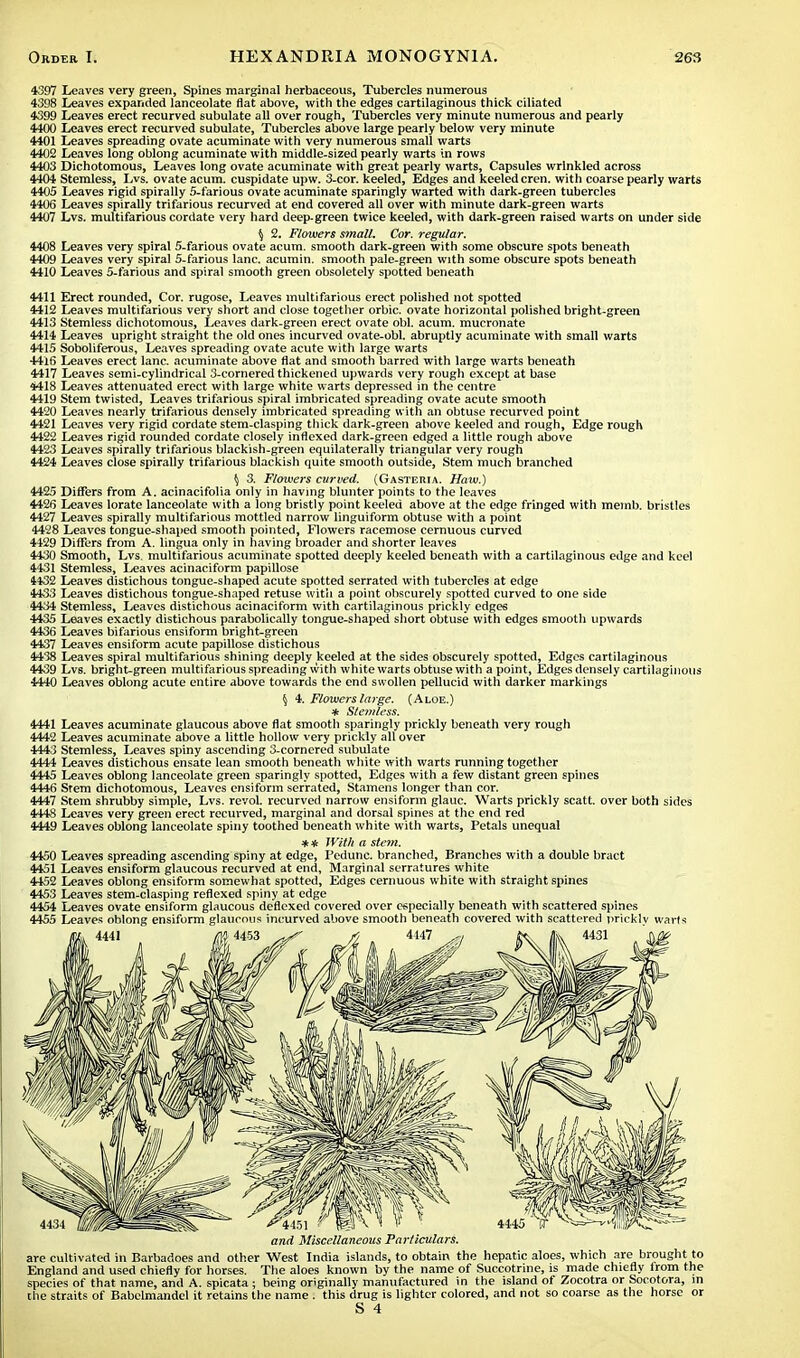 4397 Leaves very green, Spines marginal herbaceous, Tubercles numerous 4398 Leaves expanded lanceolate flat above, with the edges cartilaginous thick ciliated 4399 Leaves erect recurved subulate all over rough, Tubercles very minute numerous and pearly 4400 Leaves erect recurved subulate, Tubercles above large pearly below very minute 4401 Leaves spreading ovate acuminate with very numerous small warts 4402 Leaves long oblong acuminate with middle-sized pearly warts in rows 4403 Dichotomous, Leaves long ovate acuminate with great pearly warts, Capsules wrinkled across 4404 Stemless, Lvs. ovate acum. cuspidate upw. 3-cor. keeled, Edges and keeled cren. with coarse pearly warts 4405 Leaves rigid spirally 5-farious ovate acuminate sparingly warted with dark-green tubercles 4406 Leaves spirally trifarious recurved at end covered all over with minute dark-green warts 4407 Lvs. multifarious cordate very hard deep-green twice keeled, with dark-green raised warts on under side § 2. Flowers s?nall. Cor. regular. 4408 Leaves very spiral 5-farious ovate acum. smooth dark-green with some obscure spots beneath 4409 Leaves very spiral 5-farious lane, acumin. smooth pale-green with some obscure spots beneath 4410 Leaves 5-farious and spiral smooth green obsoletely spotted beneath 4411 Erect rounded, Cor. rugose, Leaves multifarious erect polished not spotted 4412 Leaves multifarious very short and close together orbic. ovate horizontal polished bright-green 4413 Stemless dichotomous, Leaves dark-green erect ovate obi. acum. mucronate 4414 Leaves upright straight the old ones incurved ovate-obl. abruptly acuminate with small warts 4415 Soboliferous, Leaves spreading ovate acute with large warts 4416 Leaves erect lane, acuminate above flat and smooth barred with large warts beneath 4417 Leaves semi-cylindrical 3-cornered thickened upwards very rough except at base 4418 Leaves attenuated erect with large white warts depressed in the centre 4419 Stem twisted, Leaves trifarious spiral imbricated spreading ovate acute smooth 4420 Leaves nearly trifarious densely imbricated spreading with an obtuse recurved point 4421 Leaves very rigid cordate stem-clasping thick dark-green above keeled and rough, Edge rough 4422 Leaves rigid rounded cordate closely indexed dark-green edged a little rough above 4423 Leaves spirally trifarious blackish-green equilaterally triangular very rough 4424 Leaves close spirally trifarious blackish quite smooth outside, Stem much branched § 3. Floivers curved. (Gasteria. Haw.) 4425 Differs from A. acinacifolia only in having blunter points to the leaves 4426 Leaves lorate lanceolate with a long bristly point keeled above at the edge fringed with memb. bristles 4427 Leaves spirally multifarious mottled narrow linguiform obtuse with a point 4428 Leaves tongue-shaped smooth pointed, Flowers racemose cernuous curved 4429 Diners from A. lingua only in having broader and shorter leaves 4430 Smooth, Lvs. multifarious acuminate spotted deeply keeled beneath with a cartilaginous edge and keel 4431 Stemless, Leaves acinaciform papillose 4432 Leaves distichous tongue-shaped acute spotted serrated with tubercles at edge 4433 Leaves distichous tongue-shaped retuse with a point obscurely spotted curved to one side 4434 Stemless, Leaves distichous acinaciform with cartilaginous prickly edges 4435 Leaves exactly distichous parabolically tongue-shaped short obtuse with edges 6mooth upwards 4436 Leaves bifarious ensiform bright-green 4437 Leaves ensiform acute papillose distichous 4438 Leaves spiral multifarious shining deeply keeled at the sides obscurely spotted, Edges cartilaginous 4439 Lvs. bright-green multifarious spreading with white warts obtuse with a point, Edges densely cartilaginous 4440 Leaves oblong acute entire above towards the end swollen pellucid with darker markings § 4. Flowers large. (Aloe.) * Stemless. 4441 Leaves acuminate glaucous above flat smooth sparingly prickly beneath very rough 4442 Leaves acuminate above a little hollow very prickly all over 4443 Stemless, Leaves spiny ascending 3-cornered subulate 4444 Leaves distichous ensate lean smooth beneath white with warts running together 4445 Leaves oblong lanceolate green sparingly spotted, Edges with a few distant green spines 4446 Stem dichotomous, Leaves ensiform serrated, Stamens longer than cor. 4447 Stem shrubby simple, Lvs. revol. recurved narrow ensiform glauc. Warts prickly scatt. over both sides 4448 Leaves very green erect recurved, marginal and dorsal spines at the end red 4449 Leaves oblong lanceolate spiny toothed beneath white with warts, Petals unequal ** With a stem. 4450 Leaves spreading ascending spiny at edge, Pedunc. branched, Branches with a double bract 4451 Leaves ensiform glaucous recurved at end, Marginal serratures white 4452 Leaves oblong ensiform somewhat spotted, Edges cernuous white with straight spines 4453 Leaves stem-clasping reflexed spiny at edge 4454 Leaves ovate ensiform glaucous deflexed covered over especially beneath with scattered spines 4455 Leaves oblong ensiform glaucous incurved above smooth beneath covered with scattered prickly warts 4441 M 4453 ^ fi 4447 A and Miscellaneous Particulars. are cultivated in Baibadoes arid other West India islands, to obtain the hepatic aloes, which are brought to England and used chiefly for horses. The aloes known by the name of Succotrine, is made chiefly from the species of that name, and A. spicata ; being originally manufactured in the island of Zocotra or Socotora, in the straits of Babelmandel it retains the name . this drug is lighter colored, and not so coarse as the horse or