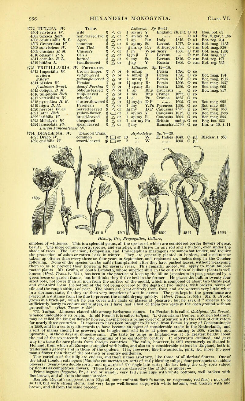 1772. TU'LIPA. W. 4504 sylvestris W. 4505 turcica Roth. 4506 oculus solis R. L. 4507 Gesneriana W. 4508 suaveolens W. 4509 clusiana B. M. 4510 celsiana P. S. 4511 cornuta R. L. 4512 biflora L. Tulip. wild nar.-waved-lvd. Agen common Van Thol Clusius's Cels's horned two-flowered ■(773. FRITILLA'RIA. W. Fritillarv. 4513 Imperialis W. a r&bra fifldva 4514 persica W. i8 minima Swert. 4515 obliqua B. M. 4516 tuhpifolia Bieb. 4517 verticillata IV. 4518 pyrenaica H. K. 4519 nigra B. M. 4520 nervosa TV. en. 4521 lutea Bieb. 4522 latifolia W. 4523 Meleagris W. 4524 lanceolata Ph. Crown Imper. red-flowered yellow-flowered Persian dwarf-Persian oblique-leaved tulip-leaved whorled cluster-flowered S 1.ilium kamchatsense W. Pyrenean nerved-leaved yellow-flower, broad-leaved chequered spear-leaved A or A or A or A or A or A or A or A or A °r A or A or A or A or A or A or A or A or A or A or A or i | or A or A or A or Litiacetz. Sp. 9—11. ap.my Y ap.my St ap R.b ap.my St mr.ap R.v jn jn.jl my St ap Y Liliaceie. mr.ap mr.ap R mr.ap Y ap.my Br ap.my Br England ch. pit Italy 1816. Levant 1577. S. Europe 1603. W.pu Sicily 1636. ap my Br.p Br.p Pu DP Levant Levant Russia Sp. 12—19. Persia Persia Persia Persia Persia Caucasus Crimea Crimea my.jn my my ap.my ap.my mr my Pu my 1816. 1806. 1586. 1596. 1596. 1596. 1596. 1822. 1823. 1605. Y. Pu Pyrenees 1596. D.P Caucasus '1826. Y Caucasus 1812. R Caucasus 1604. Britain moi p. Kamschat. 1759. O s.l Eng. bot. 63 O s.1 Sw.fl.gar.t.186 O s.l Bot. reg. 204 O r.m Bot. mag. 1135 O r.m Bot. mag. 839 O r.m Bot. mag. 1390 O r.m Bot. mag. 717 O r.m Bot. reg. 127 O r.m Bot. reg. 535 O co O co O co O co O co O co O co O co O co O co O co O co O co O co O co Bot. mag. 194 Bot. mag. 1215 Bot. mag. 1537 Bot. mag. 962 Bot. mag. 857 Bot. mag. 952 Bot. mag. 661 Bot. mag. 853 Bot. mag. 153s Bot. mag. 853 Eng. bot. 622 Lin. tr. 10. 1.11 t774. DRACjE'NA. W. 4525 Draco W. 4526 ensifolia W. 4504 Dragon-Tree. common J LZ3 or sword-leaved £ QZ] or Asphodelece. Sp. 7—20. 10 ... W E. Indies 1640. C p.l Blackw. t. 358 2 ... W 1800. C p.l History, Use, Propagation, Culture, emblem of whiteness. This is a splendid genus, all the species of which are considered border flowers of great beauty. The more common sorts, species, and varieties, will thrive in any soil and situation, even under the shade of trees. The Canadian, Pomponian, and Philadelphian martagons are somewhat tender, and require the protection of ashes or rotten bark in winter. They are generally planted in borders, and need not be taken up oftener than every three or four years in September, and replanted six inches deep in the October following. None of the species can be safely transplanted after they have pushed leaves, without weakening them so as to prevent their flowering for several years. This remark, indeed, will apply to most bulbous rooted plants. Mr. Griffin, of South Lambeth, whose superior skill in the cultivation of bulbous plants is well known (Hort. Trans, iv. 544.), has been in the practice of keeping the lilium japonicum in pots, protected by a greenhouse or garden frame; but he thinks they thrive best in the former. He places the bulb in twenty-four sized pots, not lower than an inch from the surface of the mould, which is composed of about two-thirds peat and one-third loam, the bottom of the pot being covered to the depth of two inches, with broken pieces of tile and the rough sittings of peat. The plants are kept entirely from frost, and are watered very little when in a dormant state, for they are then very impatient of wet in excess. The pots kept in the greenhouse are placed at a distance from the flue to prevent the mould drying quickly. (Hort. Trans, iv. 554.) Mr. S. Brooks grows in a brick-pit, which he can cover with mats or glasses at pleasure; but he says, it  appears to be sufficiently hardy to endure our winters, as I have had a bed of them two years in the open ground without protection. (Hort. Trans, iv. 552.) 772. Tulipa. Linnaeus classed this among barbarous names. In Persian it is called thoulyban (De Souxa), whence undoubtedly its origin. In old French it is called tulipan. T. Gesneriana (Gesner, a Zurich botanist), may be called the king of florists' flowers, having been a prime object of attention with this class of cultivators for nearly three centuries. It appears to have been brought to Europe from Persia by way of Constantinople in 1559, and in a century afterwards to have become an object of considerable trade in the Netherlands, and a sort of mania among the growers, who bought and sold bulbs at prices amounting to 500/. sterling and upwards ; in those days an immense sum. The taste for tulips in England was at its greatest height about the end of the seventeenth and the beginning of the eighteenth century. It afterwards declined, and gave way to a taste for rare plants from foreign countries. The tulip, however, is still extensively cultivated in Holland, from which all Europe is supplied with bulbs, and also to a considerable extent in England, both in tradesmen's gardens and in those of the opulent. It is, however, like the auricula, pink, &c. more the poor man's flower than that of the botanists or country gentleman. The varieties of the tulip are endless, and their names arbitrary, like those of all florists' flowers. One of the latest London catalogues (Mason's) enumerates six sorts of early blowing tulips; four perroquets or middle blowers ; twenty-two double sorts ; and upwards of 600 single late sorts ; the last being the only sorts valued oy florists as competition flowers. These late sorts are classed by the Dutch as under: — Prime baguets (baguette, Fr., a rod or wand); very tall; fine cups with white bottoms, well broken with fine brown, and all from the same breeder. Baguets Rigaut's (supposed from Rigaud, some eminent florist's name, or rougeaude, red face); not quite so tall, but with strong stems, and very large well-formed cups, with white bottoms, well broken with fine brown, and all from the same breeder.