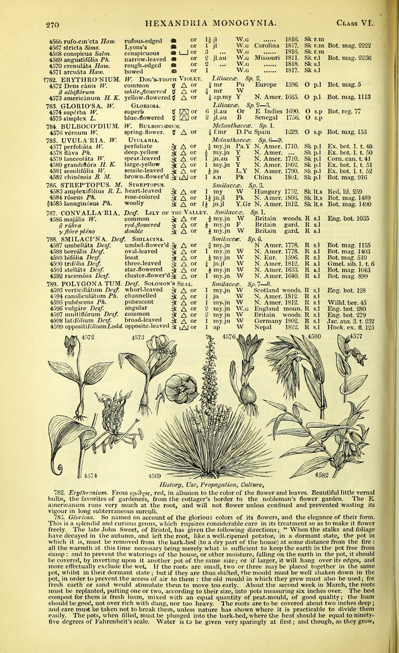 4566 rufo-cin'eta Haw. rufous-edged « or Hi] W-o ...... 1816. 4567 stricta Sims. Lyons's a or J J' W.o Carolina 18 7. 4568 conspicua Salm. conspicuous *» I—Ior 3 . ■•• ,-u 1816. 4569 angustifolia Ph. narrow-leaved * or 2 jl.au W.g Missouri 1811. 4570 crenulata Haw. rough-edged St or 2 ... W.o 1818. 4571 arcu&ta Haw. bowed * or 1 W.g 1817. 1782. ERYTHRO'NIUM. IV. Dog's-tooth Violet. Uliacece. Sp. 2. 4572 Dens canis IV. common A or \ mr Pu Europe 15.16. (3 albifidrum white-flowered f A or j mr W 4573 americanum H. K. yellow-flowered 5 A or a ap.my Y N. Amer. 1665. 783. GLORIO'SA. W. Gloiuosa. Uliacece. Sp.2—3. 4574 supiJrba W. superb tf ES or 6 jl.au Or E Indies 1690. 4575 simplex i. blue-flowered 5 23 or 2 jl.au B Senegal 1756. 784. BULBOCO'DIUM. IV. Bulbocodium. Melanthaccce. Sp. 1. 4576 vernum TV. spring-flower. 5 A or i f.mr D.Pu Spain 1S29. 785. TJVULA'RIA. W. Uvularia. Melanthaceaj. Sp.6—9. 4577 perfoliate IV. perfoliate 3t A or i my.jn Pa.Y N. Amer. 1710. 4578 flava Ph. deep-yellow ^ A or a my.jn Y N. Amer. ... 4579 lanceolata W. spear-leaved ^ A or 1 jn.au Y N. Amer. 1710. 4580 grandiflora H. K. large-yellow i i or 1 my.jn Y N. Amer. 1802. 4581 sessilifolia W. sessile-leaved ^ A or ijn L.Y N. Amer. 1790. 4582 chinensis B. M. brown-flower'd ^ u\J or 1 s.n Pk China 1801. 786. STREP'TOPUS. M. Streptopus. Smilaccte. Sp.3. 4583 amplexittlius R. L. hearuleaved ^ A or 1 my W Hungary 1752. 4584 roseus Ph. rose-colored ^ A or 1^ jn.jl Pk N. Amer. 1806. §4585 lanugin6sus Ph. woolly i A or 1| jn.jl Y.Gr N. Amer. 1812. 787. CONVALLA'RlA. Desf. Lily ok thi Valley. Smilace.e. SpA. 4586 majalis W. common i A or \ my.jn W Britain woods. II r&bra red-flowered ^ A or J my.jn F Britain gard. ■y fldrepUno double ^£ A or \ my.jn W Britain gard. 788. SMILACI'NA. Desf. Smilacina. Smilaccte. Sp. 6. 4587 umbellata Desf. umbel-flower'd i A or f my.jn N Amer. 1778. 4588 borealis Desf. oval-leaved ^ A or 1 my.jn W N. Amer. 1778. 4589 bifolia Desf. least k A or J mv.jn W N. Eur. 1596. 4590 trifolia Desf. three-leaved k A or a jn.jl W N. Amer. 1812. 4591 stellata Desf. star-flowered ^ A or i my.jn W N. Amer. 1633. 4592 racemosa Desf. cluster.flower'd^ A or 1 my.jn W N. Amer. 1640. 789. POLYGONA TUM. Desf. Solomon's Seal. Smilacea;. Sp.7—8. 4593 verticillatum Desf. whorl-leaved i A or 1 my.jn W Scotland woods. 4594 canaliculatum Ph. channelled ^ A or 1 jn W N. Amer. 1812. 4595 pubescens Ph. pubescent 4 A or 1 my,jn W N. Amer. 1812. 4596 vulgare Desf. angular k A or 2 my.jn W.g England moun. 4597 multiflorum Desf. common 4 A or 2 my.jn W Britain woods. 4598 latif61ium Desf. broad-leaved 4 A or 1 my.jn W Germany 1802. 4599 oppositifoliumiocW. opposite-leaved ^ or 1 ap W Nepal 1822. . 4572 4573 _jfttC\ ^> 45?6 Sk r.m Sk r.m Bot. mag. 2222 Sk r.m Sk r.l Bot. mag. 2236 Sk s.l Sks.l O p.l Bot. mag. 5 O p.l Bot. mag. 1113 O s.p Bot. reg. 77 O s.p O s.p Bot. mag. 153 Sk p.l Sk p.l Sk p.l Sk p.l Sk p.l Skp.l Ex. bot. 1. t. 40 Ex. bot. 1. t. 50 Corn. can. t. 41 Ex. bot. 1. t. 51 Ex. bot. J. t. 52 Bot. mag. 916 Sk Its Red. lil. 259 Sk lt.s Bot. mag. 1489 Sk lt.s Bot. mag. 1490 R s.l Eng. bot 1035 R s.l R s.l R s.l Bot. mag. 1155 R s.l Bot. mag. 1403 R s.l Bot. mag. 510 R s.l Grael. sib. 1. t. 6 R s.l Bot mag. 1043 R s.l Bot. mag. 899 R s.l R s.l R s.l R s.l R s.l R s.l R s.l Eng. bot. 128 Willd. ber. 45 Eng. bot. 280 Eng. bot. 279 Jac. aus. 3. t. 232 Hook. ex. fl. 125 History, Use, Propagation, Culture, 782. Eryttironium. From £»^S-go;, red, in allusion to the color of the flower and leaves. Beautiful little vernal bulbs, the favorites of gardeners, from the cottager's border to the nobleman's flower garden. The E. americanum runs very much at the root, and will not flower unless confined and prevented wasting its vigour in long subterraneous surculi. 783. Gloriosa. So named on account of the glorious colors of its flowers, and the elegance of their form. This is a splendid and curious genus, which requires considerable care in its treatment so as to make it flower freely. The late John Sweet, of Bristol, has given the following directions;  When the stalks and foliage have decayed in the autumn, and left the root, like a well-ripened potatoe, in a dormant state, the pot in which it is, must be removed from the bark-bed (to a dry part of the house) at some distance from the fire : all the warmth at this time necessary being merely what is sufficient to keep the earth in the pot free from damp : and to prevent the waterings of the house, or other moisture, falling on the earth in the pot, it should be covered, by inverting upon it another pot of the same size; or if larger, it will hang over its edges, and more effectually exclude the wet If the roots are small, two or three maybe placed together in the same pot, whilst in their dormant state ; but if they are thus shifted, the mould must be well shaken down in the pot, in order to prevent the access of air to them : the old mould in which they grew must also be used; for fresh earth or sand would stimulate them to move too early. About the second week in March, the roots must be replanted, putting one or two, according to their size, into pots measuring six inches over. The best compost for them is fresh loam, mixed with an equal quantity of peat-mould, of good quality; the loam should be good, not over rich with dung, nor too heavy. The roots are to be covered about two inches deep; and care must be taken not to break them, unless nature has shown where it is practicable to divide them easily. The pots, when filled, must be plunged into the bark-bed, where the heat should be equal to ninety- five degrees of Fahrenheit's scale. Water is to be given very sparingly at first; and though, as they grow,