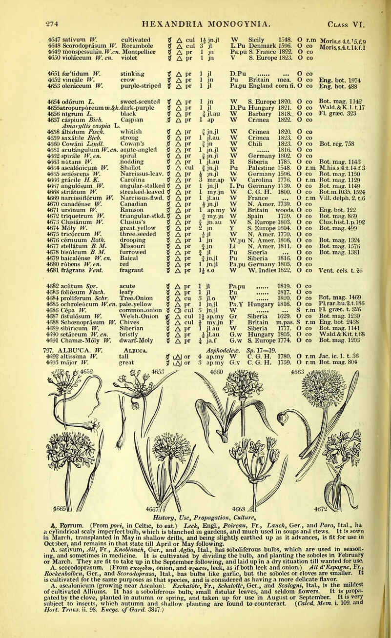 4617 sativum W. cultivated 4648 Scorodoprasum W. Rocambole 4649 monspessulan. W.en. Montpellier 4650 violaceum W. en. violet tf A cul 1| jn.jl 3 A cul 3 jl tf A pr 1 jn tf A pr 1 jn W Sicily 1548. O r.m Moris.s 4.t.'5 f 9 L.Pu Denmark 1596. O co Moris s 41 14 f i Pa.pu S. France 1822. O co Mor,s-s-*-t-1*-f-1 V S. Europe 1823. O co 4651 foe'tidum W. 4652 vineale W. 4653 oleraceum W. stinking crow purple-striped tf A pr ? Apr 5 A pr 4654 odorum L. 4655atropurp(ireum w.fyk 4656 nigrum L. 4657 caspium Sieb. Amaryllis caspia L 4658 albidu'm Fisch. 4659 saxatile Bieb. 4660 Cowani Lindt. 4661 acutangulum W.en. 4662 spirale W. en. 4663 nutans W. 4664 ascalonicum W. 4665 senescens W. 4666 graeile H. X. 4667 angulosum W. 4668 striatum W. 4669 narcissiflorum W. 4670 canadense W. 4671 ursinum W. 4672 triquetrum W. 4673 Clusianum W. 4674 Moty W. 4675 tricoccum W. 4676 cernuum Roth. 4677 stellatum B. M. 4678 bisfilcum B. M. 4679 baicalense W. en. 4680 rubens W. en. 4681 fragrans Vent. sweet-scented tf dark-purple 5 black tf Caspian 3f whitish strong Cowan's aqute-angled spiral nodding Shallot Narcissus-leav. Carolina angular-stalked tf streaked-leaved tf Narcissus-flwd. tf Canadian tf Ramson .tf triangular-stkd. tf Clusius's great-yellow three-seeded drooping Missouri furrowed Baical red fragrant A pr A pr A pr A pr A pr A pr 1 jl 1 jn 1 jl 1 jn 1 jl i j'-au 1 ap i jn.jl 1 jl.au I jn 1 jn.jl i jn.jl 1 jl.au I jn.jl i jn.jl 3 mr.ap 1 jn.jl 1 my.jn 1 jl.au & jn.jl 1 ap.my ? my.jn S jn.au 2 jn i j 1 jn fjn *. ^ ■, i jn.jl 1 jn.jl 14 s.o D.Pu O co Pu Britain mea. O co Eng. hot. 1974 Pa.pu England corn fi. O co Eng. bot. 488 W S. Europe 1820. O co Bot. mag. 1142 D.Pu Hungary 1821. O CO Wald.&K.l.t.l7 W Barbary 1818. O co FI. grace. 323 W Crimea 1822. O W W w w w R Pu W W L.Pu W W W W W W Y W W.pu Li Pu Pu Pa.pu W Crimea 1820. Crimea 1823. Chili 1823. 1816. Germany 1802. Siberia 1785. Palestine 1548. Germany 1596. Carolina 1776. Germany 1739. C. G. H. 1800. France N. Amer. 1739. Britain woods. Spain 1759. S. Europe 1803. S. Europe 1604. N. Amer. 1770. N. Amer. 1806. N. Amer. 1811. Siberia ... Siberia 1816. Germany 1805. W. Indies 1822. O co O co O co O co O co O co O r.m O co O r.m O co O co O r.m O co O co O co O co O co O co O co O co O co O co O co O co Bot. reg. 758 Bot. mag. 1143 M.his.s4:t.l4.f.3 Bot. mag. 1150 Bot. mag. 1129 Bot. mag. 1149 Bot.m. 1035.1524 VilL delph. 2. t.6 Eng. bot. 122 Bot. mag. 869 Clus.hist.l.p.192 Bot. mag. 499 Bot. mag. 1324 Bot. mag. 1576 Bot. mag. 1381 Vent eels. t. 26 4682 acfitum Spr. 4683 foliosum Fisch. 4684 proliferum Schr. 4685 ochroleiicum W.en. 4686 Cepa W. 4687 nstulosum W. 4688 Schcenoprasum W. 4689 sibiricum W. 4690 setaceum W. en. 4691 Chamee-Moly W. 797. ALBU'CA. W. 4692 altissima W. 4693 major W. ;4652 acute leafy Tree-Onion pale-yellow common-onion Welsh-Onion Chives Siberian bristly dwajf-Moly Albuca. tall great A pr 1 jl Pa.pu 1819. A pr 1 jl Pu 1817. A cu 3 jl.o W 1820. A pr 1 jn.jl Pa.Y Hungary 1816. Q) cul 3 jn.jl W A cul 1| ap.my Gr Siberia 1629. A cul | my.jn F Britain m.pas. A pr 1 jl.au W Siberia 1777. A pr i jl.au G.w Hungary 1805. A pr i ja.f G.w S. Europe 1774. O co O co O co Bot. mag. 1469 O co Pl.rar.hu.2.t.l86 S r.m Fl. graec. t. 326 O co Bot. mag. 1230 S r.m Eng. bot. 2438 O co Bot. mag. 1141 O co Wald.&Kit. t.68 O co Bot. mag. 1203 tf lAI or tf lAI or Asphodelets. 4 ap.my W 3 ap.my G.v 4660 Sp. 17—19. C. G. H. 1780. C. G. H. 178U. O r.m Jac. ic. 1.1. 36 C. G. H. 1759. O r.m Bot. mag. 804 4663 . 4668 M History, Use, Propagation, Culture, A- Porrum. (From pori, in Celtic, to eat.) Leek, Engl, Poireau, Fr., Lauch, Ger., and Poro, Ital., ha a cylindrical scaly imperfect bulb, which is blanched in gardens, and much used in soups and stews. It is sown in March, transplanted in May in shallow drills, and being slightly earthed up as it advances, is fit for use in October, and remains in that state till April or May following. A. sativum, Ail, Fr., Knoblauch, Ger., and Aglio, Ital., has soboliferous bulbs, which are used in season- ing, and sometimes in medicine. It is cultivated by dividing the bulb, and planting the soboles in February or March. They are fit to take up in the September following, and laid up in a dry situation till wanted for use. A. scorodoprasum. (From trxo^ohn, onion, and rfcuror, leek, as if both leek and onion.) Ail d'Espagne, Fr., Rockenbolben, Ger., and Scorodopraso, Ital., has bulbs like garlic, but the soboles or cloves are smaller. It is cultivated for the same purposes as that species, and is considered as having a more delicate flavor. A. ascalonicum (growing near Ascalon). Eschalote, Fr., Schalotte, Ger., and Scalogni, Ital., is the mildest of cultivated Alliums. It has a soboliferous bulb, small fistular leaves, and seldom flowers. It is propa- gated by the clove, planted in autumn or spring, and taken up for use in August or September. It is very subject to insects, which autumn and shallow planting are found to counteract. (Caled. Mem. i. 109. and Hort. Trans, ii. 98. Encyc. r/ Gard. 3847.)