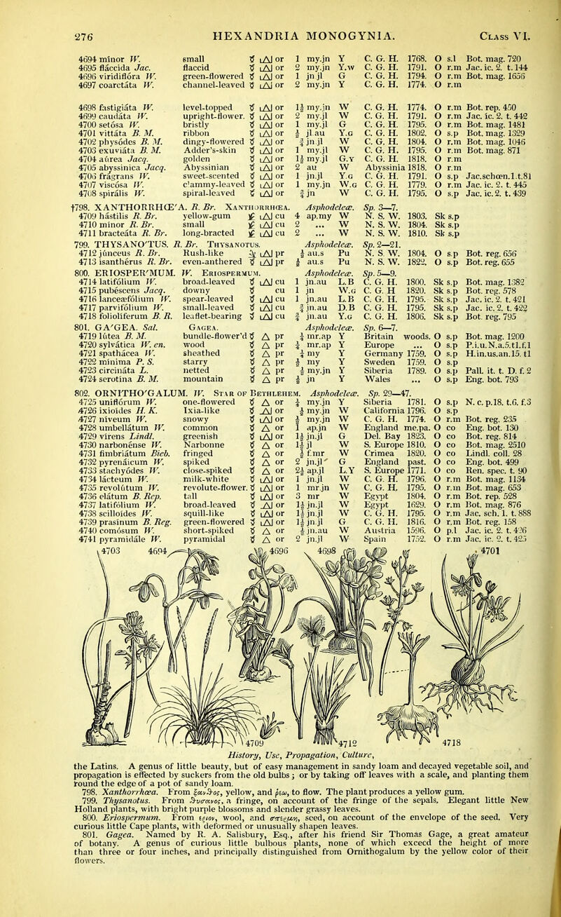 4694 minor W. 4695 flaccida Jac. 4696 viridiflora IV. 4697 coarctata IV. 6mall tf lAJ or 1 my.jn flaccid tf iAJ or 2 my.jn green-flowered tf lAJ or 1 jn jl channel-leaved tf cAI °r 2 my.jn Y C. G. H. 1768. Y.w C. G. H. 1791. G C. G. H. 1794. Y C. G. H. 1774. O s.l Bot. mag. 720 O r.m Jan. ic. 2. 1.144 O r.m Bot. mag. 1656 O r.m level-topped tf iAl or upright-flower. tf iAl or bristly tf iAl or ribbon Jf lAJ or dingy-flowered tf AJ or Adder's-skin tf AJ or golden tf AJ or Abyssinian tf lAJ or sweet-scented tf lAJ or c'ammy-leaved tf Al or spiral-leaved tf AJ or t798. XANTHORRHCE'A. R. Br. XANTIIORRHCEA. 4709 hastilis R. Br. yellow-gum vC i Al cu 4710 minor R. Br. small j£ lAJ cu 4711 bracteata R. Br. long-bracted j£ Al cu 799. THYSANO'TUS. R.Br. Thysanotus. 4712 jfinceus R. Br. Rush-like ^ i Al ur 4713 isantherus R.Br, even-anthered tf iAl pr 800. ERIOSPER'MUM. IV. Eriospermum. 4698 fastigiata IV. 4699 caudata IV. 4700set6sa IV. 4701 vittata B. M. 4702 physodes B. M. 4703 exuviata B. M. 4704 a urea J acq. 4705 abyssinica Jacq. 4706 fragrans W. 4707 viscosa IV. 4708 spiralis W. IS my.in W 2 my.jl W 1 my.jl i jl au j jn jl 1 my.jl lj my.jl 2 au 1 jn.jl 1 my.jn ijn G Y.c W W G.Y W Y.G W.G W C. G. H. C. G. H. C. G. H. C. G. H. C. G. H. C. G. H. C. G. H. Abyssinia 1818. C. G. H. 1791. C. G. H. 1779. C. G. H. 1795. 1774. 1791. 1795. 1802. 1804. 1795. 1818. Bot. rep. 450 Jac. 1c. 2. t. 442 Bot. mag. 1481 Bot. mag. 1329 Bot. mag. 1046 Bot. mag. 871 Jac.schoen.l.t.8l Jac. ic. 2. t. 445 Jac. ic. 2. t. 439 4714 latifolium IV. 4715 pubescens Jacq. 4716 lancea'folium IV. 4717 parvifolium IV. 4718 folioliferum B. R. 801. GA'GEA. Sal. 4719 lutea B. M. 4720 sylvatica W. cn. 4721 spathacea W. 4722 minima P. S. 4723 circinata L. 4724 serotina B. M. broad-leaved tf downy tf spear-leaved tf small-leaved tf leaflet-bearing tf Gagea. bundle-flower'd tf wood tf sheathed 5 starry ^ netted mountain 5 802. ORNITHO'GALUM. IV. Star of 4725 uniflorum W. 4726 ixioides //. A. .4727 niveum W. 4728 umbellatum IV. 4729 virens Lindl. 4730 narbonense IV. 4731 fimbriatum Bieb. 4732 pyren^icum W. 4733 stachyodes IV. 4734 lacteum W. 4735 revolfitum IV. 4736 elatum B. Rep. 4737 latifolium IV. 4738 scilloides IV. 4739 prasinum B. Reg. 4740 comosum IV. 4741 pyramidale IV. v4703 4694 one-flowered Ixia-like snowy common greenish Narbonne fringed spiked close-spiked milk-white revolute-flower. tall broad-leaved squill-like green-flowered short-spiked pyramidal i Al cu cu i Al cu i Al cu i Al CU A pr A pr A pr A pr A pr A pr Bethlehe 5 A or 5 Al or 5 iAJ or 5 A or S iAl or tf A or tf A or tf A or 5 A or i Al or $ lAJ °r lAi or tf AJor tf lAJ or tf lAJor tf A or tf A or Asphoddetc. 4 ap.my W 2 ... W 2 ... W Asphodelea?. | au.s Pu & au.s Pu Asphodeleie. 1 jn.au L.B 1 jn W.G 1 jn.au L.B fjn.au D.B f jn.au Y.G Asphodeleee. \ mr.ap Y \ mr.ap Y i my Y i my Y | my.jn Y i jn Y M. Asphodeleee. j my.jn Y Sp. 3—7. N. S. W. N. S. W. N. S. W. Sp. 2—21. N. S. W. N. S. W. Sp. 5—9. C. G. H. C. G. H C. G. H. C. G. H. C. G. H. i my.jn I my.jn 1 ap.jn H jn.jl i f.mr 2 jn.jl' 2i ap.jl 1 jn.jl 1 mr.jn 3 mr H jn.jl IS jn.jl H jn.jl I jn.au 2 jn.jl 4698 W W w G W W G L.Y W W \V W W G W w 1803. 1804. 1810. 1804. 1822. 1800. 1820. 1795. 1795. 1806. Sp. 6—7. Britain woods. Europe Germany 1759. Sweden 1759. Siberia 1789. Wales Sp. 29—47. Siberia 1781. California 1796. C. G. H. 1774. England me.pa. Del. Bay 1823. S. Europe 1810. Crimea 1820. England past. S. Europe 1771. C. G. H. 1796. C. G. H. 1795. Egypt 1804. Egypt C. G. H. C. G. H. Austria Spain O r.m O r.m O r.m O s.p O r.m O r.m O r.m O r.m O s.p O r.m O s.p Sk s.p Sk s.p Sk s.p O s.p Bot. reg. 656 O s.p Bot. reg. 655 Sk s.p Bot. mag. 1382 Sk s.p Bot. reg. 578 Sk s.p Jac. ic. 2. t. 421 Sk s.p Jac. ic. 2. t. 422 Sk s.p Bot. reg. 795 O s.p Bot. mag. 1200 O s.p P.i.u.N.a.5.tl.f.l O s.p H.in.us.an.15. tl O s.p O s.p PalL it. t. D. f. 2 O s.p Eng. bot. 793 1629. 1795. 1816. 1596. 1752. O s.p O s.p O r.m O co O co O co O co O co O co O r.m O r.m O r.m O r.m O r.m O r.m O p.l O r.m N. c. p.18. t.6. f.3 Bot. reg. 235 Eng. bot. 130 Bot. reg. 814 Bot. mag. 2510 Lindl. coll. 28 Eng. bot. 499 Ren. spec. t. 90 Bot. mag. 1134 Bot. mag. 653 Bot. rep. 528 Bot. mag. 876 Jac. sch. 1. t. 888 Bot. reg. 158 Jac. ic. 2. t. 4 >6 Jac. ic. 2. t. 425 4701 History, Use, Propagation, Culture, the Latins. A genus of little beauty, but of easy management in sandy loam and decayed vegetable soil, and propagation is effected by suckers from the old bulbs; or by taking off leaves with a scale, and planting them round the edge of a pot of sandy loam. 798. Xanthorrhcea. From yellow, and pin, to flow. The plant produces a yellow gum. 799. Thysanotus. From Swravof. a fringe, on account of the fringe of the sepals. Elegant little New Holland plants, with bright purple blossoms and slender grassy leaves. 800. Eriospermum. From tqiov, wool, and ffxtgf&yi, seed, on account of the envelope of the seed. Very curious little Cape plants, with deformed or unusually shapen leaves. 801. Gagea. Named by R. A. Salisbury, Esq., after his friend Sir Thomas Gage, a great amateur of botany. A genus of curious little bulbous plants, none of which exceed the height of more than three or four inches, and principally distinguished from Ornithogalum by the yellow color of their flowers.