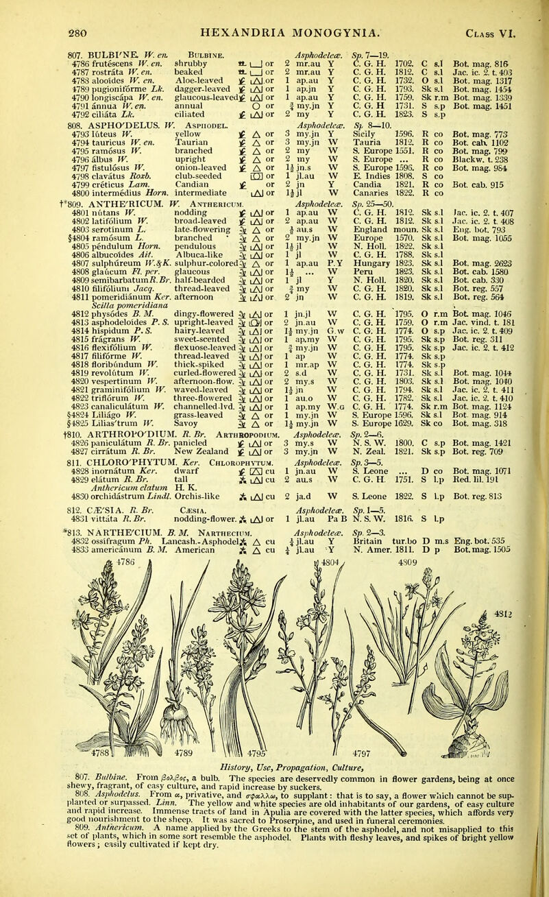 807. BULBI'NE. W. en. Bulbine. 4786 frutescens W. en. shrubby 4787 rostrata W. en. beaked 4783 alooides W. en. Aloe-leaved 1789 pugioniforme Lk. dagger-leaved _ 4790 longiscapa W. en. glaucous-leaved]^ lAJ or 1 4791 annua IV. en. annual 4792 ciliata Lk. ciliated 808. ASPHO'DELUS. W. Asphodel. «-1 | or H-L_Jor £ lAJor jj iAI or 0 or 1 Al or 4793 Kiteus W. yellow £ 4794 tauricus W. en. Taurian £ 4795 ramosus W. branched £ 4796albus IV. upright £ 4797 fistulosus W. onion-leaved j£ 4798 clavatus Roxb. club-seeded 4799 creticus Lam. Candian £ 4800 intermedius Horn, intermediate t*809. ANTHE'RICUM. W. Anthericum. A or A or A or A or A or rm or or i Al or Asphodelete. 2 mr.au Y 2 mr.au Y 1 ap.au Y 1 ap.jn Y ap.au Y i my.jn Y 2 my Y Asphodelete. 3 my.jn Y 3 my.jn 2 my 2 my 1| jn.s 1 jl.au 2 jn W W w w w Y W Sp. 7—19. C. G. H. C. G. H. C. G. H. C. G. H. C. G. H. C. G. H C. G. H. 1702. 1812. 1732. 1793. 1759. 1731. 1821 C s.I Bot mag. 816 C s.I Jac. ic. 2. t. 403 O s.I Bot. mag. 1317 Sk s.I Bot. mag. 1454 Sk r.m Bot. mag. 1339 S s.p Bot. mag. 1451 S s.p 1596. 1812. 4801 ndtans W. 4802 latifolium W. 4803 serotinum L. §4804 ramosum L. 4805 pendulum Horn. 4806 albucoides Ait. nodding broad-leaved late-flowering branched pendulous Albuca-like iAI or •C i Al or £i A or J A or ^ lAJ or ■fr iAI or Asphodelete 4807 sulphureum tV.fyK. sulphur-colored^ A or 4808 glaftcum Ft. per. glaucous ^ lAJ or 4809semibarbatum/f.Z?j\ half-bearded ^ iAJ or 4810 filifolium Jacq. thread-leaved ^ lAJ or 4811 pomeridianum Ker. afternoon ?n t/\J or Sci/la pomeridiana 4812 physodes B. M. dingy-flowered ?j lAJ or 4813 asphodeloides P. S. upright-leaved ^ O] or 1 ap.au 2 ap.au | au.s 2 my.jn 14 jl 1 ap.au n ... 1 ji I my 2 jn W w w w w w P.Y W Y W W Sp 8—10. Sicily Tauria S. Europe 1551. S. Europe ... S. Europe 1596. E. Indies 1808. Candia 1821. Canaries 1822. Sp. 25—50. C. G. H. 1812. C. G. H. 1812. England moun. Europe 1570. N. Holl. 1822. C. G. H. 1788. Hungary 1823. Peru 1823. N. Holl. 1820. C. G. H. 1820. C. G. H. 1819. hairy-leaved ^ lAJ or sweet-scented ^ iAI or flexuose-leaved ^ lAJ or thread-leaved ^ uA.1 or thick-spiked A i Al or curled-flowered ^ iAI or afternoon-flow. ^ iAI or waved-leaved ^ iAI or three-flowered ^ iAI or channelled-lvd. ^ iAI or grass-leaved ^[ A or Savoy J A ot t810. ARTHROPO'DIUM. R. Br. Arthhopodium. 4826 paniculatum R. Br. panicled £ lAI or 4827 cirratum R. Br. New Zealand £ iAI or 811. CHLORO'PHYTUM. Ker. Ciilorophytum. 4828 inornatum Ker. dwarf j£ E3 cu 4829 elatum R. Br. tall A lAI cu Anthericum elatum H. K. 4830 orchidastrum Lindt. Orchis-like A lAJ cu 4814 hispidum P. S. 4815 fragrans W. 4816 flexifolium W. 4817 filiforme W. 4818 floribundum W. 4819 revoUitum W. 4820 vespertinum W. 4821 graminifolium W. 4822 triflorum IV. 4823 canaliculatum W. 54824 Liliago W. 54825 Lilias'trum W. W W G w 1 jn.jl 2 jn.au Ii my.jn 1 ap.my W J my.jn W 1 ap W 1 mr.ap W W w w w 2 s.d 2 my.s 1| in 1 au.o 1 ap.my W o I my.jn W II my.jn W Asphodeleie. 3 my.s W 3 my.jn W Asphodelete. 1 jn.au W 2 au.s W C. G. H. C. G. H. C. G. H. C. G. H. C. G. H. C. G. H. C. G. H. C. G. H. C. G. H. C. G. H. C. G. H. C. G. H. S. Europe 1596. S. Europe 1629. Sp. 2—6. N. S. W. N. Zeal. Sp.3—5. S. Leone C. G. H. 1795. 1759. 1774. 1795. 1795. 1774. 1774. 1731. 1803. 1794. 1782. 1774. 1800. 1821. 1751. R co R co R co R co R co S co R co R co Sk s.I Sk s.l Sk s.l Sk s.l Sk s.l Sk s.l Sks.l Sk s.l Sks.l Sk s.l Sks.l O r.m O r.m O s.p Sk s.p Sk s.p Sk s.p Sk s.p Sks.l Sk s.l Sks.l Sk s.l Sk r.m Sks.l Sk co Bot. mag. 773 Bot. cab. 1102 BoL mag. 799 Blackw. t. 238 Bot mag. 984 Bot. cab. 915 lac. ic. 2. t. 407 Jac. ic. 2. t. 408 Eng. bot. 793 Bot. mag. 1055 Bot. mag. 2623 Bot. cab. 1580 Bot. cab. 330 Bot. reg. 557 Bot. reg. 564 Bot mag. 1046 Jac. vind. t. 181 Jac. ic. 2.1409 Bot. reg. 311 Jac. ic. 2. t. 412 Bot. mag. 1044 Bot. mag. 1040 Jac. ic. 2. t. 411 Jac. ic. 2. t. 410 Bot mag. 1124 Bot. mag. 914 Bot. mag. 318 C s.p Bot. mag. 1421 Sk s.p Bot. reg. 709 D co Bot. mag. 1071 S l.p Red. HI. 191 812. CiE'SIA. R. Br. 4831 vittata R. Br. C/ESIA. nodding-flower. A iAI or *813. NARTHE'CIUM. B.M. Narthecium. 4832 ossifragum Ph. Lancash.-Asphodeljt, A cu 4833 americanum B. M. American A cu 4786 2 ja.d W S. Leone Asphodelete. Sp. 1—5. 1 jl.au PaB N. S. W. 1822. S l.p Bot. reg. 813 1816. S l.p Asphodelete. ijl.au Y jl.au Y 4804 Sp 2—3. Britain tur.bo D m.s Eng. bot. 535 N. Amer. 1811. Dp Bot. mag. 1505 4S09 4SI2 History, Use, Propagation, Culture, 807. Bulbine. From fioX/los, a bulb. The species are deservedly common in flower gardens, being at once shewy, fragrant, of easy culture, and rapid increase by suckers. 808. Asphodelus. From a., privative, and trtpotXkoi, to supplant: that is to say, a flower which cannot be sup- planted or surpassed. Linn. The yellow and white species are old inhabitants of our gardens, of easy culture and rapid increase. Immense tracts of land in Apulia are covered with the latter species, which affords very good nourishment to the sheep. It was sacred to Proserpine, and used in funeral ceremonies. 809. Anthericum. A name applied by the Greeks to the stem of the asphodel, and not misapplied to this set of plants, which in some sort resemble the asphodel. Plants with fleshy leaves, and spikes of bright yellow flowers; easily cultivated if kept dry.