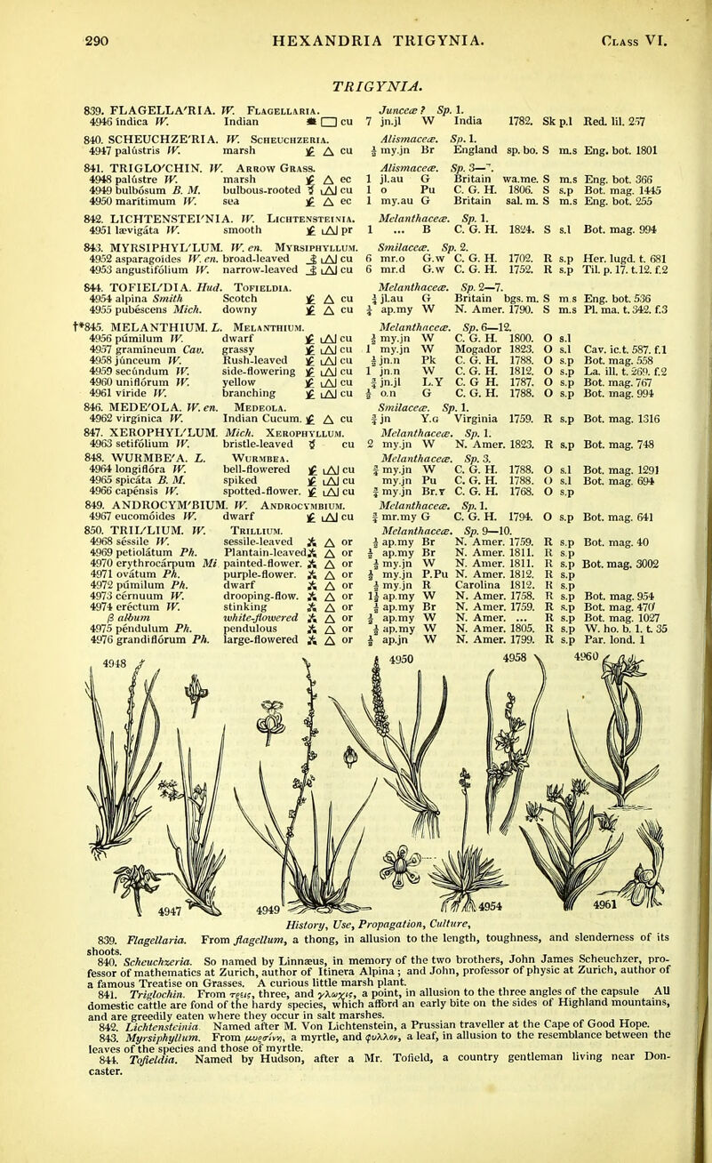 TRIGYNI A. 839. FLAGELLA'RIA. W. Flagellivria. 4946 indica W. Indian it I I cu 840. SCHEUCHZE'RIA. W. Scheuchzeria. 4947 palustris W. marsh £ A cu 841. TRIGLO'CHIN. W. Arrow Grass. 4948 palGstre W. marsh < A ^ 4949 bulbosum B. M. bulbous-rooted 3 iAI cu 4950 maritimum IV. sea £ A ec 842. LICHTENSTEI'NIA. W. Lichtensteinia. 4951 laevigata W. smooth i Al pr 843. MYRSIPHYL'LUM. W. en. Myrsiphyllum. 4952 asparagokles W. en. broad-leaved _^ iAI cu 4953 angustifolium W. narrow-leaved _£ iAI cu 844. TOFIEL'DIA. Hud. Tofieldia. 4954 alpina Smith Scotch £ A cu 4955 pubescens Mich. downy £ A cu t*845. MELANTH1UM. L. Melanthium. Juncece ? Sp. 1. 7 jn.jl W India 1782. Skp.l Red. IU. 257 Eng. bot. 1801 Eng. bot. 366 Bot. mag. 1445 Eng. bot. 255 4956 pumilum W. 4957 grammeum Cav. 4958 junceum W. 4959 sec6ndum fV. 4960 uniflorum W. 4961 viride W. 846. MEDE'OLA. W. en. 4962 virginica W. dwarf ]£ iAI cu grassy uAI cu Rush-leaved £ lAI cu side-flowering )£ iAI cu yellow iAI cu branching £ iAJ cu Medeola. Indian Cucum. £ A cu Alismaceie. Sp. 1. £ my.jn Br England sp. bo. S m.s Alismaceie. Sp. 3—~. 1 jl.au G Britain wa.me. S m.s 1 o Pu C. G. H. 1806. S s.p 1 my.au G Britain sal. m. S m.s Melanthacere. Sp. 1. 1 ... B C. G. H. 1824. S s.l Bot. mag. 994 S?nilacece. Sp. 2. 6 mr.o G.w C. G. H. 1702. R s.p Her. lugd. t. 681 6 mr.d G.w C. G. H. 1752. R s.p Til. p. 17. t.12. f.2 Melanthacece. Sp. 2—7. Jjl.au G Britain bgs. m. S m.s Eng. bot. 536 i ap.my W N. Amer. 1790.  Melanthacece. Sp. 6—12. | my.jn W C. G. H. 1800. 1 my.jn i jn.n 1 jn.n I jn.jl I o.n Mogador 1823. C. G. H. 1788. C. G. H. C. G H. C. G. H. 1812. 1787. 1788. 847. XEROPHYL'LUM. Mich. Xerophvllum. 4963 setifolium W. 848. WURMBE'A. L. 4964 longiflora TV. 4965 spicata B. M. 4966 capensis W. bristle-leaved WURMBEA. bell-flowered spiked spotted-flower. £ iAI cu i Al cu )g i Al cu 849. ANDROCYM'BIUM. TV. Androcymbium. 4967 eucomoides W. dwarf £ iAI cu 850. TRII/LIUM. W. Trillium. 4968 sessile W. sessile-leaved A or 4969 petiolatum Ph. Plantain-leavedA A or 4970 erythrocarpum Mi painted-flower. A A or 4971 ovatum Ph. 4972 pumilum Ph. 4973 cernuum W. 4974 erectum W. 13 album 4975 pendulum Ph. 4976 grandiflorum Ph. purple-flower. A A or dwarf A A or drooping-flow. A A or stinking A A or white-flowered A A or pendulous A A or large-flowered A A or W Pk W L.Y G SmilacecE. Sp. 1. | jn Y.G Virginia Melanthacece. Sp. 1. 2 my.jn W N. Amer. 1823. Melanthacece. Sp. 3. J my.jn W C. G. H. my.jn Pu C. G. H. | my.jn Br.r C. G. H. Melanthacece. Sp. 1. J mr.my G C. G. H. Melanthacece. Sp. 9—10. i ap.my Br N. Amer. 1759. J ap.my Br N. Amer. 1811. | my.jn W N. Amer. 1811. J my.jn P.Pu N. Amer. 1812. | my.jn R Carolina 1812. li ap.my W N. Amer. 1758. 1759. 1788. 1788. 1768. 1794. I ap.my Br | ap.my W i ap.my W i ap.jn W N. Amer. 1759. N. Amer. ... N. Amer. 1805. N. Amer. 1799. 4958 g PI. ma. t. 342. f.3 o S.1 0 S.1 Cav. ic.t. 587. f.l () s-P Bot. mag. 558 () s.p La. ill. t. 269. f.2 o s-P Bot. mag. 767 0 s.p Bot. mag. 994 II s.p Bot. mag. 1316 R s.p Bot. mag. 748 O s.1 Bot. mag. 1291 () s.1 Bot. mag. 694 O s.p o s.p Bot. mag. 641 R s-P Bot. mag. 40 R S.p R s.p Bot. mag. 3002 R s.p I! s-P R s.p Bot. mag. 954 It s.p Bot. mag. 470f It s.p Bot. mag. 1027 K s-P W. ho. b. 1.1 35 R s.p Par. lond. 1 4960 , History, Use, Propagation, Culture, 839. Flagellaria. From flagcllum, a thong, in allusion to the length, toughness, and slenderness of its 840. ' Scheuchzeria. So named by Linnaeus, in memory of the two brothers, John James Scheuchzer, pro- fessor of mathematics at Zurich, author of Itinera Alpina ; and John, professor of physic at Zurich, author of a famous Treatise on Grasses. A curious little marsh plant. 841 Triglochin. From rem, three, and yXuvts, a point, in allusion to the three angles of the capsule All domestic cattle are fond of the hardy species, which afford an early bite on the sides of Highland mountains, and are greedily eaten where they occur in salt marshes. 842 Lichtensteinia. Named after M. Von Lichtenstein, a Prussian traveller at the Cape of Good Hope. 843. Myrsiphyllum. From /Lcveo-lvi, a myrtle, and (fuXKov, a leaf, in allusion to the resemblance between the leaves of the species and those of myrtle. 844. Tofieldia. Named by Hudson, after a Mr. Tolield, a country gentleman living near Don- caster.