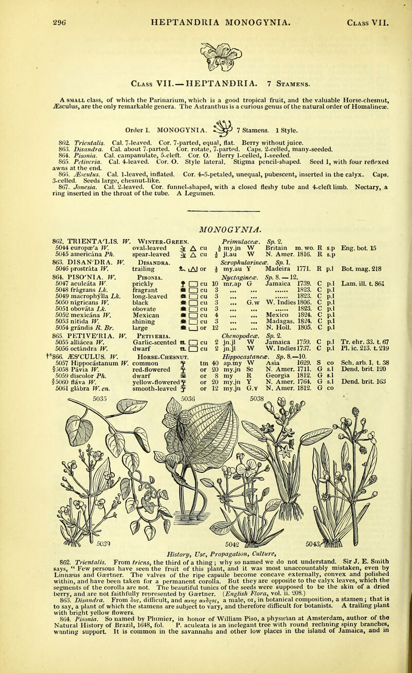 Class VII. — HEPTANDRI A. 7 Stamens. A small class, of which the Parinarium, which is a good tropical fruit, and the valuable Horse-chesnut, jEsculus, are the only remarkable genera. The Astranthus is a curious genus of the natural order of Homalineae. Order 1. MONOGYNIA. 7 Stamens. 1 Style. 802. Trientalis- Cal. 7-leaved. Cor. 7-parted, equal, flat. Berry without juice. 863. Disandra. Cal. about 7-parted. Cor. rotate, 7-parted. Caps. 2-celled, many-seeded. 864. Pisonia. Cal. campanulate, 5-cleft. Cor. O. Iierry 1-celled, 1-seeded. 865. Petiveria. Cal. 4-leaved. Cor. O. Style lateral. Stigma pencil-shaped. Seed 1, with four reflexed awns at the end. 866. JEsculus. Cal. 1-leaved, inflated. Cor. 4-5-petaled, unequal, pubescent, inserted in the calyx. Caps. 3-celled. Seeds large, chesnut-like. 867. Jonesia. Cal. 2-leaved. Cor. funnel-shaped, with a closed fleshy tube and 4-cleft limb. Nectary, a ring inserted in the throat of the tube. A Legumen. 862. TRIENTA'l.IS. IV. 5044 europse'a W. 5045 americana Ph. 863. DISANDRA. W. 5046 prostrata W. 864. PISO'NIA. W. 5047 aculeata W. 5048 fragrans Lk. 5049 macrophylla Lk. 5050 nigricans W. 5051 obovata Lk. 5052 mexicana W. 5053 nitida W. 5054 grandis R. Br. 865. PETIVE'UIA. W. 5055 alliacea W. 5056 octandra W. t*866. jES'CULUS. W. 5057 Hippocastanum W. §5058 Pavia W. 5059 discolor Ph. §5060 fiava W. 5061 glabra W. en. 5035 MONOGYNIA. Winter-Green. Primulacea?. Sp. 2. oval-leaved 5n A cu | my.jn W Britain m. wo. spear-leaved ^ A cu | jl.au W N. Amer. 1816. Disandra. Scrophularinece. Sp. 1. trailing !U iAl or J my.au Y Madeira 1771. Pisonia. Nyctagineee. Sp. 8. —12. prickly f O cu 10 mr.ap G Jamaica 1739. fragrant » □ cu 3 1823. long-leaved «□ cu 3 1823. black «(Zjcu 3 ... G.w W. Indies 1806. obovate * □ cu 3 1823. Mexican * □ cu 4 Mexico 1824. shining It □ cu 3 Madagas. 1824. large * l_1 or 12 N. Holl. 1805. Petiveria. Chenopodea. Sp. 2. Garlic-scented tL □ cu 2 jn.jl W Jamaica 1759. dwarf a-CDcu 2 jn.jl W W. Indies 1737. Horse-Chesnut. Hippocastanets. Sp. 8.—10. common H tm 40 ap.my W Asia 1629. red-flowered J or 20 my.jn So N. Amer. 1711. dwarf £ or 8 my R Georgia 1812. yellow-flowered* or 20 my.jn Y N. Amer. 1764. smooth.leaved y or 12 my.jn G.Y N. Amer. 1812. 036 _ 5038 R sp Eng. bot. 15 R s-P R p.l Bot. mag. 218 C pi Lam. ill. t. 861 c c fx c p.l c p. c p. c p. c p.l c p.l Tr. ehr. 33. t. 67 c p.l PI. ic. 213. t.219 s CO Sch. arb. 1. t. 38 G S.1 Dend. brit. 120 G 8.1 G S.1 Dend. brit. 163 G CO History, Use, Propagation, Culture, 862. Trientalis. From Mens, the third of a thing; why so named we do not understand. Sir J. E. Smith 6ays,  Few persons have seen the fruit of this plant, and it was most unaccountably mistaken, even by Linnseus and Gajrtner. The valves of the ripe capsule become concave externally, convex and polished within, and have been taken for a permanent corolla. But they are opposite to the calyx leaves, which the segments of the corolla are not. The beautiful tunics of the seeds were supposed to be the skin of a dried berry, and are not faithfully reoresented by Gaertner. [English Flora, vol. ii. 208.) 863. Disandra. From ivs, difficult, and xti^o;, a male, or, in botanical composition, a stamen ; that is to say, a plant of which the stamens are subject to vary, and therefore difficult for botanists. A trailing plant with bright yellow flowers. 864. Pisonia. So named by Plumier, in honor of William Piso, a physician at Amsterdam, author of tho Nutural History of Brazil, 1648, fol. P. aculeata is an inelegant tree with round reclining spiny branches, wanting support. It is common in the savannahs and other low places in the island of Jamaica, and in