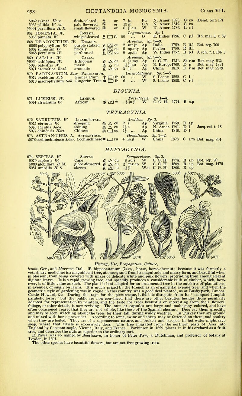 5062 carnea JJort. 5063 pallida IV. en. §506* parviflora H. K. 867. JONE'SIA. W. 5065 pinnata W. flesh-colored ¥ or pale-flowered $ or small-flowered or Jonesia. winged-leaved I □ ft DRACON'TIUM. W. Dragon. 5066 polyphjfllum W. purple-stalked £ Ej cu 5067 spinosum W. 5068 pertusum W. 869. CAL'LA. fT. §5069 aethiopica W. 5070 palfistris W. 5071 aromatica Roxb. prickly perforated Calla. Ethiopian marsh aromatic £ ESJ cu fl_EJcu ^ i Al or * A cu i Al or 870. PARINA'RIUM. Juss. Parinarium. 5072 excelsum Sab. Guinea Plum f O fr 5073 macrophyllum Sab. Gingerbr. Tree « O fr 7 jn Pu 12 jn G.Y 6 jl.au W Leguminosce. 20 ... O Aroidece. Sp. 2 mr.jn Ap 2 ap.my Ap 6 ap.jn Ap Aroidece. Sp. 3 ja.my Ap Jjl.au Ap 2 jl Ap Chrysobalanece. 60 ... W 6 ... W N. Amer. 1823. N. Amer. 1812. N. Amer. 1786. Sp. 1. E. Indies 1796. 3—9. India 1759. Ceylon 1759. W. Indies 1752. 3—5. C. G. H. 1731. N. Europel768. China 1813. Sp. 2—5. S. Leone 1822. S. Leone 1822. G co Dend. brit. 121 G co L s.l C p.l Rh. mal. 5. 159 R lt.l Bot. reg. 700 R lt.l R p.l J. sch. 2.1.184.5 Sk r.m Bot. mag. a32 D p Bot. mag. 1831 D r.m Bot. mag. 2279 C I C r.l 871. LI'MEUM. W. 5074 africanum IV. LlMEUM. African DIG YNIA. $ i Al w Portulacea;. I jn.jl W Sp. 1—4. C. G. H. 1774. R s.p TETRAGYNIA. 872. SATJRU'RUS. IV. 5075 cernuus W. 5076 Kicidus Jacq. 5077 chinensis Hart. 873. ASTRAN'THUS. i. Astranthus. 5078cochinchinensis Lour. Cochinchinese LlZARD'S-TAIL. drooping * A ™ shining i A cu Chinese i i I cu Aroidece. Sp. 3. 2 s Ap H s Ap ll ... Ap Homalinece. 4 jn.jl W Virginia 1759. D s.p N. Amer. 1791. D 1 China 1819. D 1 Sp. 1—2. China 1823. C r.m Jacq. eel. t. 18 r.m Bot. mag. 894 874. SEP'TAS. W. 5079capensis W. 5080 globiflora B. M. 5081 umbella H. S. HEPTAGYNIA. Septas. Sempervivece. Sp. 3. Cape £ lAJ cu f au.s W C. G. H. globe-flowered £ iA] cu f mr.ap W C. G. H. skreen £ iAI cu | jl W.o C. G. H. '5065 1774. R e.p Bot. rep. 90 1809. R s.p Bot. mag. 1472 1800. R s.p History, Use, Propagation, Culture, banm, Ger., and Marrone, Ital. i£. hippocastanum (htrm, horse, horse-chesnut; because it was formerly a veterinary medicine) is a magnificent tree, at once grand from its magnitude and massy form, and beautiful when in blossom, from being covered with spikes of delicate white and pink flowers, protruding from among elegant digitate leaves. It is a rapid growing tree, and speedily produces a considerable bulk of timber, which, how- ever, is of little value as such. The plant is best adapted for an ornamental tree in the outskirts of plantations, in avenues, or singly on lawns. It is much prized by the French as an ornamental avenue tree, and when the geometric style of gardening was in vogue in this country was a good deal planted, as at Bushy park, Canons, Castle Howard, &c. During the rage for the picturesque, it fell into disrepute from its compact lumpish parabolic form; but the public are now convinced that there are other beauties besides those peculiarly adapted for representation by painters, and the taste for trees beautiful or interesting from their flowers, foliage, or other details, is now reviving. The nuts or capsules are large and mahogany colored, and have often occasioned regret that they are not edible, like those of the Spanish chesnut. Deer eat them greedily, and may be seen watching about the trees for their fall during windy weather. In Turkey they are ground and mixed with horse provender. According to some, swine and sheep may be fattened on them, and poultry when they are boiled. They are of a saponaceous nature, and broken and steeped in hot water might save soap, where that article is excessively dear. This tree migrated from the northern parts of Asia into England by Constantinople, Vienna, Italy, and France. Parkinson in 1629 places it in his orchard as a fruit tree, and describes the nuts as superior to the ordinary sort. E. Pavia was so named by Boerhaave, in honor of Peter Paw, a Dutchman, and professor of botany at Leyden, in 1601. The other species have beautiful flowers, but are not free growing trees.