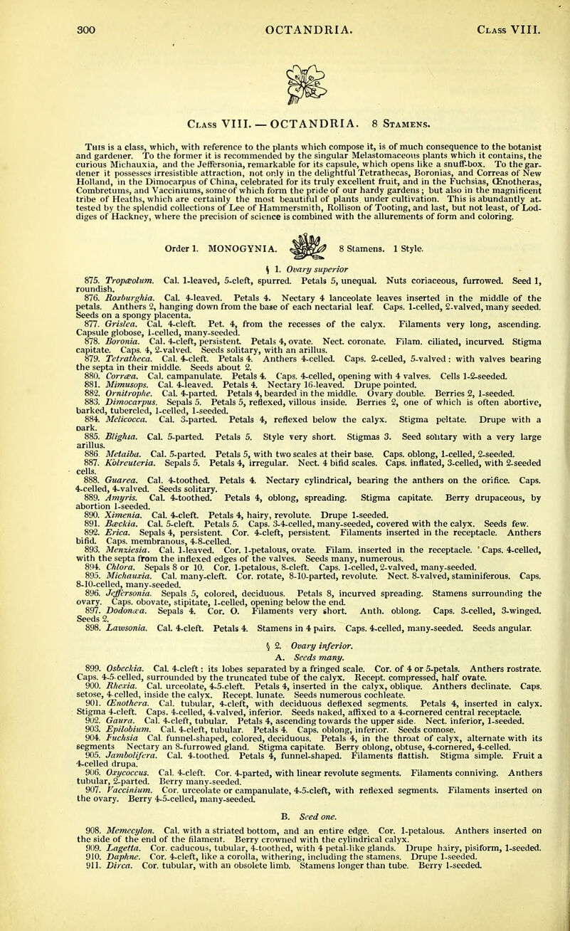 Class VIII. — OCTANDRIA. 8 Stamens. This is a class, which, with reference to the plants which compose it, is of much consequence to the botanist and gardener. To the former it is recommended by the singular Melastomaceous plants which it contains, the curious Michauxia, and the Jeffersonia, remarkable for its capsule, which opens like a snuff-box. To the gar- dener it possesses irresistible attraction, not only in the delightful Tetrathecas, Boronias, and Correas of New Holland, in the Dimocarpus of China, celebrated for its truly excellent fruit, and in the Fuchsias, CEnotheras, Combretums, and Vacciniums, some of which form the pride of our hardy gardens; but also in the magnificent tribe of Heaths, which are certainly the most beautiful of plants under cultivation. This is abundantly at- tested by the splendid collections of Lee of Hammersmith, Rollison of Tooting, and last, but not least, of Lod- diges of Hackney, where the precision of science is combined with the allurements of form and coloring. Order 1. MONOGYNI A. 8 Stamens. 1 Style. \ I. Ovary superior 875. TroptEolum. Cal. 1-leaved, 5-cleft, spurred. Petals 5, unequal. Nuts coriaceous, furrowed. Seed 1, roundish. 876. Roxburghia. Cal. 4-leaved. Petals 4. Nectary 4 lanceolate leaves inserted in the middle of the petals. Anthers 2, hanging down from the base of each nectarial leaf. Caps. 1-celled, 2-valved, many seeded. Seeds on a spongy placenta. 877. Grislea. CaL deleft. Pet. 4, from the recesses of the calyx. Filaments very long, ascending. Capsule globose, I-celled, many-seeded. 878. Boronia. Cal. 4-cleft, persistent Petals 4, ovate. Nect. coronate. Filam. ciliated, incurved. Stigma capitate. Caps. 4, 2-valved. Seeds solitary, with an arillus. 879. Tetratkeca. Cal. 4-cleft. Petals 4. Anthers 4-celled. Caps. 2-celled, 5-valved: with valves bearing the septa in their middle. Seeds about 2. 880. Corrcea. Cal. campanulate. Petals 4. Caps. 4-celled, opening with 4 valves. Cells 1-2-seeded. 881. Mimusops. Cal. 4-leaved. Petals 4. Nectary 16-leaved. Drupe pointed. 882. Ornitrophe. CaL 4-parted. Petals 4, bearded in the middle. Ovary double. Berries 2, 1-seeded. 883. Dimocarpus. Sepals 5. Petals 5, reflexed, villous inside. Berries 2, one of which is often abortive, barked, tubercled, 1-celled, 1-seeded. 884. Melicocca. Cal. 3-parted. Petals 4, reflexed below the calyx. Stigma peltate. Drupe with a oark. 885. Blighia. Cal. 5-parted. Petals 5. Style very short. Stigmas 3. Seed solitary with a very large arillus. 886 Metaiba. Cal. 5-parted. Petals 5, with two scales at their base. Caps, oblong, 1-celled, 2-seeded. 887. Kblreuteria. Sepals 5. Petals 4, irregular. Nect. 4 bifid scales. Caps, inflated, 3-celled, with 2-seeded cells. 888. Guarea. Cal. 4-toothed. Petals 4. Nectary cylindrical, bearing the anthers on the orifice. Caps. 4-celled, 4-valved. Seeds solitary. 889. Amyris. CaL 4-toothed. Petals 4, oblong, spreading. Stigma capitate. Berry drupaceous, by abortion 1-seeded. 890. Ximenia. Cal. 4-cleft. Petals 4, hairy, revolute. Drupe 1-seeded. 891. Bceckia. Cal. 5-cleft. Petals 5. Caps. 3-4-celled, many-seeded, covered with the calyx. Seeds few. 892. Erica. Sepals 4, persistent. Cor. 4-cleft, persistent. Filaments inserted in the receptacle. Anthers bifid. Caps, membranous, 4-8-celled. 893. Menxiesia. Cal. 1-leaved. Cor. 1-petalous, ovate. Filam. inserted in the receptacle. ' Caps. 4-celled, with the septa from the inflexed edges of the valves. Seeds many, numerous. 894. Chlora. Sepals 8 or 10. Cor. 1-petalous, 8-cleft. Caps. 1-celled, 2-valved, many-seeded. 895. Michauxia. Cal. many-cleft. Cor. rotate, 8-10-parted, revolute. Nect. 8-valved, staminiferous. Caps. 8-10-celled, many-seeded. 896. Jeffersonia. Sepals 5, colored, deciduous. Petals 8, incurved spreading. Stamens surrounding the ovary. Caps, obovate, stipitate, 1-celled, opening below the end. 897. Dodonza. Sepals 4. Cor. O. Filaments very short. Anth. oblong. Caps. 3-celled, 3-winged. Seeds 2. 898. Lawsonia. Cal. 4-cleft. Petals 4. Stamens in 4 pairs. Caps. 4-celled, many-seeded. Seeds angular. $ 2. Ovary inferior. A. Seeds many. 899. Osbeckia. CaL 4-cleft: its lobes separated by a fringed scale. Cor. of 4 or 5-petals. Anthers rostrate. Caps. 4-5 celled, surrounded by the truncated tube of the calyx. Recept. compressed, half ovate. 900. Rhexia. Cal. urceolate, 4-5-cleft. Petals 4, inserted in the calyx, oblique. Anthers declinate. Caps, setose, 4-celled, inside the calyx. Recept. lunate. Seeds numerous cochleate. 901. (Enothera. Cal. tubular, 4-cleft, with deciduous deflexed segments. Petals 4, inserted in calyx. Stigma 4-cleft. Caps. 4-celled, 4-valved, inferior. Seeds naked, affixed to a 4-cornered central receptacle. 902. Gaura. Cal. 4-cleft, tubular. Petals 4, ascending towards the upper side. Nect. inferior, 1-seeded. 903. Epilobium. Cal. 4-cleft, tubular. Petals 4. Caps, oblong, inferior. Seeds comose. 904. Fuchsia Cal. funnel-shaped, colored, deciduous. Petals 4, in the throat of calyx, alternate with its segments Nectary an 8-furrowed gland. Stigma capitate. Berry oblong, obtuse, 4-cornered, 4-celled. 905. JamboKfera. Cal. 4-toothed. Petals 4, funnel-shaped. Filaments flattish. Stigma simple. Fruit a 4-celled drupa. 906. Oxycoccus. Cal. 4-cleft. Cor. 4-parted, with linear revolute segments. Filaments conniving. Anthers tubular, 2-parted. Berry many-seeded. 907. Vaccinium. Cor. urceolate or campanulate, 4-5-cleft, with reflexed segments. Filaments inserted on the ovary. Berry 4-5-celled, many-seeded. B. Seed one. 908. Memecylon. Cal. with a striated bottom, and an entire edge. Cor. 1-petalous. Anthers inserted on the side of the end of the filament. Berry crowned with the cylindrical calyx. 909. Lagetta. Cor. caducous, tubular, 4-toothed, with 4 petal-like glands. Drupe hairy, pisiform, 1-seeded. 910. Daphne. Cor. 4-cleft, like a corolla, withering, including the stamens. Drupe 1-seeded. 911. Dirca. Cor. tubular, with an obsolete limb. Stamens longer than tube. Berry 1-seeded.