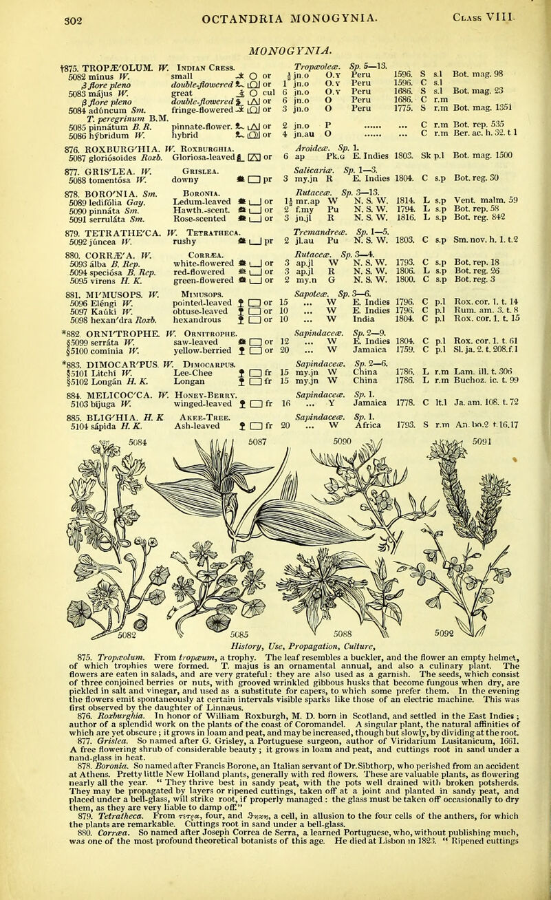 MONOGYNIA. t875. TROPJE'OLUM. W. Indian Cress. 5082 minus W. small -± O or $ flore plena double-flowered 1~ i£U or 5083majus IV. great Jt. O cul $ flore plena double-flowered $ iAJ or 5084 aduncum Sm. fringe-flowered 2 tQJ or 71. peregrinum B.M. 5085 pinnatum S. i?. pinnate-flower. *~. lAI or 5086 hybridum JV. hybrid *~ Ol or 876. ROXBURCHIA. W. Roxburghia. 5087 gloriosoides Roxb. Gloriosa-leaved fl_ fA] or 877. GRIS'LEA. IV. Tropteolece. jjn.o O.Y 1 jn.o 6 jn.o 6 jn.o 3 jn.o 2 jn.o 4 jn.au O.Y O.Y o o p o Sp. S—13. Peru 1596. S S.1 Bot. mag. 98 Peru 1596. C S.1 Peru 1686. s s.1 Bot. mag. 23 Peru 1686. c r.m Peru 1775. s r.m Bot. mag. 1351 c r.m Bot. rep. 535 c r.m Ber. ac. h.32. t l 5088 tomentosa W. Grislea. downy f EDpr 878. BORO'NIA. Sm. Boronia. 5089 ledifolia Gay. Ledum-leaved ** i | or 5090 pinnata Sm. Hawth.-scent. » i I or 5091 serrulata Sm. Rose-scented « i | or 879. TETRATHE'CA. 5092j6ncea W. 880. CORRjE'A. TV. 5093 alba B. Rep. 5094 speciosa B. Rep. 5095 v'irens H. K. 881. MI'MUSOPS. JV. 5096Elengi W. 5097 Kauki W. 5098 hexan'dra Roxb. W. Tetratheca. rushy * i | pr Corr^a. white-flowered JB i | or red-flowered *t \ | or green-flowered 411 | or MlMUSOPS. pointed-leaved J d] or obtuse-leaved t □ or hexandrous J CD or Aroidece. Sp. 1. 6 ap Pk.G E.Indies 1803. Salicarice. Sp. 1—3. 3 my.jn R E. Indies 1804. Rutaceee. Sp. 3—13. 14 mr.ap W N. S. W. 1814. 2 f.my Pu N. S. W. 1794. 3 jn.jl R N. S.W. 1816. Tremandreie. Sp. 1—5. 2 jl.au Pu N. S. W. 1803. Sk p.l C s.p L s.p L s.p L s.p Bot. mag. 1500 Bot. reg. 30 Vent malm. 59 Bot. rep. 58 Bot reg. 842 C s.p Sm. nov. h. 1.1.2 RutacetB. Sp. 3—4. ap.jl W N. S. W. 1793. C s.p *882 ORNI'TROPHE. W. Ornitrophe. §5099 serrata TV. saw-leaved ttQor §5100 cominia W. yellow-berried I □ or *883. DIMOCAR'PUS. W. DimocarpU8. §5101 Litchi TV. Lee-Chee ? □ ft §5102 Longan H. K. Longan I □ ft 884. MELICOC'CA. W. Honey-Berry. 5103 bijuga W. winged-leaved I □ ft 885. BLIG'HIA. H. K Akee-Tree. 5104 sapida H. K. Ash-leaved T I I ft 3 ap.jl R N. S. W. 1806. L s.p 2 my.n G N. S. W. 1800. C s.p Sapoteie. Sp. 3—6. 15 ... W E. Indies 1796. C p.l 10 ... w E. Indies 1796. C p.l 10 ... w India 1804. C p.I Sapindacea. Sp. 2—9. 12 ... W E Indies 1804. C p.l 20 ... w Jamaica 1759. c p.l Sapindacece. Sn. 2—6. 15 my.jn W Cnina 1786. L r.m 15 my.jn W China 1786. L r.m Sapindacece. Sp. 1. 16 ... Y Jamaica 1778. C lt.l Sapindacece. Sp. 1. 1793. 20 ... W Africa s r.m Bot. rep. 18 Bot. reg. 26 Bot. reg. 3 Rox. cor. 1. t. 14 Rum. am. 3. t. 8 Rox. cor. 1. t. 15 Rox. cor. 1. t. 61 Sl.ja.2.t.208.f.l Lam. ill. t. 306 Buchoz. ic. t. 99 Ja. am. 106. t. 72 Aji.Iio.2 116.17 History, Use, Propagation, Culture, 875. Tropicolum. From tropeeum, a trophy. The leaf resembles a buckler, and the flower an empty helmet, of which trophies were formed. T. majus is an ornamental annual, and also a culinary plant. The flowers are eaten in salads, and are very grateful: they are also used as a garnish. The seeds, which consist of three conjoined berries or nuts, with grooved wrinkled gibbous husks that become fungous when dry, are pickled in salt and vinegar, and used as a substitute for capers, to which some prefer them. In the evening the flowers emit spontaneously at certain intervals visible sparks like those of an electric machine. This was first observed by the daughter of Linnaeus. 876. Roxburghia. In honor of William Roxburgh, M. D. born in Scotland, and settled in the East Indies; author of a splendid work on the plants of the coast of Coromandel. A singular plant, the natural affinities of which are yet obscure ; it grows in loam and peat, and may be increased, though but slowhy, by dividing at the root. 877. Grislea. So named after G. Grisley, a Portuguese surgeon, author of Viridarium Lusitanicum, 1661. A free flowering shrub of considerable beauty ; it grows in loam and peat, and cuttings root in sand under a nand-glass in heat. 878. Boronia. So named after Francis Borone, an Italian servant of Dr.Sibthorp, who perished from an accident at Athens. Pretty little New Holland plants, generally with red flowers. These are valuable plants, as flowering nearly all the year.  They thrive best in sandy peat, with the pots well drained with broken potsherds. They may be propagated by layers or ripened cuttings, taken off at a joint and planted in sandy peat, and placed under a bell-glass, will strike root, if properly managed : the glass must be taken off occasionally to dry them, as they are very liable to damp off 879. Tetratheca. From nrex, four, and 3-/tzy, a cell, in allusion to the four cells of the anthers, for which the plants are remarkable. Cuttings root in sand under a bell-glass. 880. Corrcea. So named after Joseph Correa de Serra, a learned Portuguese, who, without publishing much, was one of the most profound theoretical botanists of this age. He died at Lisbon in 1823.  Ripened cuttings