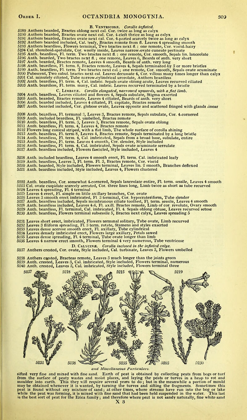 B. Ventricos*. Corolla inflated. 5189 Anthers bearded, Bractes oblong next cal. Cor. twice as long as calyx 5190 Anthers bearded, Bractes ovate next cal. Cor. 4-cleft thrice as long as calyx 5191 Anthers bearded, Bractes ovate next cal. Cor. 4-parted scarcely twice as long as calyx 5192 Anthers bearded included, Cal. leafy, Bractes remote from fl. Leaves 4 spreading smooth 5193 Anthers beardless, Flowers terminal, Two bractes next fl.: one remote, Cor. viscid-hairy 5194 Cal. rhomboid-spatulate, Cor. woolly inside, Leaves narrow-ovate cuneate pectinate 5195 Anth. beardless, Fl. term. Two bractes next fl.: one remote, Cor. smooth, Sepals lin. lanceolate 5196 Anth. bearded, Two bractes next fl.; one remote, Leaves 6, Beards of anth. very short 5197 Anth. bearded, Bractes remote, Leaves 4 smooth, Beards of anth. very long 5198 Anth. beardless, Fl. term. 8, Bractes remote, Leaves 4, Sepals terminated by 3 or more bristles 5199 Anth. beardless, Fl. term. Two bractes next cal. j one remote, Cor. smooth, Sepals ovate acuminate 5200 Pubescent, Two subul. bractes next cal. Leaves decussate 4, Cor. villous many times longer than calyx 5201 Cal. minutely ciliated, Tube narrow-cylindrical urceolate, Anthers beardless 5202 Anth. beardless, Fl. term. 4, Cal. imbric. Sepals ovate oblong acute, Leaves recurved ciliated 5203 Anth. beardless, Fl. term, many, Cal. imbric. Leaves recurved terminated by a bristle C. LimbaTjE. Corolla elongated, narrowed upwards, with aflat limb. 5204 Anth. beardless, Leaves ciliated and flowers 4, Sepals subulate, Stigma cxserted 5205 Anth. bearded, Bractes remote, Leaves 4 ciliated, Beards of anth. very short 5206 Anth. bearded included, Leaves 4 ciliated, Fl. capitate, Bractes remote 5207 Anth. bearded included. Cor. globose ovate, Leaves opposite and scattered fringed with glands linear 5208 Anth. beardless, Fl. terminal 3, Leaves 3, Bractes remote, Sepals subulate, Cor. 4-cornered 5209 Anth. included beardless, Fl. umbelled, Bractes remote 5210 Anth. beardless, Fl. term. 3, Leaves 3, Bractes remote, Sepals ovate oblong 5211 Anth. beardless, Fl. term. 4, Leaves 4, Bractes remote 5212 Flowers long conical striped, with a flat limb, The whole surface of corolla shining 5213 Anth. beardless, Fl. term 8, Leaves 4, Bractes remote. Sepals terminated by a long bristle 5214 Anth. beardless, Fl. term. 4, Cal. imbricated, Sepals from a broad base, subulate, entire 5215 Anth. beardless, Fl. term. Leaves 4 smooth, Cor. slender, Style included 5216 Anth. beardless, Fl. term. 4, Cal. imbricated, Sepals ovate acuminate serrulate 5217 Anth. beardless included, Flowers fascicled, Style included, Leaves 4 5218 Anth. included beardless, Leaves 4 smooth erect, Fl. term. Cal. imbricated leafy 5219 Anth. beardless, Leaves 3, Fl. term. Fl. 3, Bractes remote. Cor. viscid 5220 Anth. bearded, Style included, Flowers terminal, Leaves lin. 2 smooth, Branches deflexed 5221 Anth. beardless included, Style included, Leaves 4, Flowers clustered 5222 Anth. beardless, Cor. somewhat 4-cornered, Sepals lanceolate entire, Fl. term, sessile, Leaves 4 smooth 5223 Cal. ovate cuspidate scarcely serrated, Cor. three lines long, Limb twice as short as tube recurved 5224 Leaves 4 spreading, Fl. 4 terminal 5225 Leaves 4 erect, Fl. simple on little axillary branches, Cor. ovate 5226 Leaves 3 smooth erect imbricated, Fl 3 terminal, Cor. hypocrateriform, Tube slender 5227 Anth. beardless included, Sepals membranous ciliate toothed, Fl. term, sessile, Leaves 4 smooth 5228 Anth. beardless included, Leaves 4-6, Fl. axill. Bractes remote, Limb of cor. revolute, Ovary smooth 5229 Anth. beardless, Fl. terminal, Cal. imbricated, Fl. 4. Sepals oblong obtuse, Leaves recurved setose 5230 Anth. beardless, Flowers terminal subsessile 5, Bractes next calyx, Leaves spreading 5 5231 Leaves short erect, imbricated, Flowers terminal solitary, Tube ovate, Limb recurved 5232 Leaves 3 filiform spreading, Fl. 3 term, rotate, Stamens and styles exserted 5233 Leaves dense acerose smooth erect, Fl. axillary, Tube cylindrical 5234 Leaves densely imbricated erect, Flowers large axillary, Petals sawed 5235 Leaves dense spreading, Fl. 4 terminal, Tube ovate longer than limb 5236 Leaves 4 narrow erect smooth, Flowers terminal 4 very numerous, Tube ventricose D. Calycinje. Corolla inclosed in the inflated calyx. 5237 Anthers crested, Cor. ovate, Style included, Cal. turbinate, Leaves 3, Flowers umbelled 5238 Anthers ctested, Bracteas remote, Leaves 3 much longer than the joints green 5239 Anth. crested, Leaves 3, Cal. imbricated, Style included, Flowers terminal, numerous 5240 Anth. crested, Leaves 3, Cal. imbricated, Style included. Flowers terminal three and Miscellaneous Particulars. sifted very fine and mixed with fine sand. Earth of peat is obtained by collecting peats from bogs or turf from the surface of peaty wastes and moist places, and laying the peats or turves in a heap to rot and moulder into earth. This they will require several years to do; but in the meanwhile a portion of mould may be obtained whenever it is wanted, by turning the turves and sifting the fragments. Sometimes this peat is found without any mixture of sand; at other times, where streams have run into the bog or lake while the peat was forming, it is mixed with fine sand that had been held suspended in the water. This last is the best sort of peat for the Erica family; and therefore where peat is not sandy naturally, fine white 6and X 3