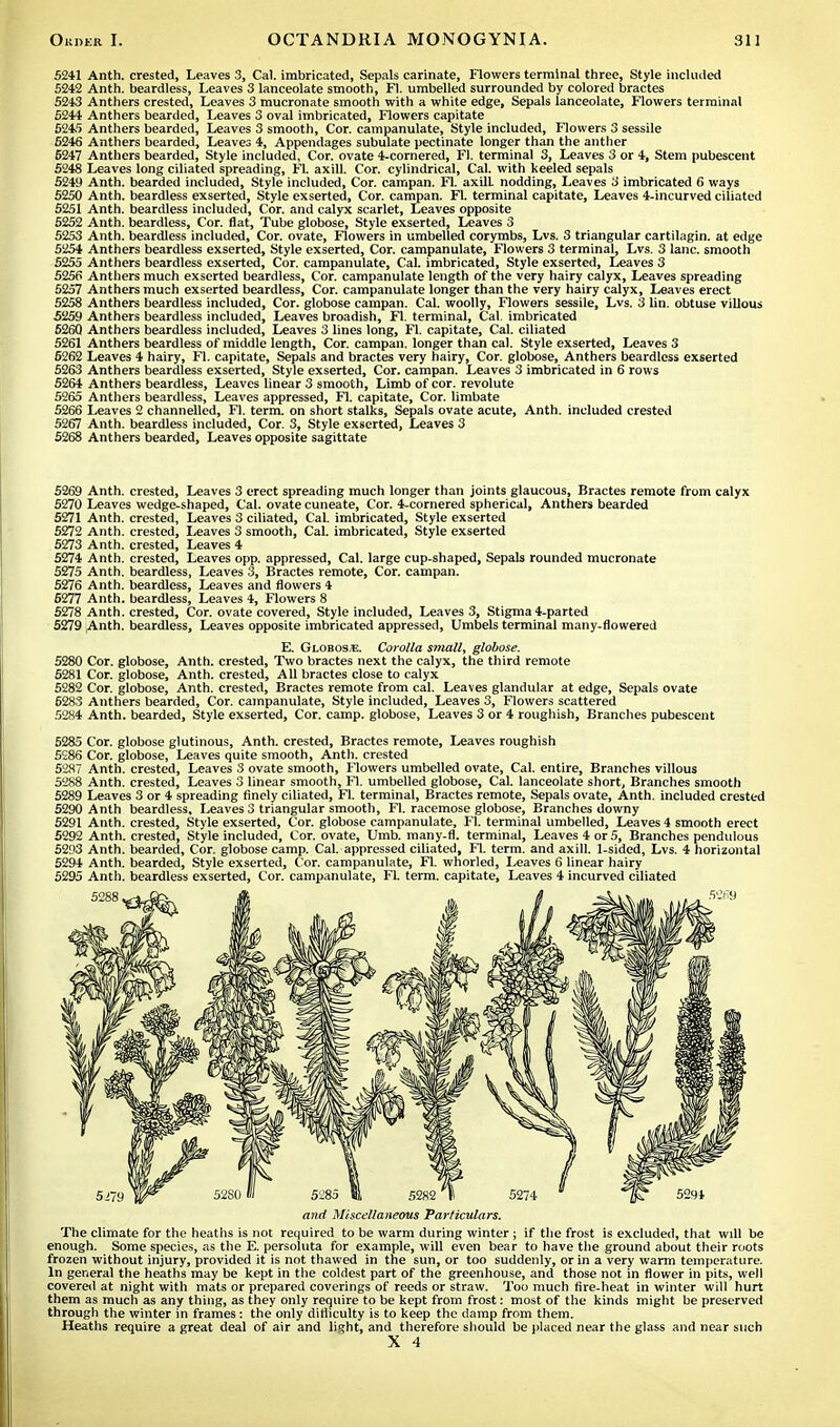 5241 Anth. crested, Leaves 3, Cal. imbricated, Sepals carinate, Flowers terminal three, Style included 5242 Anth. beardless, Leaves 3 lanceolate smooth, Fl. umbelled surrounded by colored bractes 5243 Anthers crested, Leaves 3 mucronate smooth with a white edge, Sepals lanceolate, Flowers terminal 5244 Anthers bearded, Leaves 3 oval imbricated, Flowers capitate 524') Anthers bearded, Leaves 3 smooth, Cor. campanulate. Style included, Flowers 3 sessile 5246 Anthers bearded, Leaves 4, Appendages subulate pectinate longer than the anther 5247 Anthers bearded, Style included, Cor. ovate 4-cornered, Fl. terminal 3, Leaves 3 or 4, Stem pubescent 5248 Leaves long ciliated spreading, Fl. axill. Cor. cylindrical, Cal. with keeled sepals 5249 Anth. bearded included, Style included, Cor. campan. Fl. axilL nodding. Leaves 3 imbricated 6 ways 5250 Anth. beardless exserted, Style exserted, Cor. campan. Fl. terminal capitate, Leaves 4-incurved ciliated 5251 Anth. beardless included, Cor. and calyx scarlet, Leaves opposite 5252 Anth. beardless, Cor. flat, Tube globose, Style exserted, Leaves 3 5253 Anth. beardless included, Cor. ovate, Flowers in umbelled corymbs, Lvs. 3 triangular cartilagin. at edge 5254 Anthers beardless exserted, Style exserted, Cor. campanulate, Flowers 3 terminal, Lvs. 3 lane, smooth 5255 Anthers beardless exserted, Cor. campanulate, Cal. imbricated, Style exserted, Leaves 3 5256 Anthers much exserted beardless, Cor. campanulate length of the very hairy calyx, Leaves spreading 5257 Anthers much exserted beardless, Cor. campanulate longer than the very hairy calyx, Leaves erect 5258 Anthers beardless included, Cor. globose campan. Cal. woolly, Flowers sessile, Lvs. 3 lin. obtuse villous 5259 Anthers beardless included, Leaves broadish, Fl. terminal, Cal. imbricated 526Q Anthers beardless included, Leaves 3 lines long, Fl. capitate, Cal. ciliated 5261 Anthers beardless of middle length, Cor. campan. longer than cal. Style exserted, Leaves 3 5262 Leaves 4 hairy, Fl. capitate, Sepals and bractes very hairy, Cor. globose, Anthers beardless exserted 5263 Anthers beardless exserted, Style exserted, Cor. campan. Leaves 3 imbricated in 6 rows 5264 Anthers beardless, Leaves linear 3 smooth, Limb of cor. revolute 5265 Anthers beardless, Leaves appressed, Fl. capitate, Cor. limbate 5266 Leaves 2 channelled, Fl. term, on short stalks, Sepals ovate acute, Anth. included crested 5267 Anth. beardless included, Cor. 3, Style exserted, Leaves 3 5268 Anthers bearded, Leaves opposite sagittate 5269 Anth. crested, Leaves 3 erect spreading much longer than joints glaucous, Bractes remote from calyx 5270 Leaves wedge-shaped, Cal. ovate cuneate, Cor. 4-cornered spherical, Anthers bearded 5271 Anth. crested, Leaves 3 ciliated, Cal. imbricated, Style exserted 5272 Anth. crested, Leaves 3 smooth, Cal. imbricated, Style exserted 5273 Anth. crested, Leaves 4 5274 Anth. crested, Leaves opp. appressed, Cal. large cup-shaped, Sepals rounded mucronate 5275 Anth. beardless, Leaves 3, Bractes remote, Cor. campan. 5276 Anth. beardless, Leaves and flowers 4 6277 Anth. beardless, Leaves 4, Flowers 8 5278 Anth. crested, Cor. ovate covered, Style included, Leaves 3, Stigma 4-parted 5279 Anth- beardless, Leaves opposite imbricated appressed, Umbels terminal many-flowered E. Globose. Corolla small, globose. 5280 Cor. globose, Anth. crested, Two bractes next the calyx, the third remote 5281 Cor. globose, Anth. crested, All bractes close to calyx 5282 Cor. globose, Anth. crested, Bractes remote from cal. Leaves glandular at edge, Sepals ovate 5283 Anthers bearded, Cor. campanulate, Style included, Leaves 3, Flowers scattered 5284 Anth. bearded, Style exserted, Cor. camp, globose, Leaves 3 or 4 roughish, Branches pubescent 5285 Cor. globose glutinous, Anth. crested, Bractes remote, Leaves roughish 5286 Cor. globose, Leaves quite smooth, Anth. crested 5287 Anth. crested, Leaves 3 ovate smooth, Flowers umbelled ovate, Cal. entire, Branches villous 5288 Anth. crested, Leaves 3 linear smooth, Fl. umbelled globose, Cal. lanceolate short. Branches smooth 5289 Leaves 3 or 4 spreading finely ciliated, Fl. terminal, Bractes remote, Sepals ovate, Anth. included crested 5290 Anth beardless. Leaves 3 triangular smooth, Fl. racemose globose, Branches downy 5291 Anth. crested, Style exserted, Cor. globose campanulate, Fl. terminal umbelled, Leaves 4 smooth erect 5292 Anth. crested, Style included, Cor. ovate, Umb. many-fl. terminal, Leaves 4 or 5, Branches pendulous 5293 Anth. bearded, Cor. globose camp. Cal. appressed ciliated, Fl. term, and axill. 1-sided, Lvs. 4 horizontal 5294 Anth. bearded, Style exserted, Cor. campanulate, Fl. whorled, Leaves 6 linear hairy 5295 Anth. beardless exserted, Cor. campanulate, Fl. term, capitate, Leaves 4 incurved ciliated and Miscellaneous Particulars. The climate for the heaths is not required to be warm during winter ; if the frost is excluded, that will be enough. Some species, as the E. persoluta for example, will even bear to have the ground about their roots frozen without injury, provided it is not thawed in the sun, or too suddenly, or in a very warm temperature. In general the heaths may be kept in the coldest part of the greenhouse, and those not in flower in pits, well covered at night with mats or prepared coverings of reeds or straw. Too much fire-heat in winter will hurt them as much as any thing, as they only require to be kept from frost: most of the kinds might be preserved through the winter in frames: the only difficulty is to keep the damp from them. Heaths require a great deal of air and li^ht, and therefore should be placed near the glass and near such X 4