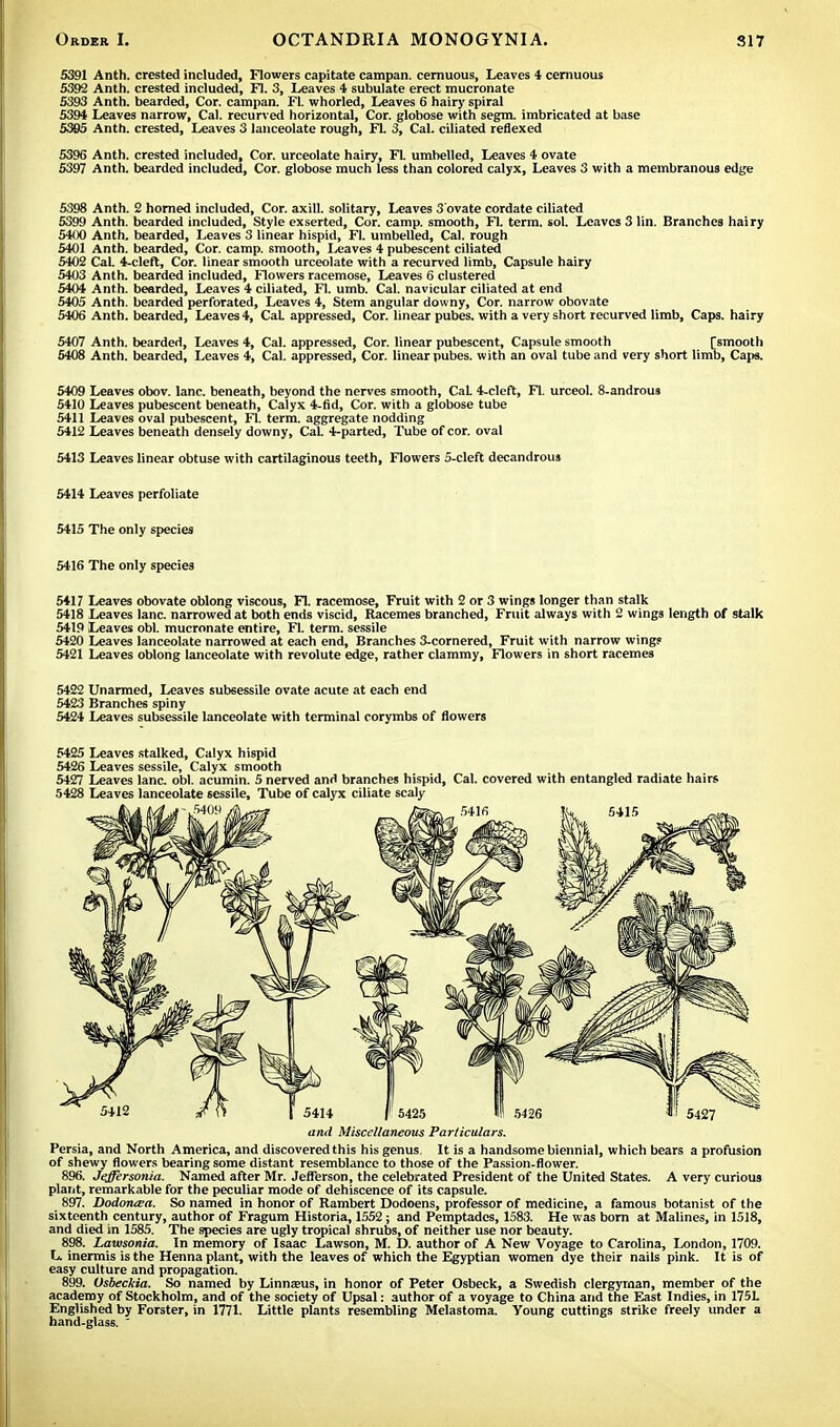 5391 Anth. crested included, Flowers capitate campan. cernuous, Leaves 4 cernuous 5392 Anth. crested included, Fl. 3, Leaves 4 subulate erect mucronate 5393 Anth. bearded, Cor. campan. Fl. whorled, Leaves 6 hairy spiral 5394 Leaves narrow, Cal. recurved horizontal, Cor. globose with segm. imbricated at base 5395 Anth. crested, Leaves 3 lanceolate rough, FL 3, Cal. ciliated reflexed 5396 Anth. crested included, Cor. urceolate hairy, Fl umbelled, Leaves 4 ovate 5397 Anth. bearded included, Cor. globose much less than colored calyx, Leaves 3 with a membranous edge 5398 Anth. 2 horned included, Cor. axill. solitary, Leaves 3'ovate cordate ciliated 5399 Anth. bearded included, Style exserted, Cor. camp, smooth, Fl. term. sol. Leaves 3 lin. Branches hairy 5400 Anth. bearded, Leaves 3 linear hispid, Fl. umbelled, Cal. rough 5401 Anth. bearded, Cor. camp, smooth, Leaves 4 pubescent ciliated 5402 Cat 4-cleft, Cor. linear smooth urceolate with a recurved limb, Capsule hairy 5403 Anth. bearded included, Flowers racemose, Leaves 6 clustered 5404 Anth. bearded, Leaves 4 ciliated, Fl. umb. Cal. navicular ciliated at end 5405 Anth. bearded perforated, Leaves 4, Stem angular downy, Cor. narrow obovate 5406 Anth. bearded, Leaves 4, CaL appressed, Cor. linear pubes. with a very short recurved limb, Caps, hairy 5407 Anth. bearded, Leaves 4, Cal. appressed, Cor. linear pubescent, Capsule smooth [smooth 5408 Anth. bearded, Leaves 4, Cal. appressed, Cor. linear pubes. with an oval tube and very short limb, Caps. 5409 Leaves obov. lane, beneath, beyond the nerves smooth, CaL 4-cleft, Fl. urceol. 8-androus 5410 Leaves pubescent beneath, Calyx 4-fid, Cor. with a globose tube 5411 Leaves oval pubescent, Fl. term, aggregate nodding 5412 Leaves beneath densely downy, CaL 4-parted, Tube of cor. oval 5413 Leaves linear obtuse with cartilaginous teeth, Flowers 5-cleft decandrous 5414 Leaves perfoliate 5415 The only species 5416 The only species 5417 Leaves obovate oblong viscous, Fl. racemose, Fruit with 2 or 3 wings longer than stalk 5418 Leaves lane, narrowed at both ends viscid, Racemes branched, Fruit always with 2 wings length of stalk 5419 Leaves obi. mucronate entire, Fl. term, sessile 5420 Leaves lanceolate narrowed at each end, Branches 3-cornered, Fruit with narrow wing? 5421 Leaves oblong lanceolate with revolute edge, rather clammy, Flowers in short racemes 5422 Unarmed, Leaves subsessile ovate acute at each end 5423 Branches spiny 5424 Leaves subsessile lanceolate with terminal corymbs of flowers 5425 Leaves stalked, Calyx hispid 5426 Leaves sessile, Calyx smooth 5427 Leaves lane. obi. acumin. 5 nerved and branches hispid, Cal. covered with entangled radiate hairs 5428 Leaves lanceolate sessile, Tube of calyx ciliate scaly Persia, and North America, and discovered this his genus. It is a handsome biennial, which bears a profusion of shewy flowers bearing some distant resemblance to those of the Passion-flower. 896. Jeffersonia. Named after Mr. Jefferson, the celebrated President of the United States. A very curious plant, remarkable for the peculiar mode of dehiscence of its capsule. 897. DodoruEa. So named in honor of Rambert Dodoens, professor of medicine, a famous botanist of the sixteenth century, author of Fragum Historia, 1552; and Pemptades, 1583. He was born at Malines, in 1518, and died in 1585. The species are ugly tropical shrubs, of neither use nor beauty. 898. Lawsonia. In memory of Isaac Lawson, M. D. author of A New Voyage to Carolina, London, 1709. L inermis is the Henna plant, with the leaves of which the Egyptian women dye their nails pink. It is of easy culture and propagation. 899. Usbeckia. So named by Linnams, in honor of Peter Osbeck, a Swedish clergyman, member of the academy of Stockholm, and of the society of Upsal: author of a voyage to China and the East Indies, in 175L Englished by Forster, in 1771. Little plants resembling Melastoma. Young cuttings strike freely under a hand-glass.  5414 fl] 5425 III