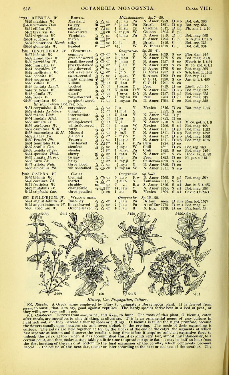t*900. KHEX'IA. W 5429 mariana W. §5430 viminea Don. 5431 ciliosa Ph. 5432 bival'vis W. 5433 virg'mica W. §5434 aquatica W. 5435 holosericea Hurrib. §5436 glomerata W. t901. CENOTHE'RA. TV. 5437 biennis W. 5438 grandiflora JV. 5439 parviflora W. 5440 muricata IV. 5441 longiflora W. 5442 molllssima W. 5443 odorata IV. 5444 nocturna W. 5445 villosa W. 5446 dentata i/nd/. 5447 frutic6sa W. 544S p6mila W. 5449 rosea W. §5450 purpurea W. (E. Romanzovii Bot 5451 corymbosa B. M. 5452 stricta Ledebure 5453 media Link. 54.54 linearis Mich. 5455 sinuata W. 5456 tetraptera W. 5457 caespitosa B. M. 5458 macrocarpa B. M. 5459 glafica PA. 5460 Fraseri Ph. 5461 tenuifolia Fl. p. 5462 acaulis Cnw. §5463 tenella Fl. per. 5464 speciosa Hook. 5465 virgata P/. per. 5466 hirta it. 5467 triloba Nutt. 5468 albicaulis PA. t902. GAU'RA W. 5469 biennis W. 5470 coccinea PA. 5471 fruticosa W. 5472 mutabilis W. 5473 tripetala Cav. 903. EPILO'BIUM. W. 5474 angustifolium W. Rhexia. Maryland ^ twiggy at ciliated )£ two-valved Virginian ^ marsh tt silky * headed tt- CEnothera. common ^ great-flowered small-flowered ^ prickly-stalked ^1 long-flowered soft wave-leav sweet-scented night-smelling villous toothed shrubby dwarf rosy-flowered purple-flowered reg. 562. corymbose upright intermediate linear scollop-leaved white-flowered turfy Missouri glaucous Fraser's fine-leaved stemless slender shewy twiggy hairy three-lobed white-stalked Gaiira biennial scarlet shrubby changeable three-petalled A pr □ or l>r rm cu A pr □ pr □ or □ or Q) or Q> or Q> or Q) or Q) or Q) or A or iQI or iO)l or A or A or A or -Al or O or A or O or A or A or O or O or A or A or A or A or AJpr A or O pr A or A pr O or A or Q> cu 10 jl Melastomacece. Sp. 7—50. jn.au Pu N. Amer. 1759. Brazil 1821. Carolina 1812. Guiana 1893. N. Amer. 1759. S. Amer. 1793. Brazil 1816. jn au jn.au my.jn jn.au Pu Cr W Pu B D s.p D s.p D p.l S p.l k Q) or & A or n-Opr k Oi pr O cu Willow-herb. Rose-bay ^ A or 547.5 angustissimum IV. linear-leaved 3l A or 5476 latifolium IV. Orache-leaved ^ A or 5441 ljjl W W. Indies 1818. C F-l Onagrar'ue. Sp. 32—41. 4 jn.s Y N. Amer. 1629. s CO 4 jn.au Y N. Amer. 1778. s CO 4 jn.au Y N. Amer. 1757. s CO 3 jl.au Y N. Amer. 1789. s CO 3 jl.s Y B. Ayres 1776. s CO 2 jn.o Y B. Ayres 1732. s CO 2 ap.au Y S. Amer. 1790. D CO 2 ap.au Y C. G. H. 1790. s CO 2 jl.au Y C. G. H 1791. s CO i jn.au Y Peru 1818. i) 'JO 3 jn.au D.Y N. Amer. 1737. D a my.s D.Y N. Amer. 1757. 1) p.l 1 my.au Pk Peru 1783. 1) p.l 1 my.au Pu N. Amer. 1794. c CO 3 s Y Mexico 1816. D CO 1J in.jl Y 1822. s 2 jl.au Y N. Amer. 1823. b p°l 1£ jn Y N. Amer. 1822. i) CO 3s jl Y N. Amer. 1770. s s.l 1 jn.au W Mexico 1796. s s.l 1 jn.jl W N. Amer. 1811. I) p.l 4 jn.jl Y N. Amer. 1811. I) 2 my.o Y N. Amer. 1812. I) s-P 1§ my.o Y N. Amer. 1811. 1) s.p jl.s Y.Pu Peru 1824. 1) CO i my.s W Chili 1821. I) CO | ap.au Pu Chili 1822. .s 1 mr.s W N. Amer. 1821. s CO H J Pu Peru 1823. D CO 1 my.jl Y California 1823. s CO f my.s Y N. Amer. 1822. D CO $ my.au W N. Amer. 1811. S s.p Onagra rue. Sp. 5—7. 5 au.o R.w N. Amer. 1762. s p.l i au.o S Louisiana 1811. s s.l 3 R.w S. Amer. 1816. s S.1 1| jl.au Y N. Amer. 179.5. s S.1 1 au Pk Mexico 1804. 8 s.l Onngrariae. Sp. 15—20. 4 jl.au Pu Britain mea. n m.s 2 jl.au Pu Al. of Eur. 1775. i) m.s 4 jl.au R N. Eur. 1779. CO Bot. cab. 366 Bot. reg. 664 Ph. am. 1.1.10 Bot. mag. 968 Aub. gui. l.t.169 Bot. reg. 323 Bot. cab. 334 Flor. dan. 446 Bot. mag. 2i)fi8 Meerb. ic. 1.1.34 M. co. got. 6. t.l Bot. mag. 365 Sch. han. l.t.105 Bot. reg. 147 Jac. ic. 3. t. 455 Lindl. coll. 10 Bot. mag. 332 Bot. mag. 355 Bot. mag. 347 Bot. mag. 352 Bot. mag. 1974 M. co. got. 5. t. 9 Bot. mag. 468 Bot. mag. 1593 Bot. mag. 1592 Bot. mag. 1606 Bot. mag. 1674 Bot. reg. 763 Bot. mag. 2424 Hook. ex. fl. SO Fl. per. t 315 Par. lond. 58 History, Use, Propagation, Culture, 900. BJlexia. A Greek name employed by Pliny to designate a Boragineous plant. It is derived from (iir<ru, to burst; that is to say, good against ruptures. The hardy species thrive best in a bed of peat; or they will grow very well in pots. 901. (Enothera. Derived from oivos, wine, and S-r,«u, to hunt. The roots of th1s plant, O. biennis, eaten after meals, are incentives to wine-drinking, as olives arc. This is an ornamental genus of easy culture in light rich soil, and they increase either by seeds or cuttings. O. biennis is called the night primrose, because the flowers usually open between six and seven o'clock in the evening. The mode of their expanding is curious. The petals arc held together at top by the hooks at the end of the calyx, the segments of which first separate at bottom and discover the corolla, a long time before it acquires sufficient expansive force to unhook the calyx at top; when it has accomplished this, it expands very fast, almost instantaneously, to a certain point, and then makes a stop, taking a little time to spread out quite flat: it may he half an hour from the first bursting of the calyx at bottom to the final expansion of the corolla; which commonly becomes flaccid in the course of the next dav, sooner or later according to the heat or coolness of the weather. The