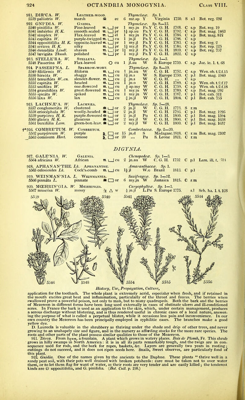 911. DIR'CA. W. 5539 paliistris W. 912. GNI'DIA. W. 5540 pinifolia W. 5541 imberbis H. K. 5542 simplex W. 5543capitfita W. 5544 oppositifolia H. K. 5545 sericea //. K. 5546 denudata Lindl. 5547 laevigata Thunb. 913. STELLE'RA. IK 5548 Passerina W. 914. PASSERI'NA. L. 5549 filiformis W. 5550hirs6ta W. 5551 tenuiflora W. en. 5552capitata W. 5553 unifl6ra W. 5554 grandiflora IV. 5555 spicata W. 5556 laxa W. 915. LACHNjE'A. W. 5557 conglomerata IV. 5558 eriocephala IV. 5559 purpurea H. K. 5560gla6ca H. K. 5561 buxifolia Lam. Leather-wood. marsh Sit ec Gnidia. Pine-leaved n. i | pr smoothscaled tt. i | pr Flax-leaved tt. i | el purple-twigged a. i | cu opposite-leaved a. i 1 pr silky hl i I pr shaven «. i I pr polished 'O. i | pr Stellera. Flax-leaved O cu Sparrow-wort. filiform n. i | cu shaggy «-1 | cu slender-flower, a. i | cu headed a. i | cu one-flowered a. i | cu great-flowered a. i | cu spiked a. i | cu lax a.1 | cu Lachnjea. clustered Sl i | or woolly-headed 4k | | or purple-flowered *t i_J or glaucous * | | or green-box-leav. * \ | or ThymeliEce. 6 mr.ap Y Thymclcece. 1 my.jn Pa. 1| ap.au Pa, 1 my.jn Pa. 1 jn.jl Pa. 1 my.jl 1± my.jl Pa. 1| my.jl Pa 1 my.jl Pa. Tkymelteaj. 1 jl.au W Thtjmclcece. 1 jn.au W Ujn.s W f jn.s W 1 jn.o W \ ap.my W 1 my.jn W 1 my.jn W | jn.jl W Thymeltm. Sp. 1. Virginia 1750. Sp. 8—13. Y C. G. H. 1768. Y C. G. H. 1792. Y C. G. H. 1786. Y C. G. H. 1788. Y C. G. H. 1783. Y C. G. H. 1786. Y C. G. H. 1820. Y C. G. H. 1822. Sp. 1—3. S. Europe 1759. Sp. 8—19. C. G. H. 1752. S. Europe 1759. C. G. H. ... C. G. H. 1789. C. G. H. 1759. C. G. H. 1789. C. G. H. 1787. C. G. H. 1804. S s.l Bot. reg. 292 C s.p Bot. reg. 19 C s.p Bot. mag. 1463 C s.p Bot. mag. 812 C s.p C s.p Bot. reg. 2 C s.p Bot. rep. 225 C s.p Bot. reg. 757 C s.p C s.p Jac. ic. 1. t. 68 C s.p Wen. ob. t.2.f.l5 C p.l Bot. mag. 1949 C s.p C s.p Wen. ob. t.2.f.l7 C s.p Wen. ob. t.2.f,18 C s.p Bot. mag. 292 C p.l Bot. cab. 311 C p.l Bot. cab. 755 2 jn.jl 2 jn.jl 2 jn.jl 2 my.jl 2 my.jl . 1295 C p.l Bot. mag. „ C p.l Bot. mag. 1594 C p.l Bot. mag. 1658 C p.l Bot. mag. 1657 t*916. COMBRE'TUM. W. Cohbretum. Combretaceie. Sp. 2—20. 5562 purpureum W. purple $_ □ or 15 jn.d S Madagasc.1818. C r.m Bot. mag. 2102 5563 comosum Hort. comose £. O or 20 ... Pu S. Leone 1821. C r.m Sp. 5—28. C. G. H. C. G. H. C. G. H. C. G. H. C. G. H. 1773. 1793. 1800. 1800. 1800. S r.m 917. GALE'NIA. W. 5564 africana W. Galenia. African DIGYNIA «. I | cu Chenopo&ete. Sp. 1—3. 2 jn.au W C. G. H. 918. APHANAN'THE. Lk. Aphananthe. 5565 celosioldes Lk. Cock's-comb tt. i | cu 919. WEINMAN'NIA. L. Wkinmannia. 5566 pinnata L. pinnate * □ or 920. MGSHRIN'GIA. W. Mcehringia. 5567 musccjsa IV. mossy 5539 Amaranthacece. Sp. 1. l|jl W.g Brazil Saxifragete. Sp. 1—12. 6 my.jn W Jamaica 1752 1813. 1815. Caryophyllece. Sp. 1—3. \ jn.jl L.Pu S. Europe 1775. p.l Lam. ill. t. 311 P-l Sch. ha 1.1108 History, Use, Propagation, Culture, application for the toothach. The whole plant is extremely acrid, especially when fresh, and if retained in the mouth excites great heat and inflammation, particularly of the throat and fauces. The berries when swallowed prove a powerful poison, not only to man, but to many quadrupeds. Both the bark and the berries of Mezereon in different forms have been long used externally in cases of obstinate ulcers and ill-conditioned sores. In France the bark is used as an application to the skin, which, under certain management, produces a serous discharge without blistering, and is thus rendered useful in chronic cases of a local nature, answer- ing the purpose of what is called a perpetual blister, while it occasions less pain and inconvenience. I n our own country the Mezereon has been principally employed in syphilitic cases. The branches make a good yellow dye. D. Laureola is valuable in the shrubbery as thriving under the shade and drip of other trees, and never growing to an unshapely size and figure, and in the nursery as affording stocks for the more rare species. The roots and other parts of the plant possess similar qualities to those of the Mezereon. 911. Dirca. From S/^xa, a fountain. A plant which grows in watery places. Boisde Plomb, Fr. This shrub grows in hilly swamps in North America: it is in all its parts remarkably tough, and the twigs are in con- sequence used for rods, and the bark for ropes, baskets, &c. Layers are generally two years in rooting; cuttings do not succeed, and it does not ripen seeds here. Snails, Sweet observes, are particularly fond of this plant. 912. Gnidia. One of the names given by the ancients to the Daphne. These plants  thrive well in a sandy peat soil, with their pots well drained with broken potsherds: care must be taken not to over water them, or to let them flag for want of water, as their roots are very tender and fire easily killed; the tendercst kinds are G oppositifolia, and G. pinifolia. (Bot. Cult. p. 198.)