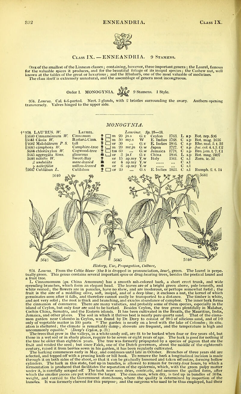 Class IX. — ENNEANDRI A. 9 Stamens. One of the smallest of the Linnean classes; containing, however, three important genera ; the Laurel, famous for the valuable spices it produces, anil for the beautiful foliage of its insipid species; the Cashew nut, well known at the tables of the great or luxurious ; and the Rhubarb, one of the most valuable of medicines. The class itself is extremely unnatural, and the assemblage of genera most incongruous. Order 1. MONOGYNIA. 9 Stamens. 1 Style. 934. Lauras. Cat 4-6-parted. Nect. 3 glands, with 2 bristles surrounding the ovary, transversely. Valves hinged to the upper side. Anthers opening MONOGYNIA. *934. LAU'RUS. W. §5640 Cinnamomum W. §5641 Cassia W. §r>642 Malabatrum P. S. §5643 camphora W. 5644 chloroxylon IV. 5645 aggregata Sims. 5646 n6bilis W. j2 undulata y salic/folia §5647 Cuhlaban L. Laurel. Cinnamon Bastard-Cinn. tall Camphire-tree Cogwood-trce glaucous Sweet-Bay wave-leaved willow-leaved Cuhlaban t Dm 20 f □ m 50 ? □ or 30 I I I m 20 I □ tm 60 *tI I or 3 $ or 15 * or 4 <* or 6 I □ or 20 Lauriihe. Sp. 18—68. jn.s my.s ja.f G.Y W G.Y G.w G.w G.Y Ceylon 1763. E. Indies 1768. E. Indies 18(15. Japan Jamaica China Italy 1727. 1778. 1806. 1561. f.p Bot. rep. 596 s.p Bot. mag. 1636 s.p Rhe. mal. 5. t. 53 s.p Jac. col. 4. t.3. f.2 s.p Bro. jam. t. 7-f.l s.p Bot mag. 2497 s.l Zorn. ic. 52 Bistort/, Use, Propagation, Culture, 934. Laurus. From the Celtic blaur (the b is dropped in pronunciation, laur), green. The laurel is perpe- tually green. This genus contains several important spice or drug-bearing trees, besides the poetical laurel and a fruit tree. L. Cinnamomum (qu. China Amomum) has a smooth ash-colored bark, a short erect trunk, and wide spreading branches, which form an elegant head. The leaves are of a bright green above, pale beneath, and white veined; the flowers are in panicles, have no shew, and are inodorous, or perhaps somewhat foetid ; the fruit is the size of a middling olive, soft, insipid, and of a deep blue; it encloses a nut, the kernel of which germinates soon after it falls, and therefore cannot easily be transported to a distance. The timber is white, and not very solid ; the root is thick and branching, and exudes abundance of camphor. The inner bark forms the cinnamon of commerce. There are many varieties, and probably some of them species, especially in the island of Ceylon, but only four are said to be barked. Besides Ceylon, the tree grows plentifully in Malabar, Cochin China, Sumatra, and the Eastern islands. It has been cultivated in the Brazils, the Mauritius, India, Jamaica, and other places. The soil in which it thrives best is nearly pure quartz sand. That of the cinna- mon garden near Colombo in Ceylon, was found by Dr. Davy to consist of 98-5 of silicious sand, and of 1-0 only of vegetable matter in 100 parts.  The garden is nearly on a level with the lake of Colombo ; its situ- ation is sheltered; the climate is remarkably damp; showers are frequent, and the temperature is high and uncommonly equable. {Davy's Ceylon, p. 39.) The trees that grow in the valleys, in a white sandy soil, are fit to be barked when four or five years old, but those in a wet soil or in shady places, require to be seven or eight years of age. The bark is good for nothing if the tree be older than eighteen years. The tree was formerly propagated by a species of pigeon that ate the fruit and voided the seed ; but since Falck, one of the Dutch governors, about the middle of the eighteentli century, raised it from bervies sown in his garden, it has been regularly cultivated. The barking commences early in May, and continues until late in October. Branches of three years old are selected, and topped oft'with a pruning knife or bill hook. To remove the bark a longitudinal incision is made through it on both sides of the shoot, so that it can be gradually loosened and taken off entire, forming hollow cylinders. The bark in this state, tied up in bundles, is allowed to remain for twenty-four hours, by which a fermentation is produced that facilitates the separation of the epidermis, which, with the green pulpy matter under it, is carefully scraped off! The bark now soon dries, contracts, and assumes the quilled form, after which the smaller pieces are put within the larger. The cinnamon, when dry, is tied up in bundles of 30lbs. weight, and carried to the Government store-house, where the quality is determined by inspection of the bundles. It was formerly chewed for this purpose; and the surgeons who used to be thus employed, had their