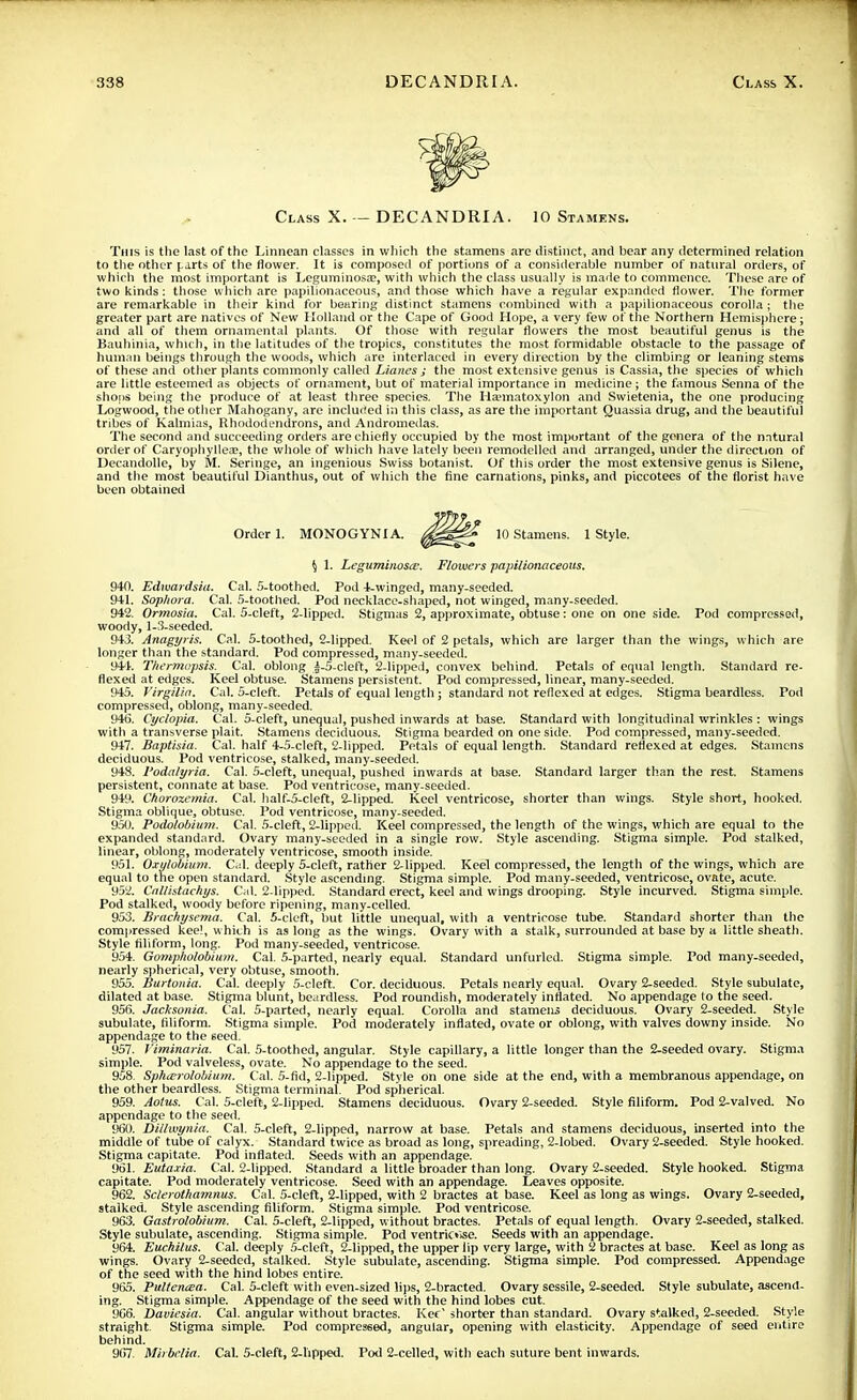 Class X. — DECANDRIA. 10 Stamens. This is the last of the Linnean classes in which the stamens are distinct, and hear any determined relation to the other parts of the flower. It is composed of portions of a considerable number of natural orders, of which the most important is Leguminosa?, with which the class usually is made to commence. These are of two kinds : those which are papilionaceous, and those which have a regular expanded flower. The former are remarkable in their kind for bearing distinct stamens combined with a papilionaceous corolla ; the greater part are natives of New Holland or the Cape of Good Hope, a very few of the Northern Hemisphere; and all of them ornamental plants. Of those with regular flowers the most beautiful genus is the Bauhinia, which, in the latitudes of the tropics, constitutes the most formidable obstacle to the passage of human beings through the woods, which are interlaced in every direction by the climbing or leaning stems of these and other plants commonly called Lianes ; the most extensive genus is Cassia, the species of which are little esteemed as objects of ornament, but of material importance in medicine ; the famous Senna of the shops being the produce of at least three species. The Ha'matoxylon and Swietenia, the one producing Logwood, the other Mahogany, are included in this class, as are the important Quassia drug, and the beautiful tribes of Kalmias, Rhododendrons, and Andromedas. The second and succeeding orders are chiefly occupied by the most important of the genera of the natural order of Caryophylleae, the whole of which have lately been I'emodelled and arranged, under the direction of Decandolle, by M. Seringe, an ingenious Swiss botanist. Of this order the most extensive genus is Silene, and the most beautiful Uianthus, out of which the tine carnations, pinks, and piccotees of the florist have been obtained Order 1. MONOGYNIA. 10 Stamens. 1 Style. ^ 1. hegum'mosce. Flowers papilionaceous. 940. Edwardsia. Cal. 5-toothed. Pod 4-winged, many-seeded. 941. Sopliora. Cal. 5-toothed. Pod necklace-shaped, not winged, many-seeded. 942. Ormosia. Cal. S-cleft, 2-lipped. Stigmas 2, approximate, obtuse: one on one side. Pod compressed, woody, 1-3-seeded. 943. Anagyris. Cal. 5-toothed, 2-lipped. Keel of 2 petals, which are larger than the wings, which are longer than the standard. Pod compressed, many-seeded. 941. Thermcpsis. Cal. oblong ±-5-cleft, 2-lipped, convex behind. Petals of equal length. Standard re- flexed at edges. Keel obtuse. Stamens persistent. Pod compressed, linear, many-seeded. 945. Virgilia. Cal. 5-cleft. Petals of equal length; standard not reflexed at edges. Stigma beardless. Pod compressed, oblong, many-seeded. 946. Cyclopia. Cal. 5-cleft, unequal, pushed inwards at base. Standard with longitudinal wrinkles : wings with a transverse plait. Stamens deciduous. Stigma bearded on one side. Pod compressed, many-seeded. 947. Baptisia. Cal. half 4-5-cleft, 2-lipped. Petals of equal length. Standard reflexed at edges. Stamens deciduous. Pod ventricose, stalked, many-seeded. 948. l'odalyria. Cal. 5-cleft, unequal, pushed inwards at base. Standard larger than the rest. Stamens persistent, connate at base. Pod ventricose, many-seeded. 949. Chorozcmia. Cal. half-5-cleft, 2-lipped. Keel ventricose, shorter than wings. Style short, hooked. Stigma oblique, obtuse. Pod ventricose, many-seeded. 950. Podolobium. Cal. 5-cleft, 2-lipped. Keel compressed, the length of the wings, which are equal to the expanded standard. Ovary many-seeded in a single row. Style ascending. Stigma simple. Pod stalked, linear, oblong, moderately ventricose, smooth inside. 951. Oxylobium. Cal. deeply 5-cleft, rather 2-lipped. Keel compressed, the length of the wings, which are equal to the open standard. Style ascending. Stigma simple. Pod many-seeded, ventricose, ovate, acute. 952. Callhtachys. Cal. 2-lipped. Standard erect, keel and wings drooping. Style incurved. Stigma simple. Pod stalked, woody before ripening, many-celled. 953. Brachysema. Cal. 5-cleft, but little unequal, with a ventricose tube. Standard shorter than the compressed kee!, which is as long as the wings. Ovary with a stalk, surrounded at base by a little sheath. Style filiform, long. Pod many-seeded, ventricose. 954. Gompholobium. Cal. 5-parted, nearly equal. Standard unfurled. Stigma simple. Pod many-seeded, nearly spherical, very obtuse, smooth. 955. Burtonia. Cal. deeply 5-cleft. Cor. deciduous. Petals nearly equal. Ovary 2-seeded. Style subulate, dilated at base. Stigma blunt, beardless. Pod roundish, moderately inflated. No appendage to the seed. 956. Jacksonia. Cal. 5-parted, nearly equal. Corolla and stamens deciduous. Ovary 2-seeded. Style subulate, filiform. Stigma simple. Pod moderately inflated, ovate or oblong, with valves downy inside. No appendage to the 6eed. 957. Viminaria. Cal. 5-toothed, angular. Style capillary, a little longer than the 2-seeded ovary. Stigma simple. Pod valveless, ovate. No appendage to the seed. 958. Sphcerolobittm. Cal. 5-fid, 2-lipped. Style on one side at the end, with a membranous appendage, on the other beardless. Stigma terminal. Pod spherical. 959. Aotus. Cal. 5-cleft, 2-lipped. Stamens deciduous. Ovary 2-seeded. Style filiform. Pod 2-valved. No appendage to the seed. 960. Dillwynia. Cal. 5-cleft, 2-lipped, narrow at base. Petals and stamens deciduous, inserted into the middle of tube of calyx. Standard twice as broad as long, spreading, 2-lobed. Ovary 2-seeded. Style hooked. Stigma capitate. Pod inflated. Seeds with an appendage. 961. Eutaxia. Cal. 2-lipped. Standard a little broader than long. Ovary 2-seeded. Style hooked. Stigma capitate. Pod moderately ventricose. Seed with an appendage. Leaves opposite. 962. Sclerothamnus. Cal. 5-cleft, 2-lipped, with 2 bractes at base. Keel as long as wings. Ovary 2-seeded, stalked. Style ascending filiform. Stigma simple. Pod ventricose. 963. Gastrolobium. Cal. 5-cleft, 2-lipped, without bractes. Petals of equal length. Ovary 2-seeded, stalked. Style subulate, ascending. Stigma simple. Pod ventrioise. Seeds with an appendage. 964. Euchilus. Cal. deeply 5-cleft, 2-lipped, the upper lip very large, with 2 bractes at base. Keel as long as wings. Ovary 2-seeded, stalked. Style subulate, ascending. Stigma simple. Pod compressed. Appendage of the seed with the hind lobes entire. 965. Pultentea. Cal. 5-cleft with even-sized lips, 2-bracted. Ovary sessile, 2-seeded. Style subulate, ascend- ing. Stigma simple. Appendage of the seed with the hind lobes cut. 966. Daviesia. Cal. angular without bractes. Kec' shorter than standard. Ovary stalked, 2-seeded. Style straight. Stigma simple. Pod compressed, angular, opening with elasticity. Appendage of seed entire behind. 967. Mhbclia. Cal. 5-cleft, 2-lipped. Pod 2-celled, with each suture bent inwards.