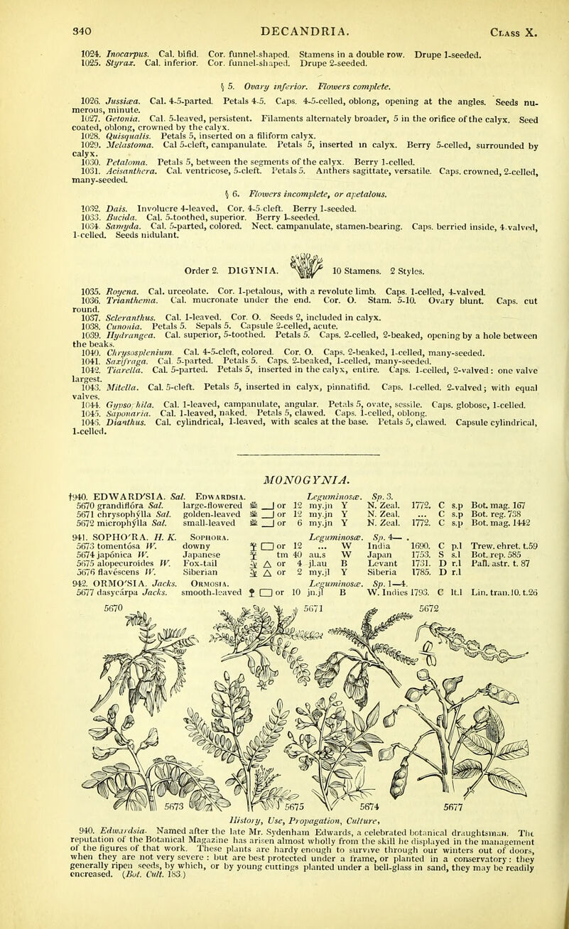 1024. Inocarpus. Cal. bifid. Cor. funnel-shaped. Stamens in a double row. Drupe 1-seeded. 1025. Styrax. Cal. inferior. Cor. funnel-shaped. Drupe 2-seeded. \ 5. Ovary inferior. Flowers complete. 1026. Jussiiea. Cal. 4-5-parted. Petals 4-5. Caps. 4-5-celled, oblong, opening at the angles. Seeds nu- merous, minute. 1027. Gelonia. Cal. 5-leaved, persistent. Filaments alternately broader, 5 in the orifice of the calyx. Seed coated, oblong, crowned by the calyx. 1028. Quisqualis. Petals 5, inserted on a filiform calyx. 1029. Melastoma. Cal 5-cleft, campanulate. Petals 5, inserted in calyx. Berry 5-celled, surrounded by calyx. 1030. Petaloma. Petals 5, between the segments of the calyx. Berry l-celled. 1031. Acisanthera. Cal. ventricose, 5-cleft. Petals 5. Anthers sagittate, versatile. Caps, crowned, 2-celled, many-seeded. § 6. Flowers incomplete, or apetalous. 1032. Dais. Involucre 4-leaved. Cor. 4-5-cleft. Berry 1-seeded. 1033. Bucida. Cal. 5-toothed, superior. Berry 1-seeded. 1034. Samyda. Cal. 5-parted, colored. Nect. campanulate, stamen-bearing. Caps, berried inside, 4-valved, l-celled. Seeds uidulant. Order 2. D1GYNIA. 10 Stamens. 2 Styles. 1035. Royena. Cal. urceolate. Cor. 1-petalous, with a revolute limb. Caps, l-celled, 4-vaIved. 1036. Trianthcma. Cal. mucronate under the end. Cor. O. Stam. 5-10. Ovary blunt. Caps, cut round. 1037. Scleranfhus. Cal. Heaved. Cor. O. Seeds 2, included in calyx. 1038. Cunonia. Petals 5. Sepals 5. Capsule 2-celled, acute. 1039. Hydrangea. Cal. superior, 5-toothed. Petals 5. Caps. 2-celled, 2-beaked, opening by a hole between the beaks. 1049. Chrysosplenium. Cal. 4-5-cleft, colored. Cor. O. Caps. 2-beaked, l-celled, many-seeded. 1041. Saxifraga. Cal. 5-parted. Petals 5. Caps. 2-beaked, l-celled, many-seeded. 1042. Tiarella. Cal 5-parted. Petals 5, inserted in the calyx, entire. Caps, l-celled, 2-valved : one valve largest. 1043. Mitella. Cal. 5-cleft. Petals 5, inserted in calyx, pinnatifid. Caps, l-celled. 2-valved; with equal valves. 1044. Gypso; hila. Cal. 1-leaved, campanulate, angular. Petals 5, ovate, sessile. Caps, globose, l-celled. 1045. Saponaria. Cal. 1-leaved, naked. Petals 5, clawed. Caps, l-celled, oblong. 1045. Dianthus. Cal. cylindrical, 1-leaved, with scales at the base. Petals 5, clawed. Capsule cylindrical, l-celled. MONOGYNIA. t940. EDWARiySIA. Sal. Edwardsia. Leguminosce. Sp.3. 5670 grandifiora Sal. large-flowered $k | or 12 my.jn Y N. Zeal. 5671 chrysophylla Sal. golden-leaved Sis I or 12 my.jn Y N. Zeal. 5672 microphylla Sal. small-leaved & | or 6 my.jn Y N. Zeal. 1772. 1772. 941. SOPHO'RA. //. K. Sophora. 5673 tomentosa IV. downy ^ CD or 12 5674 japonica W. Japanese ^ tm 40 5675 alopecuroides TV. Fox-tail A or 4 5676 flavescens TV. Siberian ^ ^ or 2 942. ORMO'SIA. Jacks. Ormosia. 5677 dasycarpa Jacks. smooth-leaved J CD or 10 jn.jf B Lcguminosa?. Sp. 4— ... W India au,s W jl.au B my.jl Y Leguminosce 1690. 1753. 1731. 1785. Sp. 1—4. W. Indies 1793. Japan Levant Siberia C p.l S s.l D r.l D r.l Bot. mag. 167 Bot. reg. 738 Bot. mag. 1442 Trew. ehret. t.59 Bot. rep. 585 Pall. astr. t. 87 C lt.l Lin. tran. 10. t.26 940. Edwardsia. 5674 History, Use, Propagation, Culture, Named after the late Mr. Sydenham Edwards, a celebrated botanical draughtsman. reputation of the Botanical Magazine has arisen almost wholly from the skill he displayed in the management of the figures of that work. These plants are hardy enough to survive through our winters out of doors, when they arc not very severe : but are best protected under a frame, or planted in a conservatory: they generally ripen seeds, by which, or by young cuttings planted under a bell-glass in sand, they may be readily encreased. {Hot. Cult. 183 ) ' . ' '