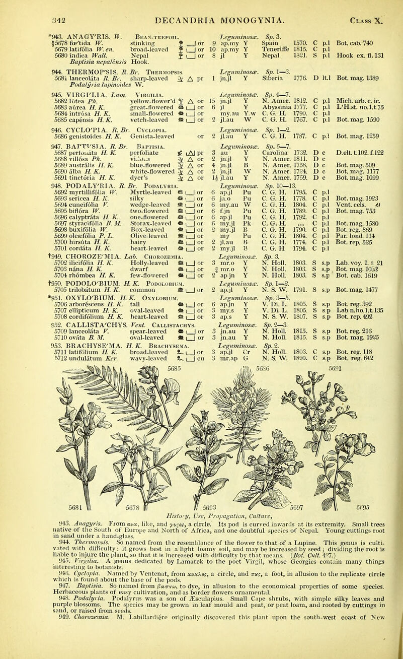 *943. ANAGY'RIS. W. Bean-trefoil. §5678 foe'tida W. stinking J | or 5679 latifolia W. en. liroail-leaved 5 i | or 5680 indiea Wall. Nepal J i | or Bapt'isia nepalensis Hook. 944. THERMOP'SIS. R.Br. Thermopsis. 5681 lanceolata R. Br. sharp-leaved ^[ A pr Podalyi ia lupinoides W. Leguminosce. Sp. 3. 9 ap.rr.y Y Spain 1570. 10 ap.my Y Teneriffe 1815. 8 jl Y Nepal 1821. Leguminosce. Sp. 1—3. 1 jn.jl Y Siberia 1776. 945. VIRGI'LIA. Lam. 5682 lfttea Ph. 5683 aurea H. K. 5684 intrfisa H. K. 5685 capensis H. K. 946. CYCLO'PIA. R. Br 5686 genistoides H. K. VlRGILIA. yellow-flower'd J A or great-flowered SS \ | or small-flowered vetch-leaved St i | or Cyclopia. Genista-leaved 947. BAPTI'SIA. R.Br. Bapiisia. 5687 perlonata H. K. perfoliate 5688 villosa Ph. 5689 australis H. K. 5690 alba H. K. 5691 tinctoria H. K. 948. PODALY'RIA ]£ lAI l>r vi^ji.5 ^ A or blue-flowered ^ A or white-flowered 5( A or dyer's ^ A or R.Br. Podalyria. i.eguminosie. 15 jn.jl Y 6 jl Y my.au Y. w 2 jl.au W Leguminosce. 2 jl.au Y Leguminosce. on V Sp. 4—7. N. Amer. 1812. Abyssinia 1777. C. G. H. 1790. C. G. H. 1767. C p.l Bot. cab. 740 C p.l S p.l Hook ex. fl. 131 D lt.l Bot. mag. 1389 C p.l Mich. arb. c. ic. C p.l L'H.st. no.l.t.75 C p.l C p.l Bot. mag. 1590 *s i I or * ! I or * I | or sa i I or iS I I or * I I or * i I or St I | or 5692 myrtillifolia W. 5693 sericea H. K. 5694 cuneif61ia V. 5695bifl6ra W. 5696 calyptrata H. K. 5697 styracifolia B. M. 5698 buxifolia IV. 5699 oleatfolia P. L. 5700 hirsuta H. K. 5701 cordata H. K. t949. CHOROZE'MIA. 5702 ilicifolia H. K. 5703 nana H. K. 5704 rhombea H. K. t950. POnOLO'BIUM. H.K. Podolobium. 5705 trilobatum K. common * i | or *951. OXYLO'BIUM. H. K. Oxylobium. 5706 arborescens H. K. tall * i | or 5707 ellipticum H. K. oval-leaved * i | or 5708 cordifolium H. K. heart-leaved !S i | or 952. CALLISTA'CHYS. Vent. Callistachys. 5709 lanceolata V. spear-leaved it | | or 5710 ovata B. M. oval-leaved it i | or 953. BRACHYSE'MA. H. K. Brachysejia. 5711 latifolium //. A'. broad-leaved !U \ ] or 5712 undulatum Ker. wavy-leaved fU \ | gu Myrtle-leaved silky wedge-leaved two-flowered one-flowered Storax-leaved Box-leaved Olive-leaved hairy heart-leaved Lab. Chorozemia Holly-leaved S dwarf i few-flowered i 3 __. 2 jn.jl Y 4 jn.jl B 2 jn.jl W Hjl.au Y Leguminosce. 6 ap.jl Pu 6 ja.o Pu 6 my.au W 6 f.jn Pu 6 ap.jl 6 my.jl 2 my.jl my 2 jl.au 2 my.jl Legnminosa;. 3 mr.o Y J mr.o Y 2 ap jn Y Leguminosce. 2 ap.jl Y Leguminosce. 6 apjn Y 3 my.s Y 3 ap.s Y Leguminosce. 3 jn.au Y 3 jn.au Y L.eguminoscE. 3 ap.jl Cr 3 mr.ap G Pu Pk B Pu B B Sp. 1—2. C. G. H. 1787. C pi Bot. mag. 1259 Sp. 5—7. Carolina 1732. D Q D.elt. t.102. f.122 N. Amer. 1811. D c N. Amer. 1758. D c Bot. mag. 509 N. Amer. 1724. D c Bot. mag. 1177 N. Amer. 1759. D c Bot. mag. 1099 Sp. 10—13. C. G. H. 1795. C P-l C. G. H. 1778. C P-l Bot. mag. 1923 C. G. H. 1804. c P-l Vent. eels. <9 C. G. H. 1789. c p.l Bot. mag. 753 C. G. H. 1792. C P-l C. G. H. Q i P-> Rnf marr 1 £ftO riot. mag. lonv C. G. H. 1790. c p.l doe. reg. tsoy C. G. H. 1804. c I' 1 Par. lond. 114 C. G. H. 1774. c 1>1 Bot. rep. 525 C. G. H 1794. c P-l Sp. 3. N. Holl. 1803. s s.p Lab. voy. 1. i. 21 N. Holl. 1803. s s.p Bot. mag. 10^2 N. Holl. 1803. s s.p Bot. cab. 1619 Sp. 1—2. N. S. W. 1791. s s-P Bot. mag. 1477 Sp. 3—5. V. Di. L. 1805. s s.p Bot. reg. 392 V. Di. L. 1805. s sp Labn.ho.].t.L35 N. S. W. 1807. s s-P Bot. rep. 492 Sp. 2—3. N. Holl. 1815. s s-P Bot. reg. 216 N. Holl. 1815. s s.p Bot. mag. 1925 Sp.2. N. Holl. 1803. c s.p Bot. reg. 118 N. S. W. 1820. c s-P Bot. reg. 642 56S3 Histoty, Use, Propagation, Culture, 943. Anagyris. From «»«, like, and yv%os, a circle. Its pod is curved inwards at its extremity. Small trees native of the South of Europe and North of Africa, and one doubtful species of Nepal Young cuttings root in sand under a hand-glass. 944. Thermopsis. So named from the resemblance of the flower to that of a Lupine. This genus is culti- vated with difficulty: it grows best in alight loamy soil, and may be increased by seed ; dividing the root is liable to injure the plant, so that it is increased with difficulty by that means. (Bot. Cult. 427.) 945. Virgilia. A genus dedicated by Lamarck to the poet Virgil, whose Georgics contain many things interesting to botanists. 946. Cyclopia. Named by Ventenat, from xvx\os, a circle, and ia;, a foot, in allusion to the replicate circle which is found about the base of the pods. 9-17. Baptisia. So named from /SotT-ra, to dye, in allusion to the economical properties of some species. Herbaceous plants of easy cultivation, and as border flowers ornamental. 948. Podalyria. Podalyrus was a son of iEsculapius. Small Cape shrubs, with simple silky leaves and purple blossoms. The species may be grown in leaf mould and peat, or peat loam, and rooted by cuttings in sand, or raised from seeds. 949. Chorozemia. M. Labillardiere originally discovered this plant upon the south-west coast of New