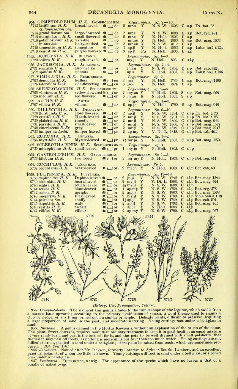 954. GOMPHOLO BIUM. H. K. Gompholobium. broad-leaved 5713 latifolium H. K. G.fimbri&tum Sm. 5714 grandiflorum Sm. large-flowered M 5715 marginatum H. K. small-flowered * 5716 polymorphum H. K. variable M 5717 minus Sm. hairy-stalked tt 5718 tomentosum H. K. tomentose » 5719 venustum H. K. purple-flowered * t955. BURTO'NI A. ILK. Burtonia. 5720 scabra H. K. rough .leaved 956. JACKSONIA. U.K. Jacksonta 5721 scoparia H K. Broom-like 5722 spin6sa H. K. spinous 957. VIMINA'RIA. H. K. Rush-broom. 5723 denudata H. K. leafless SI | | cu 5724 lateriflora Link. side-flowering S i | cu 958. SPH.EROLO'BIUM. H. K. Sph/EROLObium. 5725 vimineum H. K. yellow-flowered* i 1 or 5726 medium H. K. red-flowered at i ] or 959. AO'TUS H. K. Aotus. 5727 vill6sa H. K. villous ffl |_J or 960. DILLWY'NIA. H.K. Dillwynia. 5728 floribumla H. K. close-flowered Leguminosce. Sp. 7—10. l_J de 2 mr.s Y N. S. W. 1803. C sp * 1_J pr • I I pr 5729 ericif61ia H. K. 5730 glaherrima H. K. 5731 parvifolia B. M. 5732 cinerascens R. Br. 5733 juniperina Lodd. 961. EUTA'XIA. H. K. 5734 myrtif61ia H. K. Heath-leaved smooth small-leaved grey juniper-leaved Eutaxia. Myrtle-leaved ■■ i I or l I or I I pr Y Y Y Y Y Pu 1_J pr 1| SCLEROTH A'MNUS. H. K. Sclerothamnus. 5735 microphallus H. K. small-leaved : i_| pr 1 mr.s mr.s mr.au mr.au ap.jl aP j' Leguminosce. my.jl Y Leguminosce. jn.au Y ap.s Y Leguminosce. jn.s Y jn.s Y Leguminosce. my.au Y jn au R Leguminosce. ap.jn Y Leguminosce. ap.jl Y mrjl Y mr.jl Y mr.jl Y mr.jl Y ap.my Y Leguminosce. mr.'jn Y Leguminosce. my.jn Y N. S. W. N. Holl. N. Holl. N. S. W. N. Holl. N. Holl. 1803. 1803. 1803. 1812. 1803. 1803. Sp. 1—3. N. Holl. 1803. Sp. 2—4. N. S. W. 1803. N. Holl. 1803. Sp. 2. N. Holl. 1789. N. Holl. 1824. Sp 2—4. N. Holl. 1802. N. Holl. 1803. Sp. 1—3. N. Holl. 1790. Sp. 6—10. N. S. W. 1794. N. S. W. N. S. W. N. S. W. N. S. W, C s.p C s.p C s.l.p C s.p C s.p C s.p C s.p S s p S s.p Ex. hot. 58 Bot. reg. 484 Bot. mag. 1533 Lab.n.ho.l.t.134 Bot. cab. 427. Lab.n.ho.l.t.136 Bot. mag. 1190 Bot. mag. 969 S s.p Bot. mag. 949 1794. 1800. 1X00. 1819. V. Di. L. 1818. Sp. 1—2. N. Holl. 1803. s.l.p s.l.p s.l.p s.l.p S.l.p s.l.p Ex. bot. t. 26 Ex. bot. t. 25 Bot. mag. 944 Bot. mag. 1527 Bot. mag 2247 Bot. cab. 401 C s.l.p Bot. mag. 1274 Sp. 1. N. Holl. 1803. C s.Lp 963. GASTROLO'BIUM. H.K. Gastrolobium. 5736 bilobum H. K. two-lobed St , | or 2 964. EUCHI'LUS. H. K. Euchilus. 5737 obcordatus H. K. heart-leaved * i ) or 2 t965. PULTENiE'A. H. K. Pi'LTEV^a. 5738 daphnoides H. K. Daphne-leaved 5739 obcordata H. K. 5740 scabra H. K. 5741 retiisa H. K. 5742 stricta B. M. 5743 linophjlla H. K. 5744 paleacea Sm. 5745 stipularis H. K. 5746 vestita H. K. 6747 vill6sa H. K. Leguminosce. Sp. 1—3. mr.my Y N. Holl. 1803. Leguminosce. Sp. 1. mr.jn Y N. Holl. 1803. heart-leaved rough-leaved blunt-leaved upright Flax-leaved chaffy scaly awned villous * i 1 or *» i I or Leguminosce. jn.jl Y Sp. 13—19. my.jl myjl ap.my ap.jn my.jl ap.jl ap.jl ap.jl ap my N. S. W. V. Di. L. N. S. W. N. S. W. N. S. W. N. S W. N. S. W. N. S. W. N. Holl. N. S. W. 1792. 1808. 1803. 1789. 1803. 1789. 1789. 1792. 1803. 1790. C s.l.p Bot. reg. 411 C s.l.p Bot. cab. 60 C s.l.p Bot. mag. 1394 C s.l.p Bot. mag. 574 C s.l.p C s.l.p Bot. reg. 378 C s.l p Bot. mag. 1588 C s.l.p Sch.s.han 3. t.18 C s.l p Bot. cab. 291 C s.l.p Bot. mag. 435 C s.l.p C s.l.p Bot. mag. 967 History, Use, Propagation, Culture. 954. Gompholobium. The name of this genus alludes to the tumid shape of the legume, which swells from a narrow base upwards; according to the primary signification of yofjupcit, a word thence used to signify a club or wedge, or any thing formed upon a similar principle. Delicate plants, difficult to preserve, requiring a large proportion of sand in the peat, and moderate watering. Young cuttings root under a bell-glass in sand. 955. Burtonia. A genus defined in the Hortus Kewensis, without an explanation of the origin of the name. This plant, Sweet observes, requires more than ordinary treatment to keep it in good health ; an equal mixture of very sandy loam and peat is the best soil for it, and the pots to be well drained with small potsherds, that the water may pass off freely, as nothing is more injurious to it than too much water. Young cuttings are not difficult to root, planted in sand under a bell-glass; it may also be raised from seeds, which are sometimes pro- duced. {Bot. Cult. 156.) 956. Jacksonia. Named after Mr. Jackson, formerly librarian to Aylmer Bourke Lambert, and an excellent practical botanist, of whom too little is known. Young cuttings will root in sand under a bell-glass, or ripened ones under a hand-glass. 957. Viminaria. From vimen, a twig. The appearance of the species which have no leaves is that of a bundle of naked twigs.