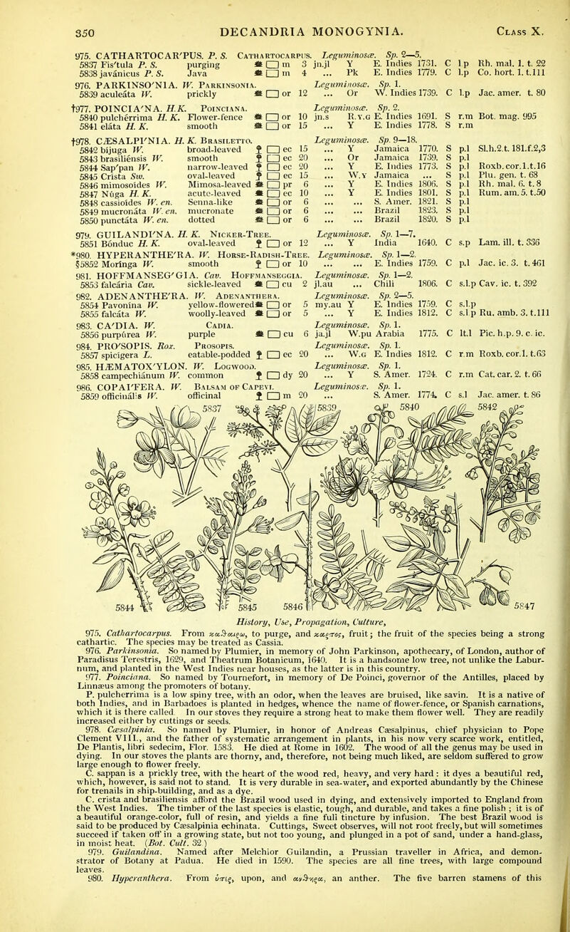 975. CATHARTOCAR'PUS. P. S. Cathartocarpus, 5837 Fis'tula P. S. purging m CD m 3 5838 javanicus P. S. Java *l I m 4 976. PARKINSO'NIA. W. Parkinsonia. 5839 aculeata W. prickly « O or 12 t977. POINCIA'NA. H.K. Poinciana. 5840 pulcherrima H. K. Flower-fence * O or 10 5841 elata H. K. smooth « O or 15 t978. C^ESALPI'NIA. H.K. Brasiletio. Leguminosce. Sp. 2—5. jn.jl Y E. Indies 1731. ... Pk E. Indies 1779. Leguminosce. Sp. 1. ... Or W. Indies 1739. Leguminosce. Sp. 2. jn.s R.v.g E. Indies 1691. ... Y E. Indies 1778. 5842 bijuga IV. broad-leaved t I I ec 15 5843 brasiliensis W. smooth J □ ec 20 5844 Sap'pan IV. narrow-leaved J □ ec 20 5845 Crista Sw. oval-leaved J □ ec 15 5846 mimosoides W. Mimosa-leaved *s O pr 6 5847 Nuga H. K. acute-leaved « □ ec 10 5848 cassioides W. en. Senna-like * CD or 6 5849 mucronata W. en. mucronate * □ or 6 5850 punctata W. en. dotted * □ or 6 979. GUILANDI'NA. H. K. Nicker-Tree. 5851 Bonduc H. K. oval-leaved 1 O or 12 *980. HYPERANTHE'RA. IV. Horse-Radish-Tree. 55852 Moringa W. smooth $ □ or 10 981. HOFFMANSEG'GIA. Caw. Hoffjianseggia, 5853 falcaria Cav. sickle-leaved * CD cu 982. ADENANTHE'RA. W. Ademantheka. 'Leguminosce. ... Y ... Or ... Y ... W.Y ... Y ... Y Leguminosce. Sp. 9—18. Jamaica 1770. Jamaica 1739. E. Indies 1773. Jamaica E. Indies 1806. E. Indies 1801. S. Amer. 1821. Brazil 1823. Brazil 1820. Sp. 1—7. India 1640. Leguminosce. Sp. 1—2. E. Indies 1759. 5854 Pavonina W. 5855 falcata W. 983. CA'DIA. W. 5856 purpurea W. 984. PRO'SOPIS. Ron. 5857 spicigera L. HiEMATOX'YLON. i □ or i a or yellow-flowered J woolly-leaved Cadia. purple * □ cu Prosopis. eatable-podded J CU cc TV. Eogwooo. 20 5858 campechianum W. common J □ dy 20 986. COPAI'FERA. W. Balsam of Capevi. 5859 officinalis W. officinal f I 1 m 20 5837 Leguminosce. jl.au Leguminosce. my.au Y ... Y L^eguminosce. ja.jl W.pu Leguminosce. ... W.G Leguminosce. ... Y Leguminosce. Sp. 1—2. Chili 1806. Sp. 2—5. E. Indies 17>9. E. Indies 1812. Sp.l. Arabia 1775. Sp. 1. E. Indies 1812. Sp. 1. S. Amer. 1724. Sp. 1. S. Amer. 1774. C 1 p Rh. mal. 1.1. 22 C l.p Co. hort. l.t.111 C l.p Jac. amer. t. 80 S r.m Bot. mag. 995 S r.m S p.l Sl.h.2.t. 181.f.2,3 S p.l S p.l Roxb.cor.l.t.16 S p.l Plu. gen. t. 68 S p.l Rh. mal. 6. t. 8 S p.l Rum. am. 5. t.50 S p.l S p.l S p.l C s.p Lam. ill. t. 336 C p.l Jac. ic. 3. t.461 C s.l.p Cav. ic. t. 392 C s.l.p C s.lp Ru. amb. 3. t.lll C lt.l Pic. h.p. 9. c. ic. C r.m Roxb. cor.l. t.fi3 C r.m Cat. car. 2. t. 66 C s.I Jac. amer. t. 86 5842 History, Use, Propagation, Culture, 975. Cathartocarpus. From xccS-xieu, to purge, and zkcvos, fruit; the fruit of the species being a strong cathartic. The species may be treated as Cassia. 976. Parkinsonia. So named by Plumier, in memory of John Parkinson, apothecary, of London, author of Paradisus Terestris, 1629, and Theatrum Botanicum, 1640. It is a handsome low tree, not unlike the Labur- num, and planted in the West Indies near houses, as the latter is in this country. 977. Poinciana. So named by Tournefort, in memory of De Poinci, governor of the Antilles, placed by Linnaeus among the promoters of botany. P. pulcherrima is a low spiny tree, with an odor, when the leaves are bruised, like savin. It is a native of both Indies, and in Barbadoes is planted in hedges, whence the name of flower-fence, or Spanish carnations, which it is there called In our stoves they require a strong heat to make them flower well. They are readily increased either by cuttings or seeds. 978. Caisalpinia. So named by Plumier, in honor of Andreas Caesalpinus, chief physician to Pope Clement VIII., and the father of systematic arrangement in plants, in his now very scarce work, entitled, Dc Plantis, libri sedecim, Flor. 1583. He died at Rome in 1602. The wood of all the genus may be used in dying. In our stoves the plants are thorny, and, therefore, not being much liked, are seldom suffered to grow large enough to flower freely. C. sappan is a prickly tree, with the heart of the wood red, heavy, and very hard : it dyes a beautiful red, which, however, is said not to stand. It is very durable in sea-water, and exported abundantly by the Chinese for trenails in ship-building, and as a dye. C. crista and brasiliensis afford the Brazil wood used in dying, and extensively imported to England from the West Indies. The timber of the last species is elastic, tough, and durable, and takes a fine polish ; it is of a beautiful orange-color, full of resin, and yields a fine full tincture by infusion. The best Brazil wood is said to be produced by Caesalpinia echinata. Cuttings, Sweet observes, will not root freely, but will sometimes succeed if taken oft* in a growing state, but not too young, and plunged in a pot of sand, under a hand-glass, in moist heat. (Bot. Cult. 32 ) 979. Guilandina. Named after Melchior Guilandin, a Prussian traveller in Africa, and demon- strator of Botany at Padua. He died in 1590. The species are all fine trees, with large compound leaves. 980. Hypcranthera. From um%, upon, and atrSr,eu, an anther. The five barren stamens of this