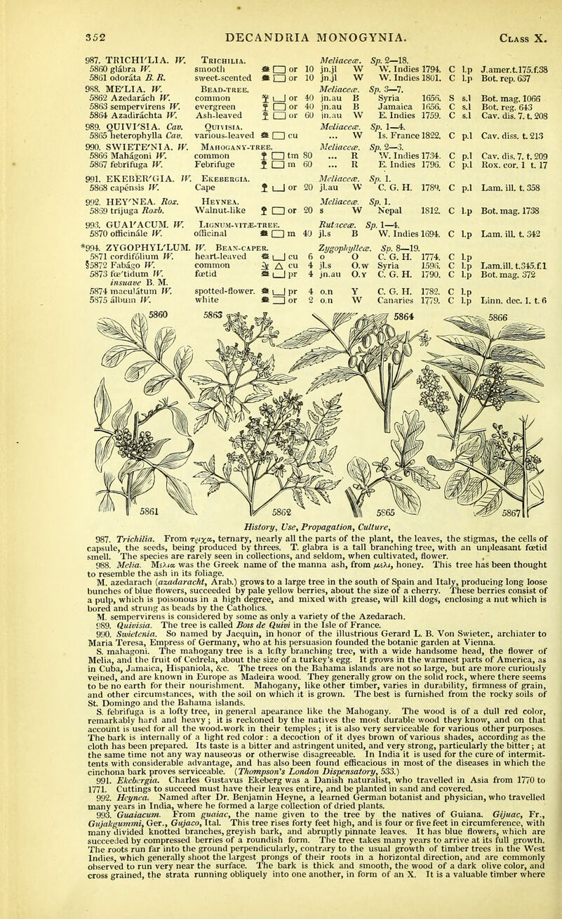 987. TRICHI'LIA. W. 5860 glabra W. 5861 odorata B. R. 988. ME'LIA. W. 5862 Azedarach W. 5863 sempervirens W. 58(54 Azadirachta W. 989. QUIVI'SIA. Cav. 5865 lieterophylla Cav. 990. SWIETE'NIA. W. 5866 Mahagoni 5867 febrifuga W. 991. EKEBER'GIA. W. 5868 capensis W. 992. HEY'NEA. Rox. 5859 trijuga .Rarfi. 993. GUAl'ACUM. W. 5870 officinale ff. *994. ZYGOPHYL'LUM. 5871 cordifolium W. §5872 Fabago W. 5873 fce'tidum W. inmave B. M. 5874 maculatum W. 5S75 album W. Trichilia. smooth sweet-scented Bead-tree. common evergreen Ash-leaved Quivisia. various-leaved Mahoganv-t common Febrifuge ElvEBERGIA. Cape Hevnea. Walnut-like Lignum-vit/e-tree. officinal * □ m IV. Bean-caper. heart-leaved a \ | cu common ^ A cu foetid fis i | pr * □ or *IZ]or f t_Jor 5 dor 1 □ oi- Jfcd cu REE. f Otm 1 Qm Meliacece. 10 jn.jl W 10 jn.jl W Meliacece. 40 jn.au B 40 jn.au B 60 in.au W Meliacece. ... W Meliaccce. 80 ... R 60 ... R Sp. 2—18. W. Indies 1794. W. Indies 1801. Sp. 3—7. Syria 1656. Jamaica 1656. E. Indies 1759. Sp. 1—4. Is. France 1822. Sp. 2—3. W.Indies 17.34. E. Indies 1796. J.amer.t.l75.f.38 Bot. rep. 637 Bot. mag. 1066 Bot. reg. 643 Cav. dis. 7. t. 208 C p.l Cav. diss. t. 213 Meliacere. Sp. 1. } 1_1 or 20 jl.au W C. G. H. 1784. ? CD or 20 Meliacece. s W Sp. 1. Nepal 1812. Rutacece. Sp. 1—4. 40 jl.s B W. Indies 1694. C p.l C l.p C Lp Zygopliyllece. o O jl.s O.w jn.au O.Y Sp. 8—19. C. G. H. 1774. Syria 1596. C. G. H. 1790. Cav. dis. 7. t. 209 Rox. cor. 1 1.17 Lam. ill. t. 358 Bot. mag. 1738 Lam. ilL t. 342 Lam.ill. t.345.f.l Bot. mag. 372 spotted-flower white History, Use, Propagation, Culture, 987. Trichilia. From r^a, ternary, nearly all the parts of the plant, the leaves, the stigmas, the cells of capsule, the seeds, being produced by threes. T. glabra is a tall branching tree, with an unpleasant foetid smell. The species are rarely seen in collections, and seldom, when cultivated, flower. , 988. Me/ia. MiXicc was the Greek name of the manna ash, from imKi, honey. This tree has been thought to resemble the ash in its foliage. M. azedarach (azadaracht, Arab.) grows to a large tree in the south of Spain and Italy, producing long loose bunches of blue flowers, succeeded by pale yellow berries, about the size of a cherry. These berries consist of a pulp, which is poisonous in a high degree, and mixed with grease, will kill dogs, enclosing a nut which is bored and strung as beads by the Catholics. M. sempervirens is considered by some as only a variety of the Azedarach. 989. Quivisia. The tree is called Bois de Quivi in the Isle of France. 990. Swietenia. So named by Jacquin, in honor of the illustrious Gerard L. B. Von Swieter., archiater to Maria Teresa, Empress of Germany, who at his persuasion founded the botanic garden at Vienna. S. mahagoni. The mahogany tree is a lefty branching tree, with a wide handsome head, the flower of Melia, and the fruit of Cedrela, about the size of a turkey's egg. It grows in the warmest parts of America, as in Cuba, Jamaica, Hispaniola, &c. The trees on the Bahama islands are not so large, but are more curiously veined, and are known in Europe as Madeira wood. They generally grow on the solid rock, where there seems to be no earth for their nourishment. Mahogany, like other timber, varies in durability, firmness of grain, and other circumstances, with the soil on which it is grown. The best is furnished from the rocky soils of St. Domingo and the Bahama islands. S. febrifuga is a lofty tree, in general apearance like the Mahogany. The wood is of a dull red color, remarkably hard and heavy ; it is reckoned by the natives the most durable wood they know, and on that account is used for all the wood-work in their temples ; it is also very serviceable for various other purposes. The bark is internally of a light red color : a decoction of it dyes brown of various shades, according as the cloth has been prepared. Its taste is a bitter and astringent united, and very strong, particularly the bitter; at the same time not any way nauseous or otherwise disagreeable. In India it is used for the cure of intermit- tents with considerable advantage, and has also been found efficacious in most of the diseases in which the cinchona bark proves serviceable. {Thompson's London Dispensatory, 533.) 991. Ekebergia. Charles Gustavus Ekeberg was a Danish naturalist, who travelled in Asia from 1770 to 1771. Cuttings to succeed must have their leaves entire, and be planted in sand and covered. 992. Hcynea. Named after Dr. Benjamin Heyne, a learned German botanist and physician, who travelled many years in India, where he formed a large collection of dried plants. 993. Guaiacum. From guaiac, the name given to the tree by the natives of Guiana. Gijuac, Fr., Gujakgummi, Ger., Gujaco, Ital. This tree rises forty feet high, and is four or five feet in circumference, with many divided knotted branches, greyish bark, and abruptly pinnate leaves. It has blue flowers, which are succeeded by compressed berries of a roundish form. The tree takes many years to arrive at its full growth. The roots run far into the ground perpendicularly, contrary to the usual growth of timber trees in the West Indies, which generally shoot the largest prongs of their roots in a horizontal direction, and are commonly observed to run very near the surface. The bark is thick and smooth, the wood of a dark olive color, and cross grained, the strata running obliquely into one another, in form of an X. It is a valuable timber where