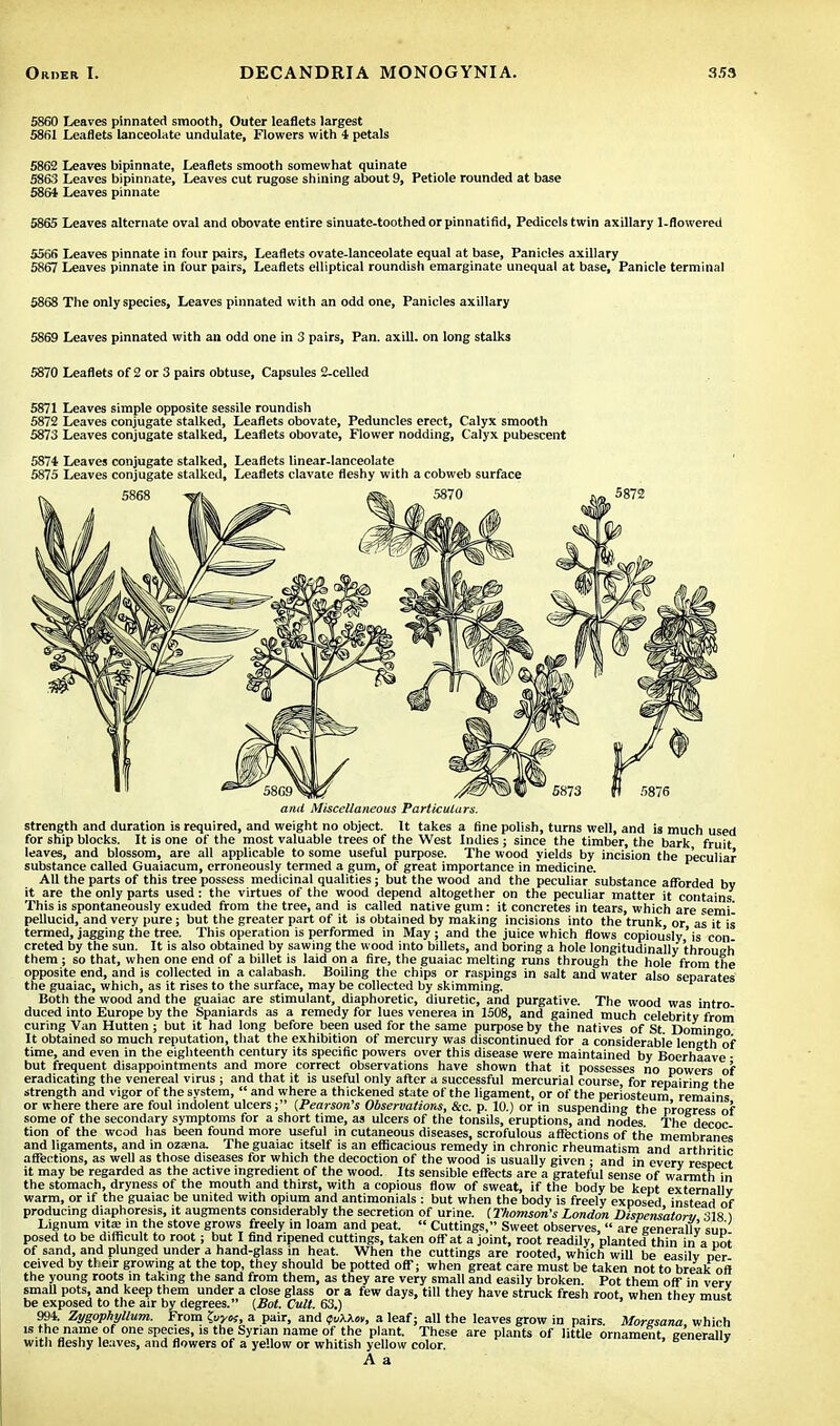 5860 Leaves pinnated smooth, Outer leaflets largest 5861 Leaflets lanceolate undulate, Flowers with 4 petals 5862 Leaves bipinnate, Leaflets smooth somewhat quinate 5863 Leaves bipinnate, Leaves cut rugose shining about 9, Petiole rounded at base 5864 Leaves pinnate 5865 Leaves alternate oval and obovate entire sinuate-toothed or pinnatifid, Pedicels twin axillary 1-flowered 5566 Leaves pinnate in four pairs, Leaflets ovate-lanceolate equal at base, Panicles axillary 5867 Leaves pinnate in four pairs, Leaflets elliptical roundish emarginate unequal at base, Panicle terminal 5868 The only species, Leaves pinnated with an odd one, Panicles axillary 5869 Leaves pinnated with an odd one in 3 pairs, Pan. axill. on long stalks 5870 Leaflets of 2 or 3 pairs obtuse, Capsules 2-celled 5871 Leaves simple opposite sessile roundish 5872 Leaves conjugate stalked, Leaflets obovate, Peduncles erect, Calyx smooth 5873 Leaves conjugate stalked, Leaflets obovate, Flower nodding, Calyx pubescent 5874 Leaves conjugate stalked, Leaflets linear-lanceolate 5875 Leaves conjugate stalked, Leaflets clavate fleshy with a cobweb surface 5868 ^>tk ma. 5870 5872 5873 fff 5876 and Miscellaneous Particulars. strength and duration is required, and weight no object. It takes a fine polish, turns well, and is much used for ship blocks. It is one of the most valuable trees of the West Indies ; since the timber, the bark fruit leaves, and blossom, are all applicable to some useful purpose. The wood yields by incision the peculiar substance called Guaiacum, erroneously termed a gum, of great importance in medicine. All the parts of this tree possess medicinal qualities; but the wood and the peculiar substance afforded bv it are the only parts used: the virtues of the wood depend altogether on the peculiar matter it contains This is spontaneously exuded from the tree, and is called native gum: it concretes in tears, which are semil pellucid, and very pure; but the greater part of it is obtained by making incisions into the trunk, or as it is termed, jagging the tree. This operation is performed in May; and the juice which flows copiously'is con- creted by the sun. It is also obtained by sawing the wood into billets, and boring a hole longitudinally through them; so that, when one end of a billet is laid on a fire, the guaiac melting runs through the hole from the opposite end, and is collected in a calabash. Boiling the chips or raspings in salt and water also separates the guaiac, which, as it rises to the surface, may be collected by skimming. Both the wood and the guaiac are stimulant, diaphoretic, diuretic, and purgative. The wood was intro- duced into Europe by the Spaniards as a remedy for lues venerea in 1508, and gained much celebrity from curing Van Hutten ; but it had long before been used for the same purpose by the natives of St Domingo It obtained so much reputation, that the exhibition of mercury was discontinued for a considerable length of time, and even in the eighteenth century its specific powers over this disease were maintained by Boerhaave • but frequent disappointments and more correct observations have shown that it possesses no powers of eradicating the venereal virus ; and that it is useful only after a successful mercurial course, for repairing the strength and vigor of the system,  and where a thickened state of the ligament, or of the periosteum remains or where there are foul indolent ulcers; {Pearson's Observations, &c. p. 10.) or in suspending the progress of some of the secondary symptoms for a short time, as ulcers of the tonsils, eruptions, and nodes The decoc tion of the wood has been found more useful in cutaneous diseases, scrofulous affections of the membranes and ligaments, and in ozama. The guaiac itself is an efficacious remedy in chronic rheumatism and arthritic affections, as well as those diseases for which the decoction of the wood is usually given ; and in every respect it may be regarded as the active ingredient of the wood. Its sensible effects are a grateful sense of warmth in the stomach, dryness of the mouth and thirst, with a copious flow of sweat, if the body be kept externaliv warm, or if the guaiac be united with opium and antimonials : but when the body is freely exposed instead of v , - —™ '-■''■a*, <.on.cn «n o<. a jui.ii, iuul reauny, piantea tnm in a pot of sand, and plunged under a hand-glass in heat. When the cuttings are rooted, which will be easilv Der ceived by their growing at the top, they should be potted off; when great care must be taken not to break off the young roots in taking the sand from them, as they are very small and easily broken. Pot them off in verv small pots, and keep them under a close glass or a few days, till they have struck fresh root when thev must be exposed to the air by degrees. (Bot. Cult. 63.) 994. Zygophyllum. From tpyos, a pair, and tpuWev, a leaf; all the leaves grow in pairs Moresana which is the name of one species, is the Syrian name of the plant. These are plants of little ornament eenerallv with fleshy leaves, and flowers of a yellow or whitish yellow color. A a