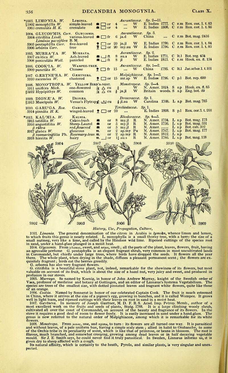 *J003. LIMO'NIA. W. Limonia. §5902 monophylla W. simple-leaved * O or 5903 crenulata H. K. crenulate * O or 1004. GLYCOS'MIS. Coir. Glycosmis. 5904 citrifolia Lindl. ^ various-leaved * □ fr Limonia parviflora B. M. 5905 pentaphylla Con: five-leaved 1 O or 5906 arborea Corr. tree I D or 1005. MURRA'YA 5907 exotica W. 5908 paniculata Wall. W. Murray*. Ash-leaved panicled Wampee-tree. Chinese f I I fr 1006. COOK'IA. JV. 5909 punctata W. 1007 GJERTNE'RA. W. Gertnera. 5910 racem6sa W. clustered f □ or 1008. MONO'TROPA. W. Yellow Bird's-nest. 5911 uniflora Mich. one-flowered ^ A » §5912 Hyp6pithys W. common ^ A « 1009. DIONjE'A. W. §5913 Muscipula W. 1010. GARU'GA. Rox. 5914 pinnata H. K. *1011. KAL'MIA. IV. 5915 latifolia W. 5916 angustifolia IV. B rtibra 5917 glauca W. & rosmarinifolia Ph. 5918 hirsuta W. DION.EA. Venus's Flytrapj£ lAJ cu Garuoa. winged-leaved J CD or Kalmia. Calico-bush « or Sheep-Laurel * or red flowered * or glaucous tL or Rosemary-leav. tt. or hairy tt. | or 5907 Aurantiacece. 4 ... W 4 ... W Aurantiacece. 6 ja.d W 20 jn.jl W 20 my.au W Aurantiacece. 8 au.s W 8 jl W Aurantiacece. 15 ... W Matpighiacece. 15 mr.ap W Monolropece. i W 4 jn.jl W Droseracece. | jl.au W Terebintacece. 20 ... Sp. 2—11. E Indies 1777. E. Indies 1808. Sp. 3. China E. Indies 1790. E Indies 1796. Sp. 2. E. Indies 1771. E.Indies 1823. Sp. 1—2. China 1795. Sp. 1—3. E Indies 1796. Sp. 2—4. N. Amer. 1824. Britain woods. r.m Rox. cor. 1.1.83 r.m Rox. cor. 1.1.86 C r.m Bot. mag. 2416 r.m Rox. cor. 1.1. 84 r.m Rox. cor. 1.1.85 lt.l Bot. reg. 434 r.m Hook. ex. fl. 134 1U Jac.schce.l. t.101 p.l Bot. rep. 600 s.p Hook. ex. fl. 85 s.p Eng. bot. 39 Sp. 1. Carolina Sp. 1. E. Indies 1768. L s.p S p.l Rhodoracece. my.jl R my.jl R my.jl R ap.my Pu ap.my R au.s R Sp. 4—5. N. Amer. 1734. L s.p N. Amer. 1736. L s.p N. Amer. L s.p N. Amer. 1767. L s.p N. Amer. 1812. L s.p N. Amer. 1786. L s.p Bot. mag. 785 Rox. cor. 3. t. 21 Bot. mag. 175 Bot. mag. 331 Bot. cab. 502 Bot. mag. 177 Bot. mag. 138 History, Use, Propagation, Culture, 1003. Limonia. The general denomination of the citron in Arabia is lymdun, whence limon and lemon, to which fruits this genus is nearly related. L. monophylla is a small thorny tree, with a berry the size of a small nutmeg, very like a lime, and called by the Hindoos wild lime. Ripened cuttings of the species root in sand, under a hand-glass plunged in a moist heat. 1004. Glycosmis. From yhvxvt, sweet, and oit/j.vi, smell; all the parts of the plant, leaves, flowers, fruit, having an agreeable perfume. G. pentaphylla is an elegant fragrant shrub, very common in most uncultivated lands in Coromandel, but chiefly under large trees, where birds have dropped the seeds. It flowers all the year there. The whole plant, when drying in the shade, diHUses a pleasant permanent scent; the flowers are ex- quisitely fragrant; birds eat the berries greedily. G. arborea has also very fragrant flowers. G. citrifolia is a beautiful stove plant, not, indeed, remarkable for the shewiness of its flowers, but most valuable on account of its fruit, which is about the size of a hazel nut, very juicy and sweet, and produced in profusion in our stoves. 1005. Murraya. So named by Koenig, in honor of John Andrew Murray, knight of the Swedish order of Vasa, professor of medicine and botany at Gottingen, and an editor of Linnajus's Systema Vegetabilium. The species are trees of the smallest size, with dotted pinnated leaves and tragrant white flowers, quite like those of an orange. 1006. Cookia. Named by Sonnerat in honor of our celebrated Captain Cook. The fruit is much esteemed in China, where it arrives at the size of a pigeon's egg, growing in bunches, and it is called Wampee. It grows well in light loam, and ripened cuttings with their leaves on root in sand in a moist heat. 1007. Gccrtnera. In memory of Joseph Gasrtner, M. D. F. R. S. Acad. Imp. Petrop. Memb., author of a most excellent work on the fruits and seeds of plants, Stutg. 1788. It is a large climbing woody shrub, cultivated all over the coast of Coromandel, on account of the beauty and fragrance of its flowers. In the stove it requires a good deal of room to flower freely. It is easily increased in sand under a hand-glass. The genus is now referred to the natural order of Malpighiacea?, among which it is remarkable for its white flowers. 1008. Monotropa. From /tovct, one, and T§Exau, to turn : its flowers are all turned one way. It is parasitical and without leaves, of a pale uniform hue, having a simple scaly stem ; allied in habit to Orobanche, to some of the Orchis tribe in its peculiarity of scent, which is like that of primrose, or beans in blossom. The root is fibrous, much branched, and somewhat creeping, growing among dead leaves or in half decaying vegetable mould. Sir J. E Smith says, he could never find it truly parasitical. In Sweden, Linnaeus informs us, it is given dry to sheep affected with a cough. Its natural affinity, which is certainly to the heath, Pyrola, and similar plants, is very singular and unex- pected.