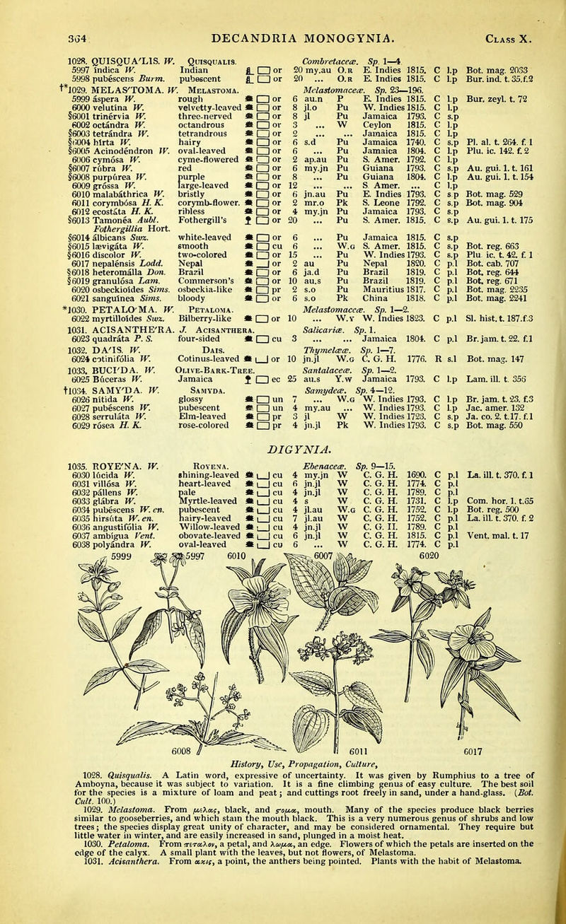 QUISQUA'LIS. W. Quisqualis. 7 indica W. Indian fl_ i pubescens Burm. pubescent J_ MELAS'TOMA. W. Melastoma. fmrple ai ) aspera W. rougli ) velutina W. velvetty-lcaved i I trinervia W. three-nerved ! octandra W. octandrous i tetrandra W. tetrandrous L hlrta IV. hairy > Acinodendron W. oval-leaved ! 5 cymosa W. cyme-flowered 1 rubra W. red i purpdrea W. ) grossa W. ) malabSthrica W. 1 corymb6sa H. K. ! ecostata H. K. ribless * ! Tamonea Aubl. Fothergill's J Fothergillia Hort. 1 albicans Sua. ! laevigata W. i discolor W. ' nepalensis Lodd. 1 heteromalla Don. ) granulosa Lam. ) osbeckioides Sims. I sangulnea Sims. PETALOMA. W. ! myrtilloides Sua. ACISANTHE'RA. J. Acisanthera ! quadrata P. S. four-sided * large-leaved bristly corymb-flower. ribless Fothergill's white-leaved smooth two-colored Nepal Brazil Commerson's osbeckia-like bloody Petaloma. Bilberry-like □ or I I or I I or □ or □ or □ or □ or I lor I lor □ or □ or □ or □ or □ or □ or □ or □ or I I or □ cu □ or _Jor □ or I I or □ pr □ or □ or I I cu Combretacece, Sp. 1—4 20my.au O.R E.Indies 1815. 20 ... O.R E. Indies 1815. Melastomacece. Sp. 23—196. 6 au.n P E. Indies 1815. 8 jl.o Pu 8 jl 6 s.d 6 2 ap.au 6 my.jn jn.au mr.o my.jn Pu W Pu Pu Pu Pu Pu Pu' Pk Pu Pu W. Indies 1815. Jamaica 1793. Ceylon Jamaica Jamaica Jamaica S. Amer. Guiana Guiana S Amer. E. Indies 1793. S. Leone 1792. Jamaica 1793. S. Amer. 1815. 1815. 1815. 1740. 1804. 1792. 1793. 1804. Pu Jamaica 1815. ... W.g S. Amer. 1815. ... Pu W. Indies 1793. au Pu Nepal 1820. ja.d Pu Brazil 1819. au.s Pu Brazil 1819. s.o Pu Mauritius 1817. s.o Pk China 1818. Melastomaccce. Sp. 1—2. ... W.y W. Indies 1823. Salicarice. Sp. 1. Jamaica DA'IS. W. > cotinifolia W. BUCI'DA. W. i Buceras W. SAMY'DA. W. i nitida W. ' pubescens W. I serrulata W. ) rosea H. K. Dais. Cotinus-leaved • i | or Olive-Bark-Tree. Sp. 1—7. C. G. H. Sp. 1—2. Jamaica C l.p Bot. mag. 2033 C l.p Bur.ind. t.35.f.2 C l.p Bur. zeyl. t. 72 C l.p C s.p C l.p C Lp C s.p PI. al. t. 264. f. 1 C Lp Plu. ic. 142. f. 2 C l.n C l.p C s.p C ' c C C c c 1804. 1776. Thymelisce. 10 jn.jl W.g Santalacece. Jamaica J □) ec 25 au.s Y.w Samyda. Samydece. Sp. 4—12. glossy m □ un 7 ... W.g W. Indies 1793. pubescent * □ un 4 my.au ... W. Indies 1793. Elm-leaved »□ pr 3 jl W W. Indies 1723. rose-colored * □ pr 4 jn.jl Pk W. Indies 1793. Au. gui. 1.1.161 Au. gui. 1.1.154 Lp l.p s.p Bot. mag. 529 s.p Bot. mag. 904 an Au. gui. 1.1.175 C s.p C s.p Bot. reg. 663 C s.p Plu. ic. t. 42. f. 1 p.l Bot. cab. 707 p.l Bot. reg. 644 n 1 u,.* va~ p.i isot. reg. o** p.l Bot. reg. 671 n 1 Bot. mag. 2235 C C c C p.l Mi'I. C p.l Bot. mag. 2241 C p.l SI. hist.t. 187X3 C p.l Br. jam. t. 22. f.l R s.1 Bot. mag. 147 1793. C l.p Lam. ill. t. 353 Br. jam. t. 23. f.3 Jac. amer. 132 Ja. co. 2. t.17. f.l s.p Bot. mag. 550 DIGYNIA. 1035. 6030 6031 6032 6033 6034 6035 6036 6037 6038 ROYE'NA. W. Kicida W. villosa W. pallens W. glabra W. pubescens JV. en, hirsuta W.en. angustifolia W. ambigua Vent. polyandra W. 5999 ROVENA. «hining-leaved heart-leaved pale Myrtle-leaved pubescent hairy-leaved Willow-leaved obovate-leaved oval-leaved 6010 Ebenaceie. Sp. 9—15. # l | cu I my.jn w C. G. H. 1690. C p.l Ht i | cu 6 jn.jl w C. G. H. 1774. C p.l * 1 | cu 4 jn.jl s w C. G. H. 1789. C p.l * 1 1 cu 4 w C. G. H. 1731. c l.p Ht i | cu 4 jl.au W.G C. G. H. 1752. c l.p * I I cu 7 jl.au w C. G. H. 1752. c p.l »!_Jcu 4 jn.jl w C. G. II. 1789. c p.l * 1 | cu 6 jn.jl w C. G. H. 1815. c p. * 1 I cu 6 w C. G. H. 1774. c p.l jfc 6007 6020 La. ill. t. 370. f. 1 Com. hor. 1.1.65 Bot. reg. 500 La. ill. t. 370. f. 2 Vent. mal. 1.17 History, Use, Propagation, Culture, 1028. Quisqualis. A Latin word, expressive of uncertainty. It was given by Rumphius to a tree of Amboyna, because it was subject to variation. It is a fine climbing genus of easy culture. The best soil for the species is a mixture of loam and peat; and cuttings root freely in sand, under a hand-glass. (Bot. Cult. 100.) 1029. Melastoma. From f&.Kxs, black, and roust, mouth. Many of the species produce black berries similar to gooseberries, and which stain the mouth black. This is a very numerous genus of shrubs and low trees; the species display great unity of character, and may be considered ornamental. They require but little water in winter, and are easily increased in sand, plunged in a moist heat. 1030. Petaloma. From tiTxXm, a petal, and ?Mft«, an edge. Flowers of which the petals are inserted on the edge of the calyx. A small plant with the leaves, but not flowers, of Melastoma. 1031. Acisanthera. From axis, a point, the anthers being pointed. Plants with the habit of Melastoma.