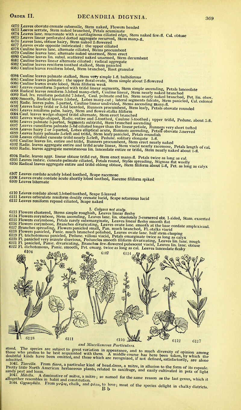 369 6072 Leaves obovate crenate subscssile, Stem naked, Flowers headed 6073 Leaves serrate, Stem naked branched, Petals acuminate 6074 Leaves lane, mucronate with a cartilaginous ciliated edge, Stem naked few-fl. CaL obtuse 6075 Leaves linear perforated dotted aggregate recurved, Stem many.fl 6076 Leaves lane obtuse hairy, Stem naked 2-flowered ' 6077 Leaves ovate opposite imbricated : the upper ciliated 6078 Cauline leaves lane, alternate ciliated, Stems procumbent 6079 Cauline leaves lane, alternate naked unarmed, Stem erect 6080 Cauline leaves lin. subul. scattered naked unarmed, Stem decumbent 6081 Cauhne leaves linear alternate ciliated: radical aggregate 6082 Cauline leaves reniform toothed stalked, Stem panicled 6083 Cauline leaves reniform lobed, Stem branched, Root granular 6084 Cauline leaves palmate stalked, Stem very simple 1-fl. bulbiferous SSS ^au me !caves Palraate : the upper floral ovate, Stem simple about 2-flowered o08S Cauhne leaves ovate lobed, Stem filiform weak 6087 Leaves cuneiform 3-parted with trifid linear segments, Stem simple ascending, Petals lanceolate moo na^'C,al lea™? reniform 5-loljed many-cleft, Cauline linear, Stem nearly naked branched Z ?™„ h$- EPSro™ Pedatifid 7-lobed, Caul, palmate and lin. Stem nearly naked branched, Pet lin obov 6090 Smooth Radical leaves 3-lobed, Lobes many-cut; lateral segments falcate, Stem panic-led, Cacolored 6091 Radio, leaves palm. 5-parted, Cauline linear undivided, Stems ascending many.fl ' finolf!re rr'hd orS-,fid bearded, Runners procumbent, Stem leafy, Petals obovate rounded 6093 Leaves reniform palm, hairy, Stem and flower-stalks filiform 6094 Caul, leaves wedge-shaped trifid alternate, Stem erect branched 6095 Leaves wedge-shaped, Radic. entire and 3-toothed, Cauline 5-toothed; upper trifid, Pedunc about 3-fl 6096 Leaves palmate 3-parted, Segments subtrifid, Stem branched ascending uunc. aDout o-n. 6097 Leaves cuneiform palmate 5-fid ciliated longer than the linear petiole, Runners very short tufted 6098 Leaves hairy 3 or 5-parted Lobes elliptical acute, Runners ascending, Petal? obovate S-ncrved 6099 Leaves hairy palmate 5-cleft and trifid, Stem leafy panicled, Petals roundish £eaves Cl|iated cuneate trifid nearly 5-cleft, Pedunc. solitary elongate 1-fl AS kali- e leaves lin- entire and 'rifid, Runners procumbent, Stem erect nearly naked «in1 ff^0' 6aVeS negate entire and trifid acute linear, Stem viscid nearly racemose, Petals length of caL 6103 Radic. leaves aggregate membranous lin. lanceolate entire or trifid, Stem nearly naked about JUL 6104 Radic. leaves aggr. linear obtuse trifid cut, Stem erect many-fl. Petals twice as long as cal ™. Leaves imbric. cuneate-palmate ciliated, Petals round, Styles spreading, Stigmas flat wool'lv 6100 Radical leaves aggregate entire and trifid oblong obtuse, Stem filiform about 2-H, Pet. as long as calyx 6107 Leaves cordate acutely lobed toothed, Scape racemose £J!S feaves ?yate cordate acute shortly lobed toothed, Raceme filiform spiked 6109 Leaves biternate 6110 Leaves cordate about 3-lobed toothed, Scape 2-leaved Leaves orbiculate reniform doubly crenate lucid, Scape setaceous lucid 6112 Leaves reniform repand ciliated, Scape naked 1. Calyxes not scaly. 6113 Flowers clustered, Stems simple roughish, Leaves linear fleshy 6114 Flowers corymbose, Stem ascending, Leaves lane. lin. obsoletely 3-cnmered obt. 1-sided Stam exsertod 6115 Flowers corymbose, Petals rarely subemarginate, Leaves linear fleshy smooth flat exserted 6116 Flowers corymbose, Branches divaricating, Leaves ovate lane, smooth at the base cordate amnlexiraul fHZ |,ranches spreading, Flowers panicled small, Pan. much branched, FL-stalks viscid ampiexicaul. cHn gofers panicled, Panic, much branched polished, Leaves ovate lane, half stem-clasping S«£ Er tric.hot°mous Panicled, Pedunc. villous viscid, Petals emarginate twice as long as calvx cfS? S' pamC \e, V?,ry '.mnHte dioecious, Peduncles smooth filiform divaricating, Leavls lin. lane roueh k oo l\ Ka11Cled* Pa'& d'.varicating, Branches few-flowered pubescent viscid, Leaves lin. lane obtuse 6122 Fl. dichotomous, Panic, smooth, Pet. emarg. twice as long as cal. Leaves lanceolate fleshv 6104 6112 6117 and Miscellaneous Particulars. Zfe wn^KoTe ntsfacqCaS SgfgL* KSTitt «  pinion among SZSSl* haVe bCe °mied'a«d those whTharl ES^StSSfiH^tt* A^S^t^SSSS^1 S° amed fOTthesa- -ason as the last genus, which it 1044. Gypsopkila. From chalk, «d^to love; most of the species delight in chalky districts.